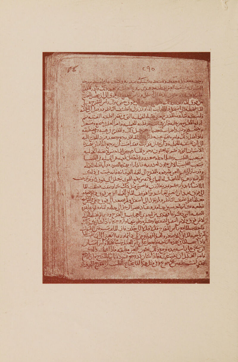 v * jgy #'J^. •^4 &gt;J **££&lt;* U 3 Mr ■ $.«■ .■ &lt;r*|* *