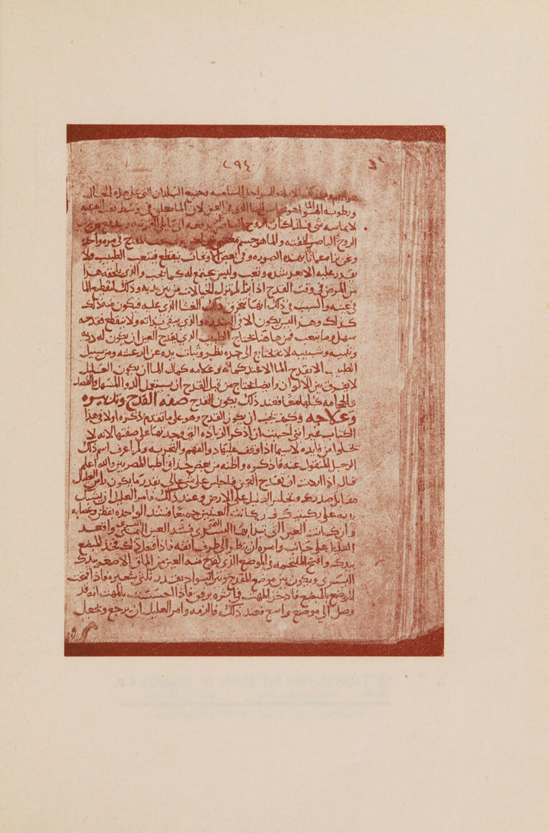 ' f .. . a I Jjw*) t;”lHait».J» ■•;.•*•-. ti x?X&amp; 1 AjbtO f%.| Lsm—4 fckjjtft* '^zbadUs»&gt;bi‘i^S^ ■■&gt; . ; x :• \ ■ ,‘ . *\Jut' ■ M &lt;&amp; . ' * '*' !»S'lfi;. \\^)\ ^4JLf»A&gt;j&lt;&amp;*.; iifi *«W ' vdugj • : ill