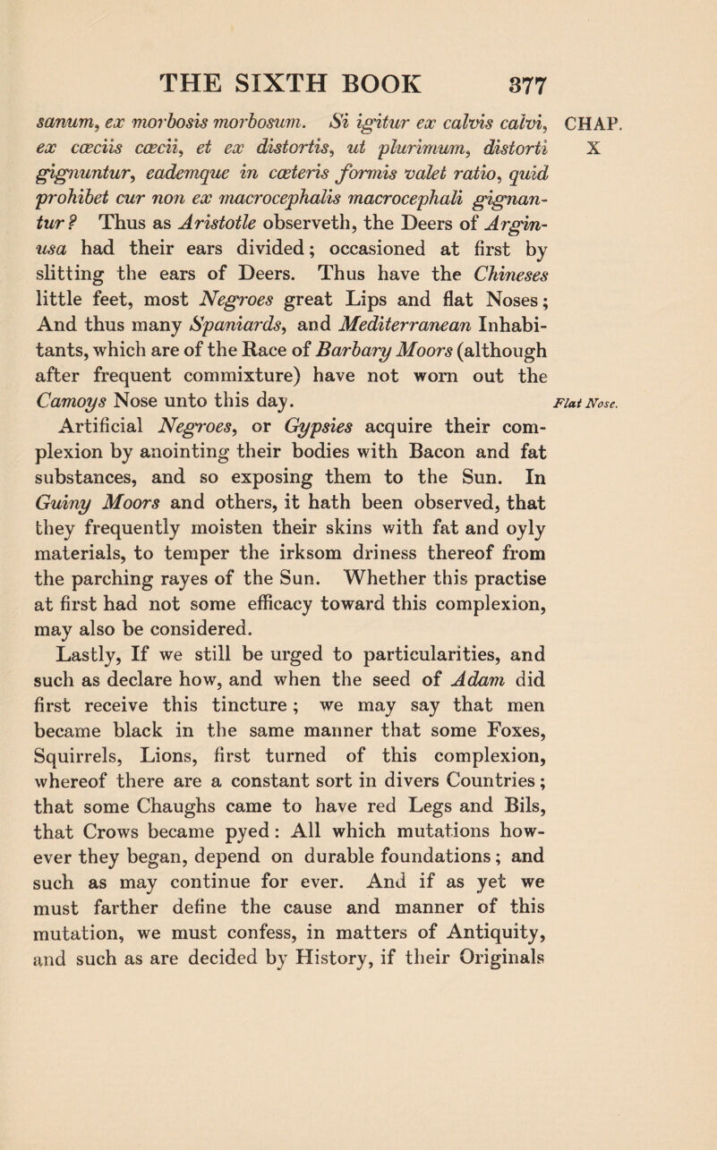 sanum, ex morbosis morbosum. Si igitur ex calvis calvi, ex cceciis ccecii, distortis, ut plurimum, distorti gignuntur, eademque in cceteris formis ’valet ratio, quid prohibet cur non ex macrocephalis macrocephali gignan- tur? Thus as Aristotle observeth, the Deers of Argin- usa had their ears divided; occasioned at first by slitting the ears of Deers. Thus have the Chineses little feet, most Negroes great Lips and flat Noses; And thus many Spaniards, and Mediterranean Inhabi¬ tants, which are of the Race of Barbary Moors (although after frequent commixture) have not worn out the Camoys Nose unto this day. Artificial Negroes, or Gypsies acquire their com¬ plexion by anointing their bodies with Bacon and fat substances, and so exposing them to the Sun. In Guiny Moors and others, it hath been observed, that they frequently moisten their skins with fat and oyly materials, to temper the irksom driness thereof from the parching rayes of the Sun. Whether this practise at first had not some efficacy toward this complexion, may also be considered. Lastly, If we still be urged to particularities, and such as declare how, and when the seed of Adam did first receive this tincture; we may say that men became black in the same manner that some Foxes, Squirrels, Lions, first turned of this complexion, whereof there are a constant sort in divers Countries; that some Chaughs came to have red Legs and Bils, that Crows became pyed: All which mutations how¬ ever they began, depend on durable foundations; and such as may continue for ever. And if as yet we must farther define the cause and manner of this mutation, we must confess, in matters of Antiquity, and such as are decided by History, if their Originals CHAP. X Flat Nose.