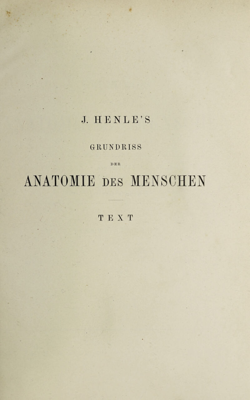 GRUNDRISS DER ANATOMIE des MENSCHEN TEXT