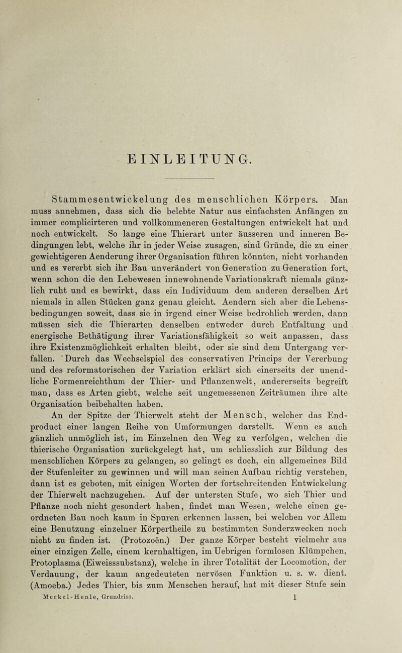 EINLEITUNG. Stammesentwickelung des menschlichen Körpers. Man muss annehmen, dass sich die belebte Natur aus einfachsten Anfängen zu immer complicirteren und vollkommeneren Gestaltungen entwickelt hat und noch entwickelt. So lange eine Thierart unter äusseren und inneren Be¬ dingungen lebt, welche ihr in jeder Weise Zusagen, sind Gründe, die zu einer gewichtigeren Aenderung ihrer Organisation führen könnten, nicht vorhanden und es vererbt sich ihr Bau unverändert von Generation zu Generation fort, wenn schon die den Lebewesen innewohnende Variationskraft niemals gänz¬ lich ruht und es bewirkt, dass ein Individuum dem anderen derselben Art niemals in allen Stücken ganz genau gleicht. Aendern sich aber die Lebens¬ bedingungen soweit, dass sie in irgend einerWeise bedrohlich werden, dann müssen sich die Thierarten denselben entweder durch Entfaltung und energische Bethätigung ihrer Yariationsfähigkeit so weit anpassen, dass ihre Existenzmöglichkeit erhalten bleibt, oder sie sind dem Untergang ver¬ fallen. Durch das Wechselspiel des conservativen Princips der Vererbung und des reformatorischen der Variation erklärt sich einerseits der unend¬ liche Formenreichthum der Thier- und Pflanzenwelt, andererseits begreift man, dass es Arten giebt, welche seit ungemessenen Zeiträumen ihre alte Organisation beibehalten haben. An der Spitze der Thierwelt steht der Mensch, welcher das End- product einer langen Reihe von Umformungen darstellt. Wenn es auch gänzlich unmöglich ist, im Einzelnen den Weg zu verfolgen, welchen die thierische Organisation zurückgelegt hat, um schliesslich zur Bildung des menschlichen Körpers zu gelangen, so gelingt es doch, ein allgemeines Bild der Stufenleiter zu gewinnen und will man seinen Aufbau richtig verstehen, dann ist es geboten, mit einigen Worten der fortschreitenden Entwickelung der Thierwelt nachzugehen. Auf der untersten Stufe, wo sich Thier und Pflanze noch nicht gesondert haben, findet man Wesen, welche einen ge¬ ordneten Bau noch kaum in Spuren erkennen lassen, bei welchen vor Allem eine Benutzung einzelner Körpertheile zu bestimmten Sonderzwecken noch nicht zu finden ist. (Protozoen.) Der ganze Körper besteht vielmehr aus einer einzigen Zelle, einem kernhaltigen, im Uebrigen formlosen Klümpchen, Protoplasma (Eiweisssubstanz), welche in ihrer Totalität der Locomotion, der Verdauung, der kaum angedeuteten nervösen Funktion u. s. w. dient. (Amoeba.) Jedes Thier, bis zum Menschen herauf, hat mit dieser Stufe sein