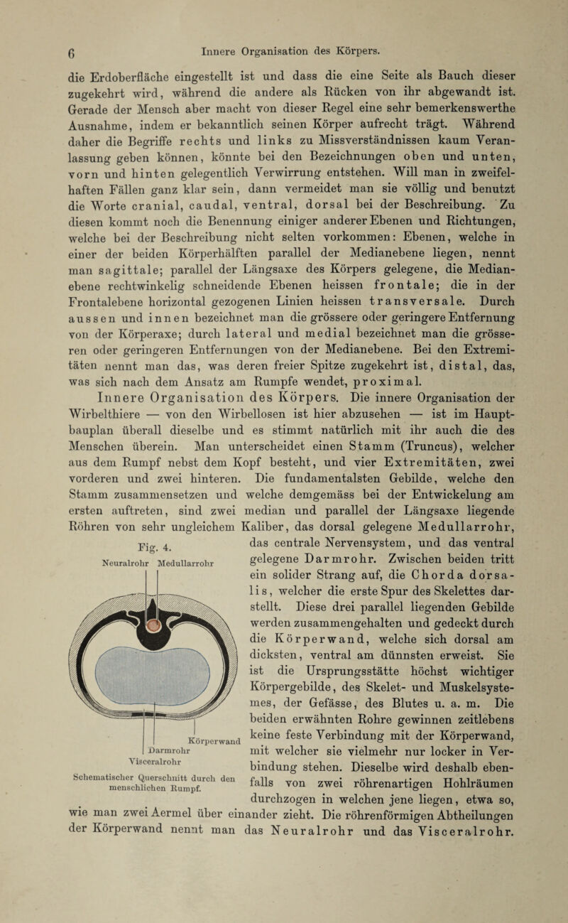 die Erdoberfläche eingestellt ist und dass die eine Seite als Bauch dieser zugekehrt wird, während die andere als Rücken von ihr abgewandt ist. Gerade der Mensch aber macht von dieser Regel eine sehr bemerkenswerthe Ausnahme, indem er bekanntlich seinen Körper aufrecht trägt. Während daher die Begriffe rechts und links zu Missverständnissen kaum Veran¬ lassung geben können, könnte bei den Bezeichnungen oben und unten, vorn und hinten gelegentlich Verwirrung entstehen. Will man in zweifel¬ haften Fällen ganz klar sein, dann vermeidet man sie völlig und benutzt die Worte cranial, caudal, ventral, dorsal bei der Beschreibung. Zu diesen kommt noch die Benennung einiger anderer Ebenen und Richtungen, welche bei der Beschreibung nicht selten Vorkommen: Ebenen, welche in einer der beiden Körperhälften parallel der Medianebene liegen, nennt man sagittale; parallel der Längsaxe des Körpers gelegene, die Median¬ ebene rechtwinkelig schneidende Ebenen heissen frontale; die in der Frontalebene horizontal gezogenen Linien heissen transversale. Durch aussen und innen bezeichnet man die grössere oder geringere Entfernung von der Körperaxe; durch lateral und medial bezeichnet man die grösse¬ ren oder geringeren Entfernungen von der Medianebene. Bei den Extremi¬ täten nennt man das, was deren freier Spitze zugekehrt ist, distal, das, was sich nach dem Ansatz am Rumpfe wendet, proximal. Innere Organisation des Körpers. Die innere Organisation der Wirbelthiere — von den Wirbellosen ist hier abzusehen — ist im Haupt¬ bauplan überall dieselbe und es stimmt natürlich mit ihr auch die des Menschen überein. Man unterscheidet einen Stamm (Truncus), welcher aus dem Rumpf nebst dem Kopf besteht, und vier Extremitäten, zwei vorderen und zwei hinteren. Die fundamentalsten Gebilde, welche den Stamm zusammensetzen und welche demgemäss bei der Entwickelung am ersten auftreten, sind zwei median und parallel der Längsaxe liegende Röhren von sehr ungleichem Kaliber, das dorsal gelegene Medullarrohr, das centrale Nervensystem, und das ventral gelegene Darmrohr. Zwischen beiden tritt ein solider Strang auf, die Chorda dorsa¬ li s, welcher die erste Spur des Skelettes dar¬ stellt. Diese drei parallel liegenden Gebilde werden zusammengehalten und gedeckt durch die Körpe rwand, welche sich dorsal am dicksten, ventral am dünnsten erweist. Sie ist die Ursprungsstätte höchst wichtiger Körpergebilde, des Skelet- und Muskelsyste- mes, der Gefässe, des Blutes u. a. m. Die beiden erwähnten Rohre gewinnen zeitlebens keine feste Verbindung mit der Körperwand, mit welcher sie vielmehr nur locker in Ver¬ bindung stehen. Dieselbe wird deshalb eben¬ falls von zwei röhrenartigen Hohlräumen durchzogen in welchen jene liegen, etwa so, wie man zwei Aermel über einander zieht. Die röhrenförmigen Abtheilungen der Körperwand nennt man das Neuralrohr und das Visceralrohr. Fig. 4. Neuralrohr Medullarrohr Körperwand JD armrohr Visceralrohr Schematischer Querschnitt durch den menschlichen Rumpf.