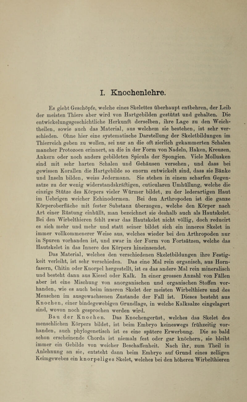 Es giebt Geschöpfe, welche eines Skelettes überhaupt entbehren, der Leib der meisten Thiere aber wird von Hartgebilden gestützt und gehalten. Die entwickelungsgeschichtliche Herkunft derselben, ihre Lage zu den Weich- theilen, sowie auch das Material, aus welchem sie bestehen, ist sehr ver¬ schieden. Ohne hier eine systematische Darstellung der Skeletbildungen im Thierreich geben zu wollen, sei nur an die oft zierlich gekammerten Schalen mancher Protozoen erinnert, an die in der Form von Nadeln, Haken, Kreuzen, Ankern oder noch anders gebildeten Spicula der Spongien. Viele Mollusken sind mit sehr harten Schalen und Gehäusen versehen, und dass bei gewissen Korallen die Hartgebilde so enorm entwickelt sind, dass sie Bänke und Inseln bilden, weiss Jedermann. Sie stehen in einem scharfen Gegen¬ sätze zu der wenig widerstandskräftigen, cuticularen Umhüllung, welche die einzige Stütze des Körpers vieler Würmer bildet, zu der lederartigen Haut im Uebrigen weicher Echinodermen. Bei den Arthropoden ist die ganze Körperoberfläche mit fester Substanz überzogen, welche den Körper nach Art einer Büstung einhüllt, man bezeichnet sie deshalb auch als Hautskelet. Bei den Wirbelthieren fehlt zwar das Hautskelet nicht völlig, doch reducirt es sich mehr und mehr und statt seiner bildet sich ein inneres Skelet in immer vollkommenerer Weise aus, welches wieder bei den Arthropoden nur in Spuren vorhanden ist, und zwar in der Form von Fortsätzen, welche das Hautskelet in das Innere des Körpers hineinsendet. Das Material, welches den verschiedenen Skeletbildungen ihre Festig¬ keit verleiht, ist sehr verschieden. Das eine Mal rein organisch, aus Horn¬ fasern, Chitin oder Knorpel hergestellt, ist es das andere Mal rein mineralisch und besteht dann aus Kiesel oder Kalk. In einer grossen Anzahl von Fällen aber ist eine Mischung von anorganischen und organischen Stoffen vor¬ handen, wie es auch beim inneren Skelet der meisten Wirbelthiere und des Menschen im ausgewachsenen Zustande der Fall ist. Dieses besteht aus Knochen, einer bindegewebigen Grundlage, in welche Kalksalze eingelagert sind, wovon noch gesprochen werden wird. Bau der Knochen. Das Knochengerüst, welches das Skelet des menschlichen Körpers bildet, ist beim Embryo keineswegs frühzeitig vor¬ handen, auch phylogenetisch ist es eine spätere Erwerbung. Die so bald schon erscheinende Chorda ist niemals fest oder gar knöchern, sie bleibt immer ein Gebilde von weicher Beschaffenheit. Nach ihr, zum Theil in Anlehnung an sie, entsteht dann beim Embryo auf Grund eines zelligen Keimgewebes ein kn orpeliges Skelet, welches bei den höheren Wirbelthieren