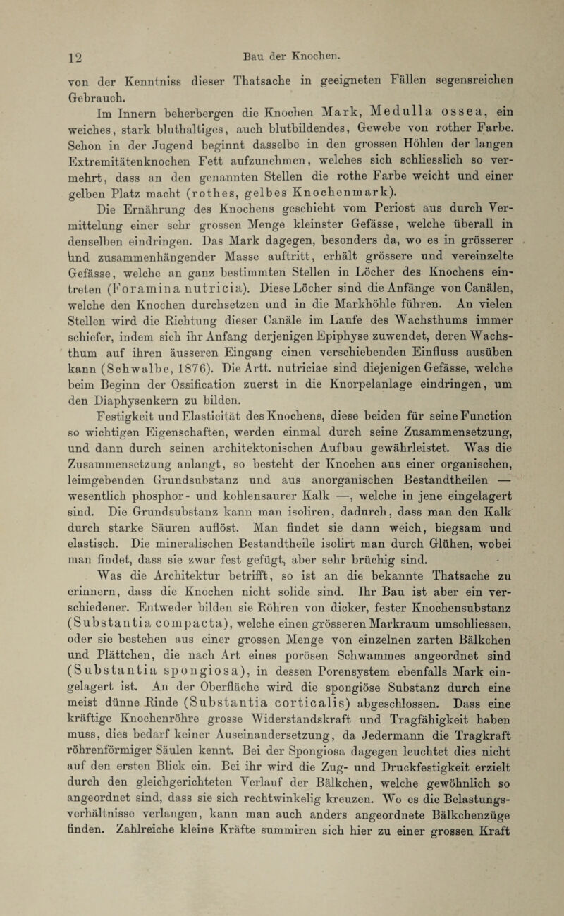 von der Kenntniss dieser Thatsache in geeigneten Fällen segensreichen Gebrauch. Im Innern beherbergen die Knochen Mark, Medulla ossea, ein weiches, stark bluthaltiges, auch blutbildendes, Gewebe von rother Farbe. Schon in der Jugend beginnt dasselbe in den grossen Höhlen der langen Extremitätenknochen Fett aufzunebmen, welches sich schliesslich so ver¬ mehrt, dass an den genannten Stellen die rothe Farbe weicht und einer gelben Platz macht (rothes, gelbes Knochenmark). Die Ernährung des Knochens geschieht vom Periost aus durch Ver¬ mittelung einer sehr grossen Menge kleinster Gefässe, welche überall in denselben eindringen. Das Mark dagegen, besonders da, wo es in grösserer knd zusammenhängender Masse auftritt, erhält grössere und vereinzelte Gefässe, welche an ganz bestimmten Stellen in Löcher des Knochens ein- treten (Foramin a nutricia). Diese Löcher sind die Anfänge von Canälen, welche den Knochen durchsetzen und in die Markhöhle führen. An vielen Stellen wird die Richtung dieser Canäle im Laufe des Wachsthums immer schiefer, indem sich ihr Anfang derjenigen Epiphyse zuwendet, deren Wachs¬ thum auf ihren äusseren Eingang einen verschiebenden Einfluss ausüben kann (Schwalbe, 1876). Die Artt. nutriciae sind diejenigen Gefässe, welche beim Beginn der Ossification zuerst in die Knorpelanlage eindringen, um den Diaphysenkern zu bilden. Festigkeit und Elasticität des Knochens, diese beiden für seine Function so wichtigen Eigenschaften, werden einmal durch seine Zusammensetzung, und dann durch seinen architektonischen Aufbau gewährleistet. Was die Zusammensetzung anlangt, so besteht der Knochen aus einer organischen, leimgebenden Grundsubstanz und aus anorganischen Bestandtheilen — wesentlich phosphor- und kohlensaurer Kalk —, welche in jene eingelagert sind. Die Grundsubstanz kann man isoliren, dadurch, dass man den Kalk durch starke Säuren auflöst. Man findet sie dann weich, biegsam und elastisch. Die mineralischen Bestandtheile isolirt man durch Glühen, wobei man findet, dass sie zwar fest gefügt, aber sehr brüchig sind. Was die Architektur betrifft, so ist an die bekannte Thatsache zu erinnern, dass die Knochen nicht solide sind. Ihr Bau ist aber ein ver¬ schiedener. Entweder bilden sie Röhren von dicker, fester Knochensubstanz (Substantia com pacta), welche einen grösseren Markraum umschliessen, oder sie bestehen aus einer grossen Menge von einzelnen zarten Bälkchen und Plättchen, die nach Art eines porösen Schwammes angeordnet sind (Substantia Spongiosa), in dessen Porensystem ebenfalls Mark ein¬ gelagert ist. An der Oberfläche wird die spongiöse Substanz durch eine meist dünne Rinde (Substantia corticalis) abgeschlossen. Dass eine kräftige Knochenröhre grosse Widerstandskraft und Tragfähigkeit haben muss, dies bedarf keiner Auseinandersetzung, da Jedermann die Tragkraft röhrenförmiger Säulen kennt. Bei der Spongiosa dagegen leuchtet dies nicht auf den ersten Blick ein. Bei ihr wird die Zug- und Druckfestigkeit erzielt durch den gleichgerichteten Verlauf der Bälkchen, welche gewöhnlich so angeordnet sind, dass sie sich rechtwinkelig kreuzen. Wo es die Belastungs¬ verhältnisse verlangen, kann man auch anders angeordnete Bälkchenzüge finden. Zahlreiche kleine Kräfte summiren sich hier zu einer grossen Kraft
