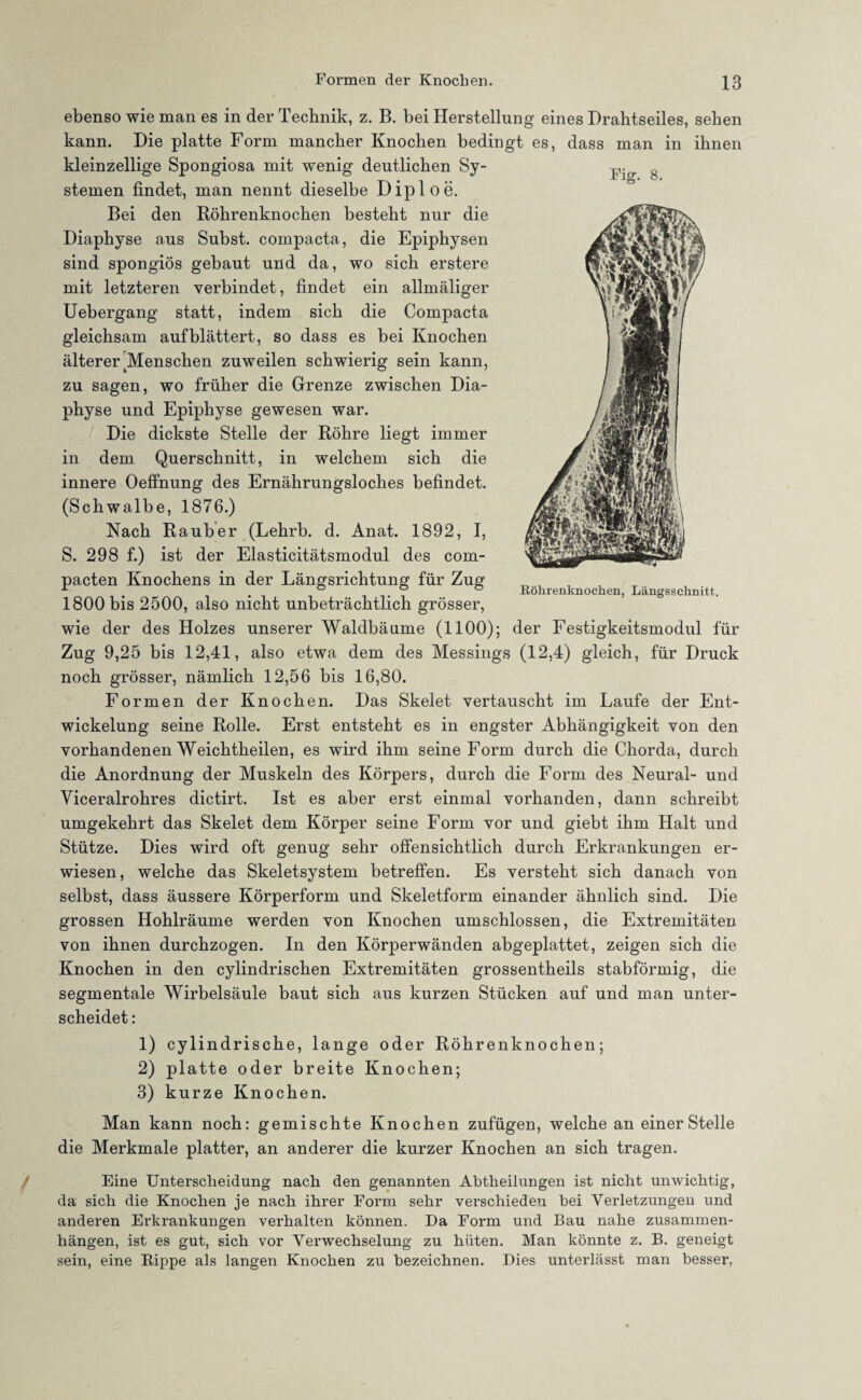 Fig. 8. ebenso wie man es in der Technik, z. B. bei Herstellung eines Drahtseiles, sehen kann. Die platte Form mancher Knochen bedingt es, dass man in ihnen kleinzellige Spongiosa mit wenig deutlichen Sy¬ stemen findet, man nennt dieselbe Diploe. Bei den Röhrenknochen besteht nur die Diaphyse aus Subst. compacta, die Epiphysen sind spongiös gebaut und da, wo sich erstere mit letzteren verbindet, findet ein allmäliger Uebergang statt, indem sich die Compacta gleichsam auf blättert, so dass es bei Knochen älterer Menschen zuweilen schwierig sein kann, zu sagen, wo früher die Grenze zwischen Dia¬ physe und Epiphyse gewesen war. Die dickste Stelle der Röhre liegt immer in dem Querschnitt, in welchem sich die innere Oeffnung des Ernährungsloches befindet. (Schwalbe, 1876.) Nach Räuber (Lehrb. d. Anat. 1892, I, S. 298 f.) ist der Elasticitätsmodul des com¬ pacten Knochens in der Längsrichtung für Zug 1800 bis 2500, also nicht unbeträchtlich grösser, wie der des Holzes unserer Waldbäume (1100); der Festigkeitsmodul für Zug 9,25 bis 12,41, also etwa dem des Messings (12,4) gleich, für Druck noch grösser, nämlich 12,56 bis 16,80. Formen der Knochen. Das Skelet vertauscht im Laufe der Ent¬ wickelung seine Rolle. Erst entsteht es in engster Abhängigkeit von den vorhandenen Weichtheilen, es wird ihm seine Form durch die Chorda, durch die Anordnung der Muskeln des Körpers, durch die Form des Neural- und Viceralrohres dictirt. Ist es aber erst einmal vorhanden, dann schreibt umgekehrt das Skelet dem Körper seine Form vor und giebt ihm Halt und Stütze. Dies wird oft genug sehr offensichtlich durch Erkrankungen er¬ wiesen, welche das Skeletsystem betreffen. Es versteht sich danach von selbst, dass äussere Körperform und Skeletform einander ähnlich sind. Die grossen Hohlräume werden von Knochen umschlossen, die Extremitäten von ihnen durchzogen. In den Körperwänden abgeplattet, zeigen sich die Knochen in den cylindrischen Extremitäten grossentheils stabförmig, die segmentale Wirbelsäule baut sich aus kurzen Stücken auf und man unter¬ scheidet : Röhrenknochen, Längsschnitt. 1) cylindrische, lange oder Röhrenknochen; 2) platte oder breite Knochen; 3) kurze Knochen. Man kann noch: gemischte Knochen zufügen, welche an einer Stelle die Merkmale platter, an anderer die kurzer Knochen an sich tragen. Eine Unterscheidung nach den genannten Abtheilungen ist nicht unwichtig, da sich die Knochen je nach ihrer Form sehr verschieden bei Verletzungen und anderen Erkrankungen verhalten können. Da Form und Bau nahe Zusammen¬ hängen, ist es gut, sich vor Verwechselung zu hüten. Man könnte z. B. geneigt sein, eine Bippe als langen Knochen zu bezeichnen. Dies unterlässt man besser,