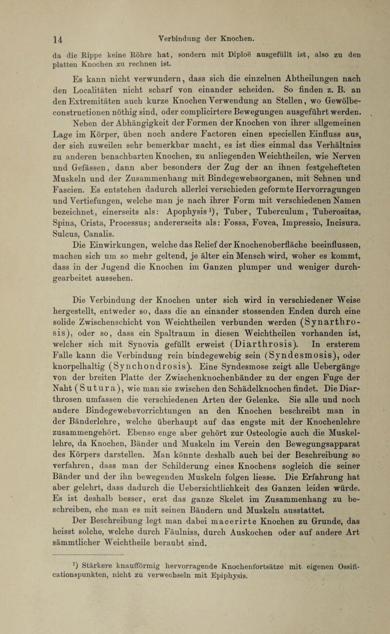 u Verbindung der Knochen. da die Rippe keine Röhre hat, sondern mit Diploe ausgefüllt ist, also zu den platten Knochen zu rechnen ist. Es kann nicht verwundern, dass sich die einzelnen Abtheilungen nach den Localitäten nicht scharf von einander scheiden. So finden z. B. an den Extremitäten auch kurze Knochen Verwendung an Stellen, wo Gewölbe- constructionen nöthig sind, oder complicirtere Bewegungen ausgeführt werden. Neben der Abhängigkeit der Formen der Knochen von ihrer allgemeinen Lage im Körper, üben noch andere Factoren einen speciellen Einfluss aus, der sich zuweilen sehr bemerkbar macht, es ist dies einmal das Verhältniss zu anderen benachbarten Knochen, zu anliegenden Weichtheilen, wie Nerven und Gefässen, dann aber besonders der Zug der an ihnen festgehefteten Muskeln und der Zusammenhang mit Bindegewebsorganen, mit Sehnen und Fascien. Es entstehen dadurch allerlei verschieden geformte Hervorragungen und Vertiefungen, welche man je nach ihrer Form mit verschiedenen Namen bezeichnet, einerseits als: Apophysis1), Tuber, Tuberculum, Tuberositas, Spina, Crista, Processus; andererseits als: Fossa, Fovea, Impressio, Incisura. Sulcus, Canalis. Die Einwirkungen, welche das Relief der Knochenoberfläche beeinflussen, machen sich um so mehr geltend, je älter ein Mensch wird, woher es kommt, dass in der Jugend die Knochen im Ganzen plumper und weniger durch¬ gearbeitet aussehen. Die Verbindung der Knochen unter sich wird in verschiedener Weise hergestellt, entweder so, dass die an einander stossenden Enden durch eine solide Zwischenschicht von Weichtheilen verbunden werden (Synarthro- sis), oder so, dass ein Spaltraum in diesen Weichtheilen vorhanden ist, welcher sich mit Synovia gefüllt erweist (Diarthrosis). In ersterem Falle kann die Verbindung rein bindegewebig sein (Syndesmosis), oder knorpelhaltig (Syncliondrosis). Eine Syndesmose zeigt alle Uebergänge von der breiten Platte der Zwischenknochenbänder zu der engen Fuge der Naht (Sutura), wie man sie zwischen den Schädelknochen findet. Die Diar- throsen umfassen die verschiedenen Arten der Gelenke. Sie alle und noch andere Bindegewebsvorrichtungen an den Knochen beschreibt man in der Bänderlehre, welche überhaupt auf das engste mit der Knochenlehre zusammengehört. Ebenso enge aber gehört zur Osteologie auch die Muskel¬ lehre, da Knochen, Bänder und Muskeln im Verein den Bewegungsapparat des Körpers darstellen. Man könnte deshalb auch bei der Beschreibung so verfahren, dass man der Schilderung eines Knochens sogleich die seiner Bänder und der ihn bewegenden Muskeln folgen liesse. Die Erfahrung hat aber gelehrt, dass dadurch die Uebersichtlichkeit des Ganzen leiden würde. Es ist deshalb besser, erst das ganze Skelet im Zusammenhang zu be¬ schreiben, ehe man es mit seinen Bändern und Muskeln ausstattet. Der Beschreibung legt man dabei macerirte Knochen zu Grunde, das heisst solche, welche durch Fäulniss, durch Auskochen oder auf andere Art sämmtlicher Weichtlieile beraubt sind. ') Stärkere knaufförmig hervorragende Knochenfortsätze mit eigenen Ossifi- cationspunkten, nicht zu verwechseln mit Epiphysis.