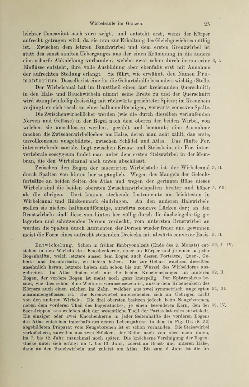 leichter Concavität nach vorn zeigt, und entsteht erst, wenn der Körper aufrecht getragen wird, da sie nun zur Erhaltung des Gleichgewichtes nöthig ist. Zwischen dem letzten Bauchwirbel und dem ersten Kreuzwirbel ist statt des sonst sanften Ueberganges aus der einen Krümmung in die andere eine scharfe Abknickung vorhanden, welche zwar schon durch intrauterine 3, I. Einflüsse entsteht, ihre volle Ausbildung aber ebenfalls erst mit Annahme der aufrechten Stellung erlangt. Sie führt, wie erwähnt, den Namen Pro¬ montorium. Dasselbe ist eine für die Geburtshülfe besonders wichtige Stelle. Der Wirbelcanal hat im Brusttheil einen fast kreisrunden Querschnitt; in den Hals- und Bauchwirbeln nimmt seine Breite zu und der Querschnitt wird stumpfwinkelig dreiseitig mit rückwärts gerichteter Spitze; im Kreuzbein verjüngt er sich rasch zu einer halbmondförmigen, vorwärts concaven Spalte. Die Zwischenwirbellöcher werden (wie die durch dieselben verlaufenden Nerven und Gefässe) in der Regel nach dem oberen der beiden Wirbel, von welchen sie umschlossen werden, gezählt und benannt; eine Ausnahme machen die Zwischenwirbellöcher am Halse, deren man acht zählt, das erste, unvollkommen ausgebildete, zwischen Schädel und Atlas. Das fünfte For. intervertebrale sacrale, liegt zwischen Kreuz- und Steissbein, ein For. inter¬ vertebrale coccygeum findet man unter dem ersten Steisswirbel in der Mem¬ bran, die den Wirbelcanal nach unten abschliesst. Zwischen den Bogen der macerirten Wirbelsäule ist der Wirbelcanal 3, II. durch Spalten von hinten her zugänglich. Wegen des Mangels der Gelenk¬ fortsätze an beiden Seiten des Atlas und wegen der geringen Höhe dieses Wirbels sind die beiden obersten Zwischenwirbelspalten breiter und höher 5, VII. als die übrigen. Dort können stechende Instrumente am leichtesten in Wirbelcanal und Rückenmark eindringen. An den anderen Halswirbeln stellen sie niedere halbmondförmige, aufwärts concave Lücken dar; an den Brustwirbeln sind diese von hinten her völlig durch die dachziegelartig ge¬ lagerten und schützenden Dornen verdeckt; vom untersten Brustwirbel an werden die Spalten durch Aufrichten der Dornen wieder freier und gewinnen meist die Form eines aufrecht stehenden Dreiecks mit abwärts convexer Basis. 5, II. Entwickelung. Schon in früher Embryonalzeit (Ende des 2. Monats) ent- 52, I—IV. stehen in den Wirbeln drei Knochenkerne, einer im Körper und je einer in jeder Bogenhälfte, welch letztere ausser dem Bogen auch dessen Fortsätze, Quer-, Ge¬ lenk- und Dornfortsatz, zu liefern haben. Bis zur Gehurt wachsen dieselben ansehnlich heran, letztere haben sich schon bis zur Wurzel des Wirbeldorns aus¬ gebreitet. Im Atlas linden sich nur die beiden Knochenspangen im hinteren 52, II. Bogen, der vordere Bogen ist meist noch ganz knorpelig. Der Epistropheus be¬ sitzt, wie dies schon ohne Weiteres vorauszusetzen ist, ausser dem Knochenkern des Körpers auch einen solchen im Zahn, welcher aus zwei symmetrisch angelegten 52, III. zusammengeflossen ist. Die Kreuzwirbel unterscheiden sich im Uebrigen nicht von den anderen Wirbeln. Die drei obersten besitzen jedoch beim Neugeborenen, neben dem vorderen Theil des Bogenstückes, je einen besonderen Kern, den der 52, IV. Sacralrippen, aus welchen sich der wesentliche Theil der Partes laterales entwickelt. Ein einziger oder zwei Knochenkerne in jeder Seitenhälfte des vorderen Bogens des Atlas entstehen innerhalb des ersten Lebensjahres; in dem in Fig. Ha (S. 52) abgebildeten Präparat vom Neugeborenen ist er schon vorhanden. Die Steisswirbel verknöchern, zuweilen aus zwei Stücken, der Reihe nach von oben nach unten, im 7. bis 12. Jahr, manchmal noch später. Die knöcherne Vereinigung der Bogen¬ stücke unter sich erfolgt im 1. bis 13. Jahr, zuerst an Brust- und unteren Hals-, dann an den Bauch wirbeln und zuletzt am Atlas. Bis zum 6. Jahr ist die im