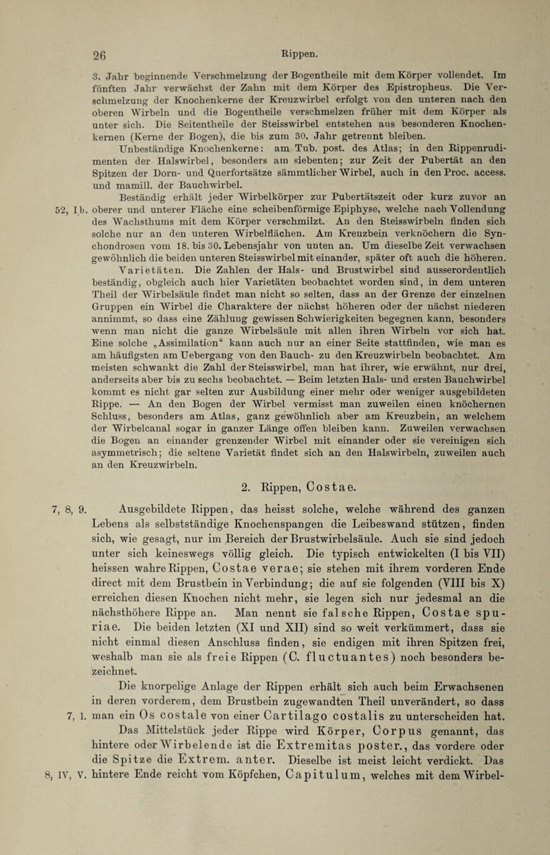 3. Jahr beginnende Verschmelzung der Bogentheile mit dem Körper vollendet. Im fünften Jahr verwächst der Zahn mit dem Körper des Epistropheus. Die Ver¬ schmelzung der Knochenkerne der Kreuzwirbel erfolgt von den unteren nach den oberen Wirbeln und die Bogentheile verschmelzen früher mit dem Körper als unter sich. Die Seitentheile der Steisswirbel entstehen aus besonderen Knochen¬ kernen (Kerne der Bogen), die bis zum 30. Jahr getrennt bleiben. Unbeständige Knochenkerne: am Tub. post, des Atlas; in den Rippenrudi¬ menten der Halswirbel, besonders am siebenten; zur Zeit der Pubertät an den Spitzen der Dorn- und Querfortsätze sämmtlicher Wirbel, auch in den Proc. access. und mamill. der Bauchwirbel. Beständig erhält jeder Wirbelkörper zur Pubertätszeit oder kurz zuvor an 52, Ib. oberer und unterer Fläche eine scheibenförmige Epiphyse, welche nach Vollendung des Wachsthums mit dem Körper verschmilzt. Au den Steisswirbeln finden sich solche nur an den unteren Wirbelflächen. Am Kreuzbein verknöchern die Syn- chondrosen vom 18. bis 30. Lebensjahr von unten an. Um dieselbe Zeit verwachsen gewöhnlich die beiden unteren Steisswirbel mit einander, später oft auch die höheren. Varietäten. Die Zahlen der Hals- und Brustwirbel sind ausserordentlich beständig, obgleich auch hier Varietäten beobachtet worden sind, in dem unteren Theil der Wirbelsäule findet man nicht so selten, dass an der Grenze der einzelnen Gruppen ein Wirbel die Charaktere der nächst höheren oder der nächst niederen annimmt, so dass eine Zählung gewissen Schwierigkeiten begegnen kann, besonders wenn man nicht die ganze Wirbelsäule mit allen ihren Wirbeln vor sich hat. Eine solche „Assimilation“ kann auch nur an einer Seite stattfinden, wie man es am häufigsten amUebergang von den Bauch- zu den Kreuzwirbeln beobachtet. Am meisten schwankt die Zahl der Steisswirbel, man hat ihrer, wie erwähnt, nur drei, anderseits aber bis zu sechs beobachtet. — Beim letzten Hals- und ersten Bauchwirbel kommt es nicht gar selten zur Ausbildung einer mehr oder weniger ausgebildeten Rippe. — An den Bogen der Wirbel vermisst man zuweilen einen knöchernen Schluss, besonders am Atlas, ganz gewöhnlich aber am Kreuzbein, an welchem der Wirbelcanal sogar in ganzer Länge offen bleiben kann. Zuweilen verwachsen die Bogen an einander grenzender Wirbel mit einander oder sie vereinigen sich asymmetrisch; die seltene Varietät findet sich an den Halswirbeln, zuweilen auch an den Kreuzwirbeln. 2. Rippen, C o s t a e. 7, 8, 9. Ausgebildete Rippen, das heisst solche, welche während des ganzen Lebens als selbstständige Knochenspangen die Leibeswand stützen, finden sich, wie gesagt, nur im Bereich der Brustwirbelsäule. Auch sie sind jedoch unter sich keineswegs völlig gleich. Die typisch entwickelten (I bis YII) heissen wahre Rippen, Costae verae; sie stehen mit ihrem vorderen Ende direct mit dem Brustbein in Verbindung; die auf sie folgenden (VIII bis X) erreichen diesen Knochen nicht mehr, sie legen sich nur jedesmal an die nächsthöhere Rippe an. Man nennt sie falsche Rippen, Costae spu- riae. Die beiden letzten (XI und XII) sind so weit verkümmert, dass sie nicht einmal diesen Anschluss finden, sie endigen mit ihren Spitzen frei, weshalb man sie als freie Rippen (C. fluctuantes) noch besonders be¬ zeichnet. Die knorpelige Anlage der Rippen erhält sich auch beim Erwachsenen in deren vorderem, dem Brustbein zugewandten Theil unverändert, so dass 7, 1. man ein Os costale von einer Cartilago costalis zu unterscheiden hat. Das Mittelstück jeder Rippe wird Körper, Corpus genannt, das hintere oder Wirbelende ist die Extremitas poster., das vordere oder die Spitze die Extrem, anter. Dieselbe ist meist leicht verdickt. Das 8, IV, V. hintere Ende reicht vom Köpfchen, Capitulum, welches mit dem Wirbel-
