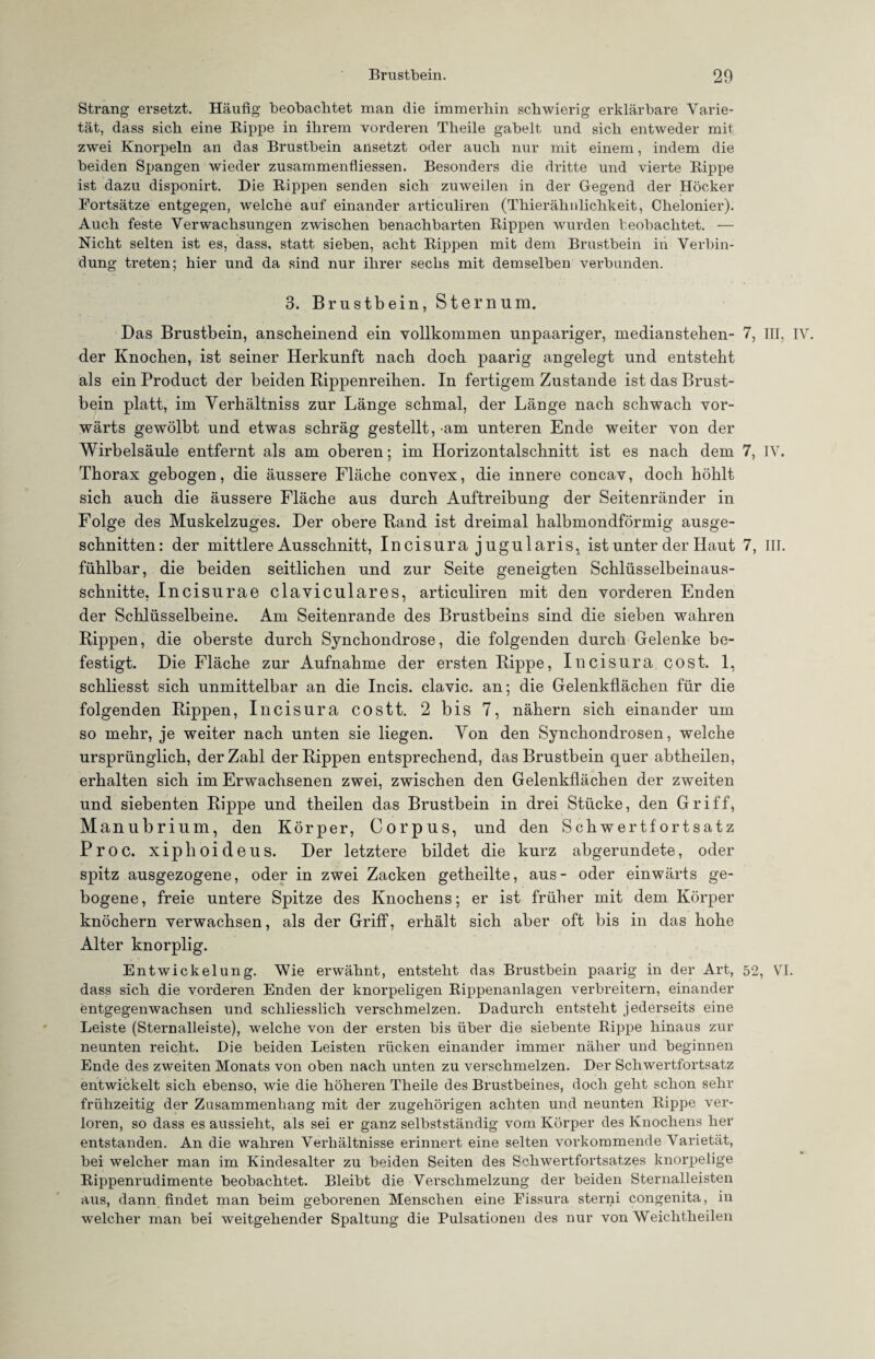 Strang ersetzt. Häufig beobachtet man die immerhin schwierig erklärbare Varie¬ tät, dass sich eine Rippe in ihrem vorderen Theile gabelt und sich entweder mit zwei Knorpeln an das Brustbein ansetzt oder auch nur mit einem, indem die beiden Spangen wieder zusammenfliessen. Besonders die dritte und vierte Rippe ist dazu disponirt. Die Rippen senden sich zuweilen in der Gegend der Höcker Fortsätze entgegen, welche auf einander articuliren (Thierähnlichkeit, Chelonier). Auch feste Verwachsungen zwischen benachbarten Rippen wurden beobachtet. — Nicht selten ist es, dass, statt sieben, acht Rippen mit dem Brustbein in Verbin¬ dung treten; hier und da sind nur ihrer sechs mit demselben verbanden. 3. Brustbein, Sternum. Das Brustbein, anscheinend ein vollkommen unpaariger, medianstehen- 7, III, IV. der Knochen, ist seiner Herkunft nach doch paarig angelegt und entsteht als ein Product der beiden Rippenreihen. In fertigem Zustande ist das Brust¬ bein platt, im Yerhältniss zur Länge schmal, der Länge nach schwach vor¬ wärts gewölbt und etwas schräg gestellt, -am unteren Ende weiter von der Wirbelsäule entfernt als am oberen; im Horizontalschnitt ist es nach dem 7, IV. Thorax gebogen, die äussere Fläche convex, die innere concav, doch höhlt sich auch die äussere Fläche aus durch Auftreibung der Seitenränder in Folge des Muskelzuges. Der obere Rand ist dreimal halbmondförmig ausge¬ schnitten: der mittlere Ausschnitt, Incisura jugularis, ist unter der Haut 7, III. fühlbar, die beiden seitlichen und zur Seite geneigten Schlüsselbeinaus¬ schnitte, Incisurae claviculares, articuliren mit den vorderen Enden der Schlüsselbeine. Am Seitenrande des Brustbeins sind die sieben wahren Rippen, die oberste durch Synchondrose, die folgenden durch Gelenke be¬ festigt. Die Fläche zur Aufnahme der ersten Rippe, Incisura cost. 1, schliesst sich unmittelbar an die Incis. clavic. an; die Gelenkflächen für die folgenden Rippen, Incisura costt. 2 bis 7, nähern sich einander um so mehr, je weiter nach unten sie liegen. Von den Synchondrosen, welche ursprünglich, der Zahl der Rippen entsprechend, das Brustbein quer abtheilen, erhalten sich im Erwachsenen zwei, zwischen den Gelenkflächen der zweiten und siebenten Rippe und theilen das Brustbein in drei Stücke, den Griff, Manubrium, den Körper, Corpus, und den Schwertfortsatz Proc. xiphoideus. Der letztere bildet die kurz abgerundete, oder spitz ausgezogene, oder in zwei Zacken getheilte, aus- oder einwärts ge¬ bogene, freie untere Spitze des Knochens; er ist früher mit dem Körper knöchern verwachsen, als der Griff, erhält sich aber oft bis in das hohe Alter knorplig. Entwickelung. Wie erwähnt, entsteht das Brustbein paarig in der Art, 52, VI. dass sich die vorderen Enden der knorpeligen Rippenanlagen verbreitern, einander entgegenwachsen und schliesslich verschmelzen. Dadurch entsteht jederseits eine Leiste (Sternalleiste), welche von der ersten bis über die siebente Rippe hinaus zur neunten reicht. Die beiden Leisten rücken einander immer näher und beginnen Ende des zweiten Monats von oben nach unten zu verschmelzen. Der Schwertfortsatz entwickelt sich ebenso, wie die höheren Theile des Brustbeines, doch geht schon sehr frühzeitig der Zusammenhang mit der zugehörigen achten und neunten Rippe ver¬ loren, so dass es aussieht, als sei er ganz selbstständig vom Körper des Knochens her entstanden. An die wahren Verhältnisse erinnert eine selten vorkommende Varietät, bei welcher man im Kindesalter zu beiden Seiten des Schwertfortsatzes knorpelige Rippenrudimente beobachtet. Bleibt die Verschmelzung der beiden Sternalleisten aus, dann findet man beim geborenen Menschen eine Fissura sterni congenita, in welcher man bei weitgehender Spaltung die Pulsationen des nur von Weichtheilen