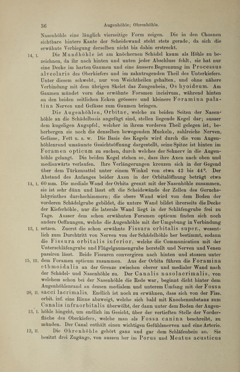 Nasenhöhle eine länglich vierseitige Form zeigen. Die in den Choanen sichtbare hintere Kante der Scheidewand steht stets gerade, da sich die erwähnte Verbiegung derselben nicht bis dahin erstreckt. 14 i. Die Mundhöhle ist am knöchernen Schädel kaum als Höhle zu be¬ zeichnen, da ihr nach hinten und unten jeder Abschluss fehlt, sie hat nur eine Decke im harten Gaumen und eine äussere Begrenzung im Processus alveolaris des Oberkiefers und im zahntragenden Theil des Unterkiefers. Unter diesem schwebt, nur von Weiclitheilen gehalten, und ohne nähere Verbindung mit dem übrigen Skelet das Zungenbein, Os hyoideum. Am Gaumen mündet vorn das erwähnte Foramen incisivum, während hinten an den beiden seitlichen Ecken grössere und kleinere Foramina pala- tina Nerven und Gefässe zum Gaumen bringen. Die Augenhöhlen, Orbitae, welche zu beiden Seiten der Nasen¬ höhle an die Schädelbasis angefügt sind, stellen liegende Kegel dar; ausser dem kugeligen Augapfel, welcher in ihrem vorderen Theil gelegen ist, be¬ herbergen sie noch die denselben bewegenden Muskeln, zahlreiche Nerven, Gefässe, Fett u. s. w. Die Basis des Kegels wird durch die vom Augen¬ höhlenrand umsäumte Gesichtsöffnung dargestellt, seine Spitze ist hinten im Foramen opticum zu suchen, durch welches der Sehnerv in die Augen¬ höhle gelangt. Die beiden Kegel stehen so, dass ihre Axen nach oben und medianwärts verlaufen. Ihre Verlängerungen kreuzen sich in der Gegend über dem Türkensattel unter einem Winkel von etwa 42 bis 44°. Der Abstand des Anfanges beider Axen in der Orbitalöffnung beträgt etwa 14, 1. 60 mm. Die mediale Wand der Orbita grenzt mit der Nasenhöhle zusammen, sie ist sehr dünn und lässt oft die Scheidewände der Zellen des Geruchs¬ labyrinthes durchschimmern; die obere Wand wird von dem Boden der vorderen Schädelgrube gebildet, die untere Wand bildet ihrerseits die Decke der Kieferhöhle, nur die laterale Wand liegt in der Schläfengrube frei zu Tage. Ausser dem schon erwähnten Foramen opticum finden sich noch andere Oeffnungen, welche die Augenhöhle mit der Umgebung in Verbindung 13, I. setzen. Zuerst die schon erwähnte Fissura orbitalis super., wesent¬ lich zum Durchtritt von Nerven von der Schädelhöhle her bestimmt, sodann die Fissura orbitalis inferior, welche die Communication mit der Unterschläfengrube und Flügelgaumengrube herstellt und Nerven und Venen passiren lässt. Beide Fissuren convergiren nach hinten und stossen unter 15, III. dem Foramen opticum zusammen. Aus der Orbita führen die Foramina ethmoidalia an der Grenze zwischen oberer und medialer Wand nach der Schädel- und Nasenhöhle zu. Der Canalis nasolacrimalis, von welchem schon bei der Nasenhöhle die Bede war, beginnt dicht hinter dem Augenhöhlenrand an dessen medialem und unterem Umfang mit derFossa 28, II. sacci lacrimalis. Endlich ist noch zu erwähnen, dass sich von der Fiss. orbit. inf. eine Rinne abzweigt, welche sich bald mit Knochensubstanz zum ( analis infraorbitalis überwölbt, der dann unter dem Boden der Augen- 13, 1. höhle hingeht, um endlich im Gesicht, über der vertieften Stelle der Vorder¬ fläche des Oberkiefers, welche man als Fossa canina beschreibt, zu münden. Der Canal enthält einen wichtigen Gefühlsnerven und eine Arterie. 12, II. Die Ohren höhle gehört ganz und gar dem Schläfenbein an. Sie besitzt drei Zugänge, von aussen her im Porus und Meatus acusticus