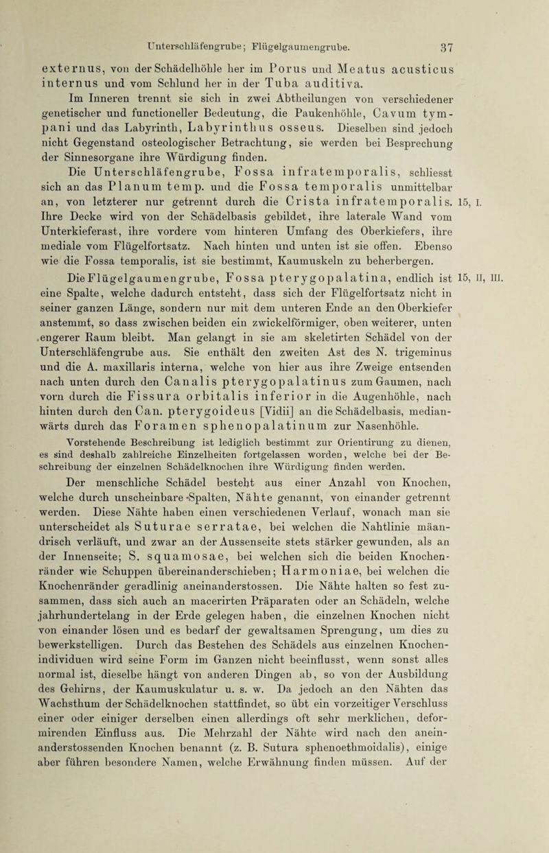 externus, von derSchädelhöhle lier im Torus und Meatus acusticus internus und vom Schlund her in der Tuba auditiva. Im Inneren trennt sie sich in zwei Abtheilungen von verschiedener genetischer und functioneller Bedeutung, die Paukenhöhle, Cavum tym- pani und das Labyrinth, Labyrinthus osseus. Dieselben sind jedoch nicht Gegenstand osteologischer Betrachtung, sie werden bei Besprechung der Sinnesorgane ihre Würdigung finden. Die Unterschläfengrube, Fossa infratemporalis, schliesst sich an das Planum temp. und die Fossa temporalis unmittelbar an, von letzterer nur getrennt durch die Crista infratemporalis. 15,1. Ihre Decke wird von der Schädelbasis gebildet, ihre laterale Wand vom Unterkieferast, ihre vordere vom hinteren Umfang des Oberkiefers, ihre mediale vom Flügelfortsatz. Nach hinten und unten ist sie offen. Ebenso wie die Fossa temporalis, ist sie bestimmt, Kaumuskeln zu beherbergen. Die Flügelgaumengrube, Fossa pterygopalatina, endlich ist 15, II, III. eine Spalte, welche dadurch entsteht, dass sich der Flügelfortsatz nicht in seiner ganzen Länge, sondern nur mit dem unteren Ende an den Oberkiefer anstemmt, so dass zwischen beiden ein zwickelförmiger, oben weiterer, unten .engerer Raum bleibt. Man gelangt in sie am skeletirten Schädel von der Unterschläfengrube aus. Sie enthält den zweiten Ast des N. trigeminus und die A. maxillaris interna, welche von hier aus ihre Zweige entsenden nach unten durch den Canalis pterygopalatinus zum Gaumen, nach vorn durch die Fissura orbitalis inferior in die Augenhöhle, nach hinten durch den Can. pterygoideus [Yidii] an die Schädelbasis, median- wärts durch das Fora men sphenopalatinum zur Nasenhöhle. Vorstehende Beschreibung ist lediglich bestimmt zur Orientirung zu dienen, es sind deshalb zahlreiche Einzelheiten fortgelassen worden, welche bei der Be¬ schreibung der einzelnen Schädelknochen ihre Würdigung finden werden. Der menschliche Schädel besteht aus einer Anzahl von Knochen, welche durch unscheinbare-Spalten, Nähte genannt, von einander getrennt werden. Diese Nähte haben einen verschiedenen Verlauf, wonach man sie unterscheidet als Suturae serratae, bei welchen die Nahtlinie mäan¬ drisch verläuft, und zwar an der Aussenseite stets stärker gewunden, als an der Innenseite; S. squamosae, bei welchen sich die beiden Knochen- ränder wie Schuppen Übereinanderschieben; Harmoniae, bei welchen die Knochenränder geradlinig aneinanderstossen. Die Nähte halten so fest zu¬ sammen, dass sich auch an macerirten Präparaten oder an Schädeln, welche jahrhundertelang in der Erde gelegen haben, die einzelnen Knochen nicht von einander lösen und es bedarf der gewaltsamen Sprengung, um dies zu bewerkstelligen. Durch das Bestehen des Schädels aus einzelnen Knochen¬ individuen wird seine Form im Ganzen nicht beeinflusst, wenn sonst alles normal ist, dieselbe hängt von anderen Dingen ab, so von der Ausbildung des Gehirns, der Kaumuskulatur u. s. w. Da jedoch an den Nähten das Wachsthum der Schädelknochen stattfindet, so übt ein vorzeitiger Verschluss einer oder einiger derselben einen allerdings oft sehr merklichen, defor- mirenden Einfluss aus. Die Mehrzahl der Nähte wird nach den anein- anderstossenden Knochen benannt (z. B. Sutura sphenoethmoidalis), einige aber führen besondere Namen, welche Erwähnung finden müssen. Auf der