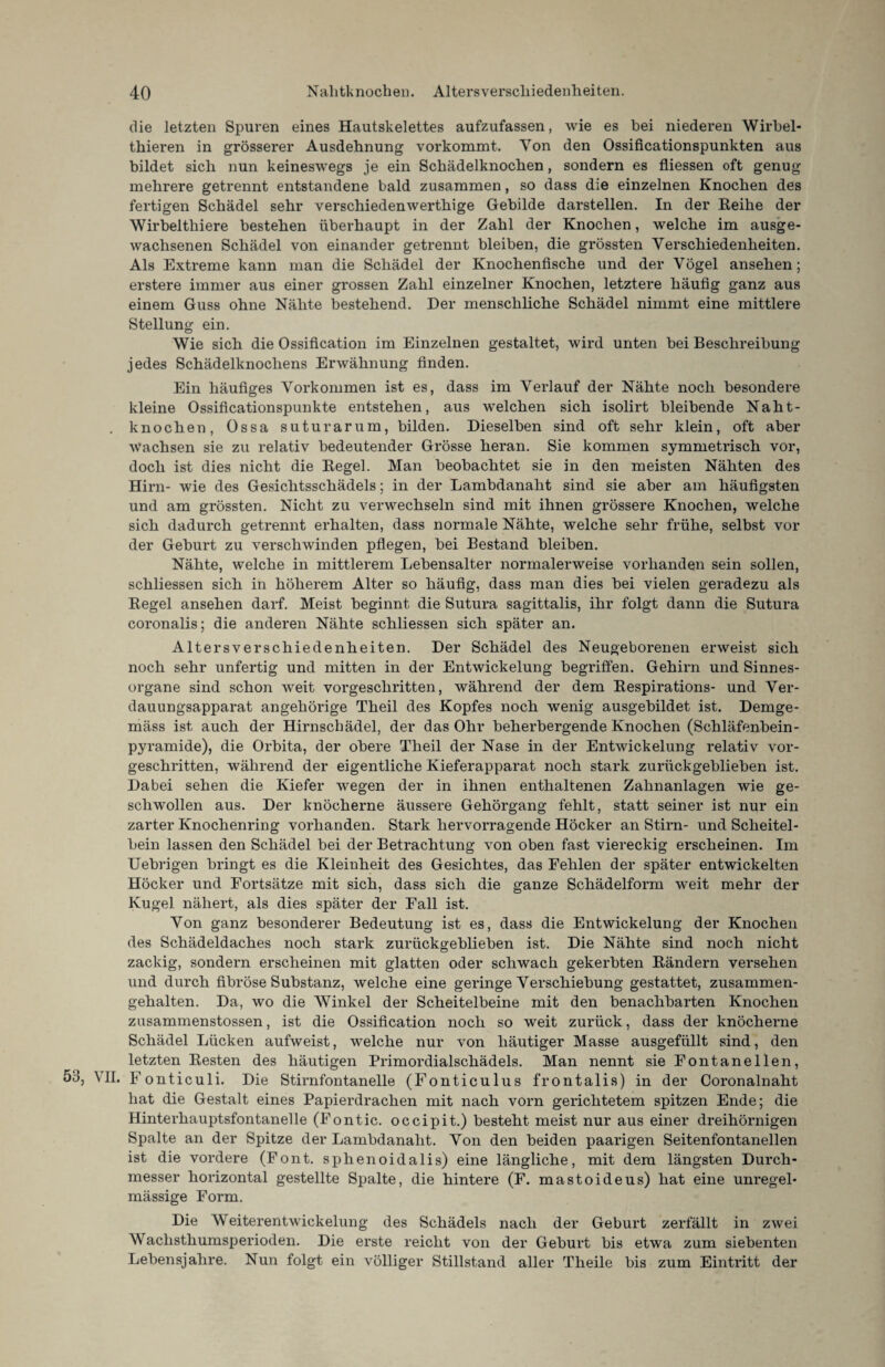die letzten Spuren eines Hautskelettes aufzufassen, wie es bei niederen Wirbel- thieren in grösserer Ausdehnung vorkommt. Von den Ossificationspunkten aus bildet sich nun keineswegs je ein Schädelknochen, sondern es fliessen oft genug mehrere getrennt entstandene bald zusammen, so dass die einzelnen Knochen des fertigen Schädel sehr verschiedenwerthige Gebilde darstellen. In der Reihe der Wirbelthiere bestehen überhaupt in der Zahl der Knochen, welche im ausge¬ wachsenen Schädel von einander getrennt bleiben, die grössten Verschiedenheiten. Als Extreme kann man die Schädel der Knochenfische und der Vögel ansehen; erstere immer aus einer grossen Zahl einzelner Knochen, letztere häufig ganz aus einem Guss ohne Nähte bestehend. Der menschliche Schädel nimmt eine mittlere Stellung ein. Wie sich die Ossification im Einzelnen gestaltet, wird unten bei Beschreibung jedes Schädelknochens Erwähnung finden. Ein häufiges Vorkommen ist es, dass im Verlauf der Nähte noch besondere kleine Ossificationspunkte entstehen, aus welchen sich isolirt bleibende Naht- . knochen, Ossa suturarum, bilden. Dieselben sind oft sehr klein, oft aber Wachsen sie zu relativ bedeutender Grösse heran. Sie kommen symmetrisch vor, doch ist dies nicht die Regel. Man beobachtet sie in den meisten Nähten des Hirn- wie des Gesichtsschädels; in der Lambdanaht sind sie aber am häufigsten und am grössten. Nicht zu verwechseln sind mit ihnen grössere Knochen, welche sich dadurch getrennt erhalten, dass normale Nähte, welche sehr frühe, selbst vor der Geburt zu verschwinden pflegen, bei Bestand bleiben. Nähte, welche in mittlerem Lebensalter normalerweise vorhanden sein sollen, schliessen sich in höherem Alter so häufig, dass man dies bei vielen geradezu als Regel ansehen darf. Meist beginnt die Sutura sagittalis, ihr folgt dann die Sutura coronalis; die anderen Nähte schliessen sich später an. Alters Verschiedenheiten. Der Schädel des Neugeborenen erweist sich noch sehr unfertig und mitten in der Entwickelung begriffen. Gehirn und Sinnes¬ organe sind schon weit vorgeschritten, während der dem Respirations- und Ver¬ dauungsapparat angehörige Theil des Kopfes noch wenig ausgebildet ist. Demge¬ mäss ist auch der Hirnschädel, der das Ohr beherbergende Knochen (Schläfenbein- Pyramide), die Orbita, der obere Theil der Nase in der Entwickelung relativ vor¬ geschritten, während der eigentliche Kieferapparat noch stark zurückgeblieben ist. Dabei sehen die Kiefer wegen der in ihnen enthaltenen Zahnanlagen wie ge¬ schwollen aus. Der knöcherne äussere Gehörgang fehlt, statt seiner ist nur ein zarter Knochenring vorhanden. Stark hervorragende Höcker an Stirn- und Scheitel¬ bein lassen den Schädel bei der Betrachtung von oben fast viereckig erscheinen. Im Uebrigen bringt es die Kleinheit des Gesichtes, das Fehlen der später entwickelten Höcker und Fortsätze mit sich, dass sich die ganze Schädelform weit mehr der Kugel nähert, als dies später der Fall ist. Von ganz besonderer Bedeutung ist es, dass die Entwickelung der Knochen des Schädeldaches noch stark zurückgeblieben ist. Die Nähte sind noch nicht zackig, sondern erscheinen mit glatten oder schwach gekerbten Rändern versehen und durch fibröse Substanz, welche eine geringe Verschiebung gestattet, zusammen¬ gehalten. Da, wo die Winkel der Scheitelbeine mit den benachbarten Knochen zusammenstossen, ist die Ossification noch so weit zurück, dass der knöcherne Schädel Lücken aufweist, welche nur von häutiger Masse ausgefüllt sind, den letzten Resten des häutigen Primordialschädels. Man nennt sie Fontanellen, 53, VII. F onticuli. Die Stirnfontanelle (Fonticulus frontalis) in der Coronalnaht hat die Gestalt eines Papierdrachen mit nach vorn gerichtetem spitzen Ende; die Hinterhauptsfontanelle (Fontic. occipit.) besteht meist nur aus einer dreihörnigen Spalte an der Spitze der Lambdanaht. Von den beiden paarigen Seitenfontanellen ist die vordere (Font, sphenoidalis) eine längliche, mit dem längsten Durch¬ messer horizontal gestellte Spalte, die hintere (F. mastoideus) hat eine unregel¬ mässige Form. Die Weiterentwickelung des Schädels nach der Geburt zerfällt in zwei Wachsthumsperioden. Die erste reicht von der Geburt bis etwa zum siebenten Lebensjahre. Nun folgt ein völliger Stillstand aller Theile bis zum Eintritt der