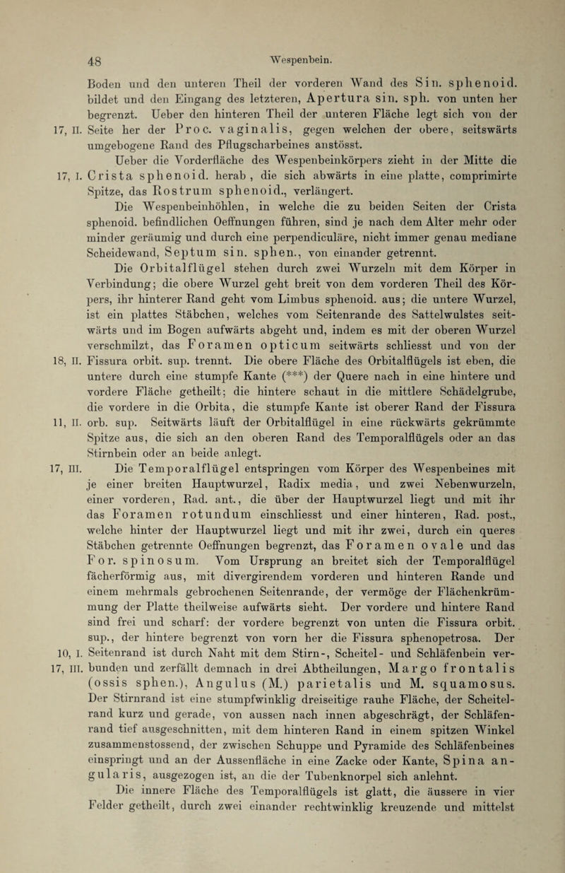 Boden und den unteren Theil der vorderen Wand des Sill, splienoid. bildet und den Eingang des letzteren, Apertura sin. sph. von unten her begrenzt. Ueber den hinteren Theil der unteren Fläche legt sich von der 17,11. Seite her der Proc. vaginalis, gegen welchen der obere, seitswärts umgebogene Rand des Pflugscharbeines anstösst. Ueber die Vorderfläche des Wespenbeinkörjiers zieht in der Mitte die 17, I. Crista splienoid. herab, die sich abwärts in eine platte, comprimirte Spitze, das Rostrum splienoid., verlängert. Die Wespenbeinhöhlen, in welche die zu beiden Seiten der Crista sphenoid. befindlichen Oeffnungen führen, sind je nach dem Alter mehr oder minder geräumig und durch eine perpendiculäre, nicht immer genau mediane Scheidewand, Septum sin. sphen., von einander getrennt. Die Orbitalflügel stehen durch zwei Wurzeln mit dem Körper in Verbindung; die obere Wurzel geht breit von dem vorderen Theil des Kör¬ pers, ihr hinterer Rand geht vom Limbus sphenoid. aus; die untere Wurzel, ist ein plattes Stäbchen, welches vom Seitenrande des Sattelwulstes seit¬ wärts und im Bogen aufwärts abgeht und, indem es mit der oberen Wurzel verschmilzt, das Foramen opticum seitwärts schliesst und von der 18, n. Fissura orbit. sup. trennt. Die obere Fläche des Orbitalflügels ist eben, die untere durch eine stumpfe Kante (***) der Quere nach in eine hintere und vordere Fläche getheilt; die hintere schaut in die mittlere Schädelgrube, die vordere in die Orbita, die stumpfe Kante ist oberer Rand der Fissura 11, II. orb. sup. Seitwärts läuft der Orbitalflügel in eine rückwärts gekrümmte Spitze aus, die sich an den oberen Rand des Temporalflügels oder an das Stirnbein oder an beide anlegt. 17, III. Die Temporalflügel entspringen vom Körper des Wespenbeines mit je einer breiten Hauptwurzel, Radix media, und zwei Nebenwurzeln, einer vorderen, Rad. ant., die über der Hauptwurzel liegt und mit ihr das Foramen rotundum einschliesst und einer hinteren, Rad. post., welche hinter der Hauptwurzel liegt und mit ihr zwei, durch ein queres Stäbchen getrennte Oeffnungen begrenzt, das Foramen ovale und das F o r. spinös um. Vom Ursprung an breitet sich der Temporalflügel fächerförmig aus, mit divergirendem vorderen und hinteren Rande und einem mehrmals gebrochenen Seitenrande, der vermöge der Flächenkrüm¬ mung der Platte theilweise aufwärts sieht. Der vordere und hintere Rand sind frei und scharf: der vordere begrenzt von unten die Fissura orbit. sup., der hintere begrenzt von vorn her die Fissura sphenopetrosa. Der 10, I. Seitenrand ist durch Naht mit dem Stirn-, Scheitel- und Schläfenbein ver- 17, III. bunden und zerfällt demnach in drei Abtheilungen, Margo frontalis (ossis sphen.), Angulus (M.) parietalis und M. squamosus. Der Stirnrand ist eine stumpfwinklig dreiseitige rauhe Fläche, der Scheitel¬ rand kurz und gerade, von aussen nach innen abgeschrägt, der Schläfen¬ rand tief ausgeschnitten, mit dem hinteren Rand in einem spitzen Winkel zusammenstossend, der zwischen Schuppe und Pyramide des Schläfenbeines einspringt und an der Aussenfläche in eine Zacke oder Kante, Spina an¬ gularis, ausgezogen ist, an die der Tubenknorpel sich anlehnt. Die innere Fläche des Temporalflügels ist glatt, die äussere in vier Felder getheilt, durch zwei einander rechtwinklig kreuzende und mittelst