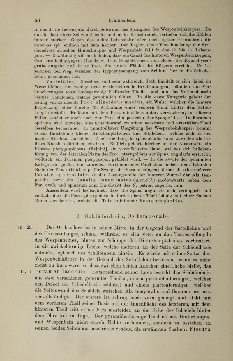 in das dritte Lebensjahr durch Schwund des Spongiosa des Wespenbeinkörpers. Da durch, dass dieser Schwund mehr und mehr fortschreitet, vertiefen sich die Höhlen immer stärker. Gegen das achte Lebensjahr oder noch später verwachsen die Conchae sph. endlich mit dem Körper. Der Beginn einer Verschmelzung der Syn- chondrose zwischen Hinterhaupts- und Wespenbein fällt in das 12. bis 13. Lebens¬ jahr. — Erwähnung soll noch finden, dass ein Canal des hinteren Wespenbeinkörpers, Can. craniopharyngeus (Landzert) beim Neugeborenen vom Boden der Hypophysen¬ grube ausgeht und in 10 Proc. die untere Fläche des Körpers erreicht. Er be¬ zeichnet den Weg, welchen der Hypophysengang vom Schlund her in die Schädel¬ höhle genommen hat. Varietäten. Dieselben sind sehr zahlreich, doch handelt es sich dabei im Wesentlichen um wenige stets wiederkehrende Erscheinungen, nämlich um Ver¬ knöcherungen sonst bindegewebig bleibender Theile, und um das Vorhandensein kleiner Canäloken, welche gewöhnlich fehlen. In die erste Kategorie gehört der häufig vorkommende Proc. clinoideus medius, ein Wulst, welcher die hintere Begrenzung einer Furche für Aufnahme eines venösen Sinus hinter dem Sattel¬ knopf darstellt. Er kann mit dem Proc. clinoideus anter. verwachsen; in seltenen Fällen sendet er auch noch zum Proc. clin. posterior eine Spange hin. — ImForamen opticum wird zuweilen eine Scheidewand zwischen nervösem und arteriellem Theil desselben beobachtet. In unmittelbarer Umgebung des Wespenbeinkörpers kommt es zur Entstehung kleiner Knochenplättchen und -Stäbchen, welche sich in der harten Hirnhaut ausbilden. Auch die Lingula sphenoidalis kann zuweilen als iso- lirtes Knochenplättchen existiren. Endlich gehört hierher an der Aussenseite ein Process. pterygospinosus [Civinini], ein verknöchertes Band, welches sich brücken¬ förmig von der lateralen Platte des Proc. pterygoideus zur Spina angularis erstreckt, wodurch ein Foramen pterygospin. gebildet wird. — In die zweite der genannten Kategorien gehört ein zuweilen vorkommendes Canälchen neben dem lateralen Ende der Fiss. orbital, sup. für Zweige der Vasa meningea; ferner ein oder mehrere Canalic. sphenoidales an der Abgangsstelle der hinteren Wurzel der Ala tem- poralis, sowie ein Canalic. innominatus (Arnold) medianwärts neben dem For. ovale und spinosum zum Durchtritt des N. petros. superfic. min. Ausserdem wird beobachtet, dass die Spina angularis sich verdoppelt und endlich, dass die Fossa pterygoidea in ihrem oberen Theil häufig mit einer flachen Rinne versehen ist, welche die Tube aufnimmt: Fossa scaplioidea. 3. Schläfenbein, Os temporale. 23. Das Os basilare ist in seiner Mitte, in der Gegend der Sattellehne und des Clivusanfanges, schmal, während es sich vorn zu den Temporalflügeln des Wespenbeines, hinten zur Schuppe des Hinterhauptsbeines verbreitert. In die zwickelförmige Lücke, welche dadurch an der Seite der Schädelbasis entsteht, legt sich das Schläfenbein hinein. Es würde mit seiner Spitze den M espenbeinkörper in der Gegend der Sattellehne berühren, wenn es nicht meist zu kurz wäre, so dass zwischen beiden Knochen eine Lücke bleibt, das II. F oramen lacerum. Entsprechend seiner Lage besteht das Schläfenbein aus zwei verschieden geformten Theilen, einem pyramidenförmigen, welcher den Defect der Schädelbasis schliesst und einem plattenförmigen, welcher die Seitenwand des Schädels zwischen Ala temporalis und Scpiama oss. occ. vervollständigt. Der erstere ist schräg nach vorn geneigt und steht mit dem vorderen Iheil seiner Basis auf der Innenfläche des letzteren, mit dem hinteren Iheil tritt er als Pars mastoidea an der Seite des Schädels hinter dem Ohre frei zu Tage. Der pyramidenförmige Theil ist mit Hinterhaupts¬ und Wespenbein nicht durch Nähte verbunden, sondern es bestehen an seinen beiden Seiten am macerirten Schädel die erwähnten Spalten: Fissura
