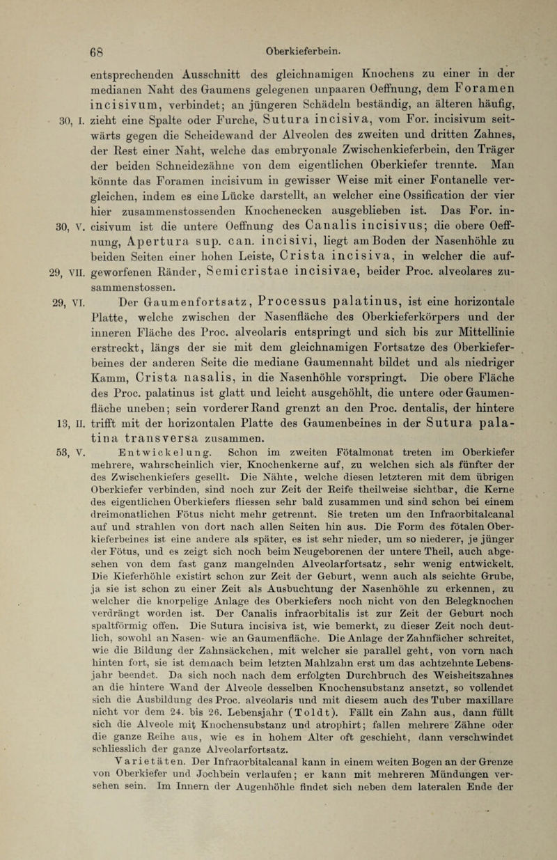entsprechenden Ausschnitt des gleichnamigen Knochens zu einer in der medianen Naht des Gaumens gelegenen unpaaren Oeffnung, dem F oramen incisivum, verbindet; an jüngeren Schädeln beständig, an älteren häufig, 30, i. zieht eine Spalte oder Furche, Sutura incisiva, vom For. incisivum seit¬ wärts gegen die Scheidewand der Alveolen des zweiten und dritten Zahnes, der Rest einer Naht, welche das embryonale Zwischenkieferbein, den Träger der beiden Schneidezähne von dem eigentlichen Oberkiefer trennte. Man könnte das Foramen incisivum in gewisser Weise mit einer Fontanelle ver¬ gleichen, indem es eine Lücke darstellt, an welcher eine Ossification der vier hier zusammenstossenden Knochenecken ausgeblieben ist. Das For. in- 30, v. cisivum ist die untere Oeffnung des Canalis incisivus; die obere Oeff¬ nung, Apertura sup. can. incisivi, liegt am Boden der Nasenhöhle zu beiden Seiten einer hohen Leiste, Crista incisiva, in welcher die auf- 29, VII. geworfenen Ränder, Semicristae incisivae, beider Proc. alveolares zu- sammenstossen. 29, VI. Der Gaumenfortsatz, Processus palatinus, ist eine horizontale Platte, welche zwischen der Nasenfläche des Oberkieferkörpers und der inneren Fläche des Proc. alveolaris entspringt und sich bis zur Mittellinie erstreckt, längs der sie mit dem gleichnamigen Fortsatze des Oberkiefer¬ beines der anderen Seite die mediane Gaumennaht bildet und als niedriger Kamm, Crista nasalis, in die Nasenhöhle vorspringt. Die obere Fläche des Proc. palatinus ist glatt und leicht ausgehöhlt, die untere oder Gaumen¬ fläche uneben; sein vorderer Rand grenzt an den Proc. dentalis, der hintere 13, II. trifft mit der horizontalen Platte des Gaumenbeines in der Sutura pala- tina transversa zusammen. 53, V. Entwickelung. Schon im zweiten Fötalmonat treten im Oberkiefer mehrere, wahrscheinlich vier, Knochenkerne auf, zu welchen sich als fünfter der des Zwischenkiefers gesellt. Die Nähte, welche diesen letzteren mit dem übrigen Oberkiefer verbinden, sind noch zur Zeit der Keife theilweise sichtbar, die Kerne des eigentlichen Oberkiefers fliessen sehr bald zusammen und sind schon bei einem dreimonatlichen Fötus nicht mehr getrennt. Sie treten um den Infraorbitalcanal auf und strahlen von dort nach allen Seiten hin aus. Die Form des fötalen Ober¬ kieferbeines ist eine andere als später, es ist sehr nieder, um so niederer, je jünger der Fötus, und es zeigt sich noch beim Neugeborenen der untere Theil, auch abge¬ sehen von dem fast ganz mangelnden Alveolarfortsatz, sehr wenig entwickelt. Die Kieferhöhle existirt schon zur Zeit der Geburt, wenn auch als seichte Grube, ja sie ist schon zu einer Zeit als Ausbuchtung der Nasenhöhle zu erkennen, zu welcher die knorpelige Anlage des Oberkiefers noch nicht von den Belegknochen verdrängt worden ist. Der Canalis infraorbitalis ist zur Zeit der Geburt noch spaltförmig offen. Die Sutura incisiva ist, wie bemerkt, zu dieser Zeit noch deut¬ lich, sowohl an Nasen- wie an Gaumenfläche. Die Anlage der Zahnfächer schreitet, wie die Bildung der Zahnsäckchen, mit welcher sie parallel geht, von vorn nach hinten fort, sie ist demnach beim letzten Mahlzahn erst um das achtzehnte Lebens¬ jahr beendet. Da sich noch nach dem erfolgten Durchbruch des Weisheitszahnes an die hintere Wand der Alveole desselben Knochensubstanz ansetzt, so vollendet sich die Ausbildung des Proc. alveolaris und mit diesem auch des Tuber maxillare nicht vor dem 24. bis 26. Lebensjahr (Toidt). Fällt ein Zahn aus, dann füllt sich die Alveole mit Knochensubstanz und atrophirt; fallen mehrere Zähne oder die ganze Reihe aus, wie es in hohem Alter oft geschieht, dann verschwindet schliesslich der ganze Alveolarfortsatz. V arietäten. Der Infraorbitalcanal kann in einem weiten Bogen an der Grenze von Oberkiefer und Jochbein verlaufen; er kann mit mehreren Mündungen ver¬ sehen sein. Im Innern der Augenhöhle findet sich neben dem lateralen Ende der