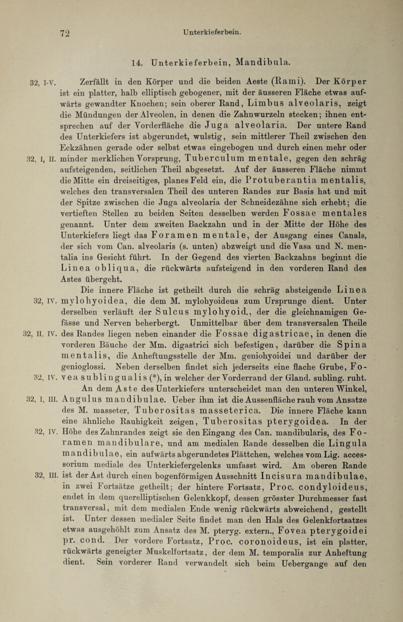 14. Unterkieferbein, Mandibula. 32, I-V. Zerfällt in den Körper und die beiden Aeste (Rami). Der Körper ist ein platter, halb elliptisch gebogener, mit der äusseren Fläche etwas auf¬ wärts gewandter Knochen; sein oberer Rand, Limbus alveolaris, zeigt die Mündungen der Alveolen, in denen die Zahnwurzeln stecken; ihnen ent¬ sprechen auf der Vorderfläche die Juga alveolaria. Der untere Rand des Unterkiefers ist abgerundet, wulstig, sein mittlerer Theil zwischen den Eckzähnen gerade oder selbst etwas eingebogen und durch einen mehr oder 32, I, II. minder merklichen Vorsprung, Tuberculum mentale, gegen den schräg aufsteigenden, seitlichen Theil abgesetzt. Auf der äusseren Fläche nimmt die Mitte ein dreiseitiges, planes Feld ein, die Urotuberantia mentalis, welches den transversalen Theil des unteren Randes zur Basis hat und mit der Spitze zwischen die Juga alveolaria der Schneidezähne sich erhebt; die vertieften Stellen zu beiden Seiten desselben werden Fossae mentales genannt. Unter dem zweiten Backzahn und in der Mitte der Höhe des Unterkiefers liegt das Foramen mentale, der Ausgang eines Canals, der sich vom Can. alveolaris (s. unten) abzweigt und die Vasa und N. men- talia ins Gesicht führt. In der Gegend des vierten Backzahns beginnt die Linea obliqua, die rückwärts aufsteigend in den vorderen Rand des Astes übergeht. Die innere Fläche ist getheilt durch die schräg absteigende Linea 32, IV. mylohyoidea, die dem M. mylohyoideus zum Ursprünge dient. Unter derselben verläuft der Sulcus mylohyoid., der die gleichnamigen Ge- fässe und Nerven beherbergt. Unmittelbar über dem transversalen Theile 32, II, IV. des Randes liegen neben einander die Fossae digastricae, in denen die vorderen Bäuche der Mm. digastrici sich befestigen, darüber die Spina mentalis, die Anheftungsstelle der Mm. geniohyoidei und darüber der genioglossi. Neben derselben findet sich jederseits eine flache Grube, Fo- 82, IV. vea sublingualis (*), in welcher der Vorderrand der Gland. subling. ruht. An dem Aste des Unterkiefers unterscheidet man den unteren Winkel, 32, I, III. Angulus mandibulae. Ueber ihm ist die Aussenflächerauh vom Ansätze des M. masseter, Tuberositas masseterica. Die innere Fläche kann eine ähnliche Rauhigkeit zeigen, Tuberositas pterygoidea. In der 32, IV. Höhe des Zahnrandes zeigt sie den Eingang des Can. mandibularis, des Fo¬ ramen mandibulare, und am medialen Rande desselben die Lingula mandibulae, ein aufwärts abgerundetes Plättchen, welches vom Lig. acces- sorium mediale des Unterkiefergelenks umfasst wird. Am oberen Rande 32, III. ist der Ast durch einen bogenförmigen Ausschnitt Incisura mandibulae, in zwei Fortsätze getheilt; der hintere Fortsatz, Proc. condyloideus, endet in dem querelliptischen Gelenkkopf, dessen grösster Durchmesser fast transversal, mit dem medialen Ende wenig rückwärts abweichend, gestellt ist. Unter dessen medialer Seite findet man den Hals des Gelenkfortsatzes etwas ausgehöhlt zum Ansatz des M. pteryg. extern., Fovea pterygoidei pr. cond. Der vordere Fortsatz, Proc. coronoideus, ist ein platter, rückwärts geneigter Muskelfortsatz, der dem M. temporalis zur Anheftung dient. Sein vorderer Rand verwandelt sich beim Uebergange auf den