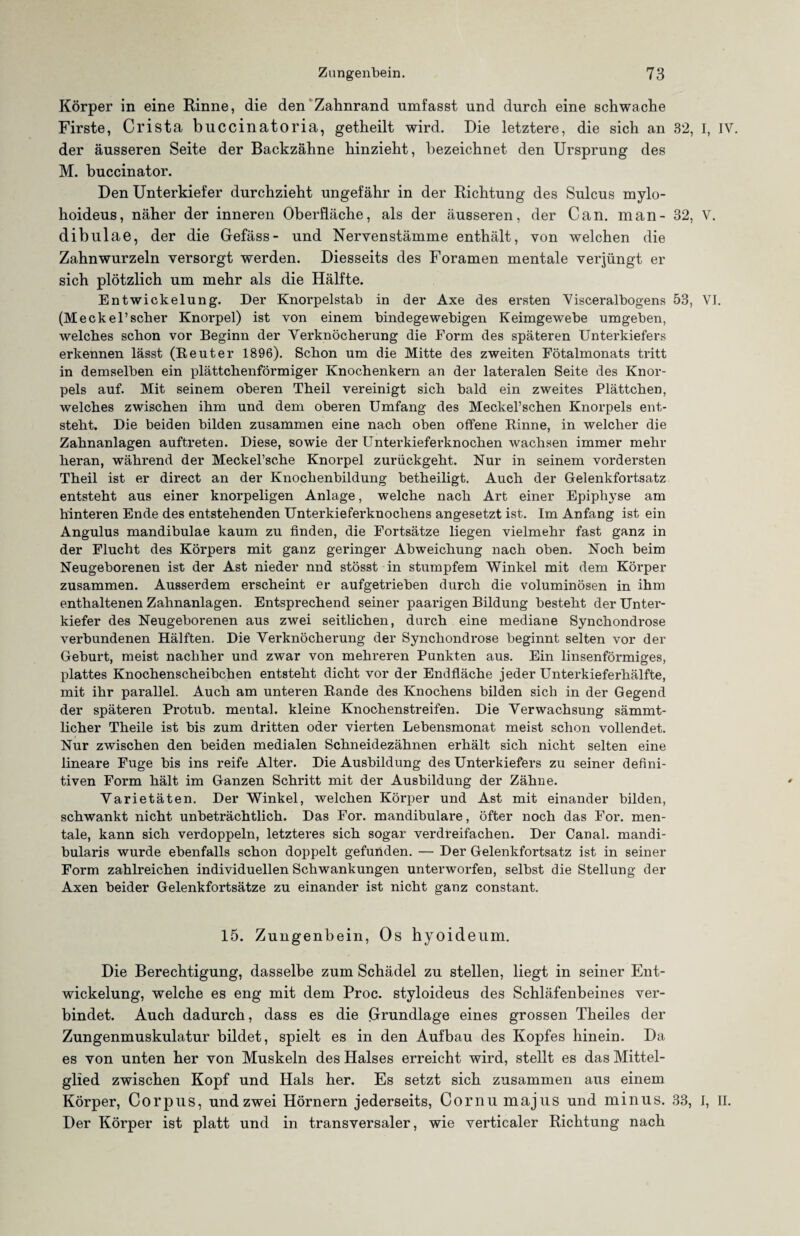 Körper in eine Rinne, die den Zahnrand umfasst und durch eine schwache Firste, Crista buccinatoria, getheilt wird. Die letztere, die sich an 32, I, IV. der äusseren Seite der Backzähne hinzieht, bezeichnet den Ursprung des M. buccinator. Den Unterkiefer durchzieht ungefähr in der Richtung des Sulcus mylo- hoideus, näher der inneren Oberfläche, als der äusseren, der Can. man- 32, V. dibulae, der die Gefäss- und Nervenstämme enthält, von welchen die Zahnwurzeln versorgt werden. Diesseits des Foramen mentale verjüngt er sich plötzlich um mehr als die Hälfte. Entwickelung. Der Knorpelstab in der Axe des ersten Visceralbogens 53, VI. (Meckel’scher Knorpel) ist von einem bindegewebigen Keimgewebe umgeben, welches schon vor Beginn der Verknöcherung die Form des späteren Unterkiefers erkennen lässt (Reuter 1896). Schon um die Mitte des zweiten Fötalmonats tritt in demselben ein plättchenförmiger Knochenkern an der lateralen Seite des Knor¬ pels auf. Mit seinem oberen Theil vereinigt sich bald ein zweites Plättchen, welches zwischen ihm und dem oberen Umfang des Meckel’schen Knorpels ent¬ steht. Die beiden bilden zusammen eine nach oben offene Rinne, in welcher die Zahnanlagen auftreten. Diese, sowie der Unterkieferknochen wachsen immer mehr heran, während der Meckel’sche Knorpel zurückgeht. Nur in seinem vordersten Theil ist er direct an der Knochenbildung betheiligt. Auch der Gelenkfortsatz entsteht aus einer knorpeligen Anlage, welche nach Art einer Epiphyse am hinteren Ende des entstehenden Unterkieferknochens angesetzt ist. Im Anfang ist ein Angulus mandibulae kaum zu finden, die Fortsätze liegen vielmehr fast ganz in der Flucht des Körpers mit ganz geringer Abweichung nach oben. Noch beim Neugeborenen ist der Ast nieder nnd stösst in stumpfem Winkel mit dem Körper zusammen. Ausserdem erscheint er aufgetrieben durch die voluminösen in ihm enthaltenen Zahnanlagen. Entsprechend seiner paarigen Bildung besteht der Unter¬ kiefer des Neugeborenen aus zwei seitlichen, durch eine mediane Synchondrose verbundenen Hälften. Die Verknöcherung der Synchondrose beginnt selten vor der Geburt, meist nachher und zwar von mehreren Punkten aus. Ein linsenförmiges, plattes Knochenscheibchen entsteht dicht vor der Endfläche jeder Unterkieferhälfte, mit ihr parallel. Auch am unteren Rande des Knochens bilden sich in der Gegend der späteren Protuh. mental, kleine Knochenstreifen. Die Verwachsung sämmt- licher Theile ist bis zum dritten oder vierten Lebensmonat meist schon vollendet. Nur zwischen den beiden medialen Schneidezähnen erhält sich nicht selten eine lineare Fuge bis ins reife Alter. Die Ausbildung des Unterkiefers zu seiner defini¬ tiven Form hält im Ganzen Schritt mit der Ausbildung der Zähne. Varietäten. Der Winkel, welchen Körper und Ast mit einander bilden, schwankt nicht unbeträchtlich. Das For. mandibulare, öfter noch das For. men¬ tale, kann sich verdoppeln, letzteres sich sogar verdreifachen. Der Canal, mandi- bularis wurde ebenfalls schon doppelt gefunden. — Der Gelenkfortsatz ist in seiner Form zahlreichen individuellen Schwankungen unterworfen, selbst die Stellung der Axen beider Gelenkfortsätze zu einander ist nicht ganz constant. 15. Zungenbein, Os hyoideum. Die Berechtigung, dasselbe zum Schädel zu stellen, liegt in seiner Ent¬ wickelung, welche es eng mit dem Proc. styloideus des Schläfenbeines ver¬ bindet. Auch dadurch, dass es die Grundlage eines grossen Theiles der Zungenmuskulatur bildet, spielt es in den Aufbau des Kopfes hinein. Da es von unten her von Muskeln des Halses erreicht wird, stellt es das Mittel¬ glied zwischen Kopf und Hals her. Es setzt sich zusammen aus einem Körper, Corpus, und zwei Hörnern jederseits, Cornu majus und minus. 33, 1, II. Der Körper ist platt und in transversaler, wie verticaler Richtung nach