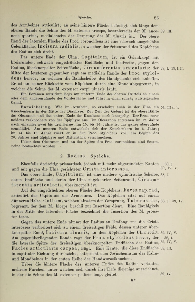 Speiche. g3 des Armbeines articulirt; an seine hintere Fläche befestigt sich längs dem oberen Rande die Sehne des M. extensor triceps, lateralerseits der M. anco- 39, III. neus quartus, medialerseits der Ursprung des M. ulnaris int. Der obere Rand der lateralen Fläche des Proc. coronoideus ist eine schwach ausgehöhlte Gelenkfläche, Incisura radialis, in welcher der Seitenrand des Köpfchens des Radius sich dreht. Das untere Ende der Ulna, Capitulum, ist ein Gelenkkopf mit kreisrunder, schwach eingedrückter Endfläche und theilweise, gegen den Radius, überknorpelter Seitenfläche, Circumferentia articularis; der 38,1. 39,1,11. Mitte der letzteren gegenüber ragt am medialen Rande der Proc. styloi- deus hervor, an welchen die Bandscheibe des Handgelenks sich anheftet. Er ist an seiner Rückseite vom Köpfchen durch eine Rinne abgegrenzt, in welcher die Sehne des M. extensor carpi ulnaris läuft. Ein Foramen nutritium liegt am unteren Ende des oberen Drittels an einem oder dem anderen Rande der Vorderfläche und führt in einen schräg aufsteigenden Canal. Entwickelung. Wie im Armhein, so erscheint auch in der Ulna ein 54, lila, b. Knochenkern in der Mitte der Diaphyse. Zur Zeit der Geburt ist die obere Hälfte des Olecranon und das untere Ende des Knochens noch knorpelig. Der Proc. coro¬ noideus verknöchert von der Epiphyse aus. Im Olecranon entstehen im 12. Jahre nach einander zwei bis drei Kerne; im 15. bis 16. Jahre ist das ganze obere Ende consolidirt. Am unteren Ende entwickelt sich der Knochenkern im 6. Jahre; im 14. bis 15. Jahre rückt er in den Proc. styloideus vor. Im Beginn des 20. Jahres sind Epiphyse und Mittelstück verschmolzen. Ueber dem Olecranon und an der Spitze des Proc. coronoideus sind Sesam¬ beine beobachtet worden. 2. Radius. Speiche. Ebenfalls dreiseitig prismatisch, jedoch mit mehr abgerundeten Kanten und mit gegen die Ulna gerichteter Crista interossea. Das obere Ende, Capitulum, ist eine niedere cylindrische Scheibe, deren Endfläche und deren der Ulna zugekehrter Seitenrand, C i r C u m - ferentia articularis, überknorpelt ist. Auf der eingedrückten oberen Fläche des Köpfchens, Fovea cap. rad., articulirt das Capitulum des Armbeines. Das Köpfchen sitzt auf einem dünneren Hai se, Collum, welchen abwärts der Yorsprung, T u b e r o s i t a s, begrenzt, der dem M. biceps brachii zur Insertion dient. Eine Rauhigkeit in der Mitte der lateralen Fläche bezeichnet die Insertion des M. prona- tor teres. Gegen das untere Ende nimmt der Radius an Umfang zu; die Crista interossea verbreitert sich zu einem dreiseitigen Felde, dessen unterer über¬ knorpelter Rand, Incisura ulnaris, an dem Köpfchen der Ulna rotirt. Am gegenüberliegenden Rande ragt der Proc. styloideus hervor, der die laterale Spitze der dreiseitigen überknorpelten Endfläche des Radius, Facies articularis carpea, trägt. Eine Kante, die diese Endfläche in sagittaler Richtung durchzieht, entspricht dem Zwischenraum des Kahn- und Mondbeines in der ersten Reihe der Handwurzelknochen. Ueber die hintere Fläche des unteren Endes des Radius verlaufen mehrere Furchen, unter welchen sich durch ihre Tiefe diejenige auszeichnet, in der die Sehne des M. extensor pollicis long. gleitet. 38, I. 39, IV, V. 38, I. 38, I. 39, IV. 39. IV, V. 38, I. 39, IV, V. 38, III. 39, IV. 6*