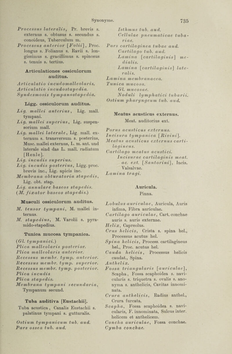 Processus lateralis, Pr. brevis s. externus s. obtusus s. secundus s. conoideus, Tuberculum m. Processus anterior [Folii], Proc. longus s. Folianus s. Ravii s. lon- gissimus s. gracillimus s. spinosus s. tenuis s. tertius. Articulationes ossieulorum auditus. Articulatio incudomalleolaris. Articulatio incudostapedia. Syndesmosis tympanostapedia. Ligg. ossieulorum auditus. Lig. mallei anterius, Lig. mall, tyinpani. Lig. mallei superius, Lig. Suspen¬ sorium mall. Lig. mallei laterale, Lig. mall, ex- ternum s. transversum s. posterius, Muse, mallei externus, L. m. ant. und laterale sind das L. mall, radiatum [Henle]. Ljig. incudis superius. Lig. incudis posterius, Ligg. proc. brevis inc., Lig. apicis inc. Membrana obturatoria stapedis, Lig. obt. stap. Lig. annulare baseos stapedis. (M. fixator baseos stapedis.) Museuli ossieulorum auditus. M. tensor tympani, M. mallei in¬ ternus. M. stapedius, M. Yarolii s. pyra- mido-stapedius. Tuniea mueosa tympanica. (Gl. tympanici.) Plica malleolaris posterior. Plica malleolaris anterior. Becessus membr. tymp. anterior. Becessus membr. tymp. superior. Becessus membr. tymp. posterior. Plica incudis. Plica stapedis. Membrana tympani secundaria, Tympanum secund. Tuba auditiva [Eustachii]. Tuba acustica, Canalis Eustachii s. palatinus tympani s. gutturalis. Ostium tympanicum tub. aud. Pars ossea tub. aud. Isthmus tub. aud. Cellulae pneumaticae tuba- riae. Pars cartilaginea tubae aud. Cartilago tub. aud. Lamina [cartilaginis] me- dialis. Lamina [cartilaginis] late¬ ralis. Lamina membranacea. Tuniea mueosa. Gl. mucosae. Noduli lymphatici tubarii. Ostium pharyngeum tub. and. Meatus acusticus externus. Meat. auditorius ext. Porus acusticus externus. Incisura tympanica [Bivini]. Meatus acusticus externus carti- lagineus. Cartilago meatus acustici. Incisurae cartilaginis meat. ac. ext. [Santorini], Incis. Yalsalvae. Lamina tragi. Auricula. Pinna. Ijobulus auriculae, Auricula, Auris infima, Fibra auriculae. Cartilago auriculae, Cart. conchae auris s. auris externae. Helix, Capreolus. Crus helicis, Crista s. spina heb, Processus acutus hei. Spina helicis, Process. cartilagineus heb, Proc. acutus heb Cauda helicis, Processus helicis caudat., Spina. Anthelix. Fossa triangularis [auriculae], Scapha, Fossa scaphoidea s. navi- cularis s. triquetra s. ovalis s. ano- nyma s. anthelicis, Cavitas innomi- nata. Crura anthelicis, Radius anthel., Crura furcata. Scapha, Fossa scaphoidea s. navi- cularis, F. innominata, Sulcus inter. helicem et anthelicem. Conclia auriculae, Fossa conchae. Cymba conchae.
