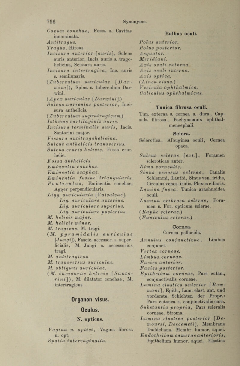 Cavum conchae, Fossa s. Cavitas innominata. Antitragus. Tragus, Hircus. Incisura anterior [auris], Sulcus auris anterior, Incis. auris s. trago- helicina, Scissura auris. Incisura intertragica, Inc. auris s. semilunaris. (Tuberculum auriculae [Bar - wini]), Spina s. tuberculum Dar- wini. (Apex auriculae [Barwini].) Sulcus auriculae posterior, Inci¬ sura anthelicis. (Tuberculum supratragicum.) Isthmus cartilaginis auris. Incisura terminalis auris, Incis. Santorini major. Fissura antitragohelicina. Sulcus anthelicis transversus. Sulcus cruris helicis, Fossa crur. helic. Fossa anthelicis. Fminentia conchae. Fminentia scaphae. Fminentia fossae triangularis. P o nt i c ul u s , Eminentia concbae, Agger perpendicularis. Bigg. auricularia [Valsalvae]. Big. auriculare anterius. Big. auriculare superius. Big. auriculare posterius. M. helicis major. M. helicis minor. M. tragicus, M. tragi. {M. pyramidalis auriculae [<Jungi]), Fascic. accessor. s. super¬ ficialis , M. Jungi s. accessorius tragi. M. antitragicus. M. transversus auriculae. M. obliquus auriculae. (M. incisurae helicis [Santo - rini]), M. dilatator concbae, M. intertragicus. Organon visus. Oculus. N. opticus. Vagina n. optici, Yagina fibrosa n. opt. Spatia intervaginalia. Bulbus oculi. Polus anterior. Polus posterior. Aeguator. Meridiani. Axis oculi externa. Axis oculi interna. Axis optica. (L inea visus.) Vesicula ophthalmica. Caliculus ophthalmicus. Tunica fibrosa oculi. Tun. externa s. cornea s. dura, Cap¬ sula fibrosa, Pacbymeninx opbtbal- mencepbali. Sclera. Sclerotica, Albuginea oculi, Cornea opaca. Sulcus sclerae [ext.], Foramen scleroticae anter. liima cornealis. Sinus venosus sclerae, Canalis Scblemmi, Lautbi, Sinus ven. iridis, Circulus venös, iridis, Plexus ciliaris. Bamina fusca, Tunica arachnoidea oculi. Bamina cribrosa sclerae, Fora¬ men s. For. opticum sclerae. (Paphe sclerae.) (Funiculus sclerae.) Cornea. Cornea pellucida. Annulus conjunctivae, Limbus conjunct. Vertex corneae. Bimbus corneae. Facies anterior. Facies posterior. Fpithelium corneae, Pars cutan., conjunctivalis corneae. Bamina elastica anterior [Bow- mani], Epith., Lam. elast. ant. und vorderste Scbicbten der Propr.: Pars cutanea s. conjunctivalis corn. Substantia propria, Pars scleralis corneae, Stroma. Bamina elastica posterior [Be- moursi, Bescemeti], Membrana Duddeliana, Membr. bumor. aquei. Endotlielium camerae anterioris, Epithelium bumor. aquei, Elastica