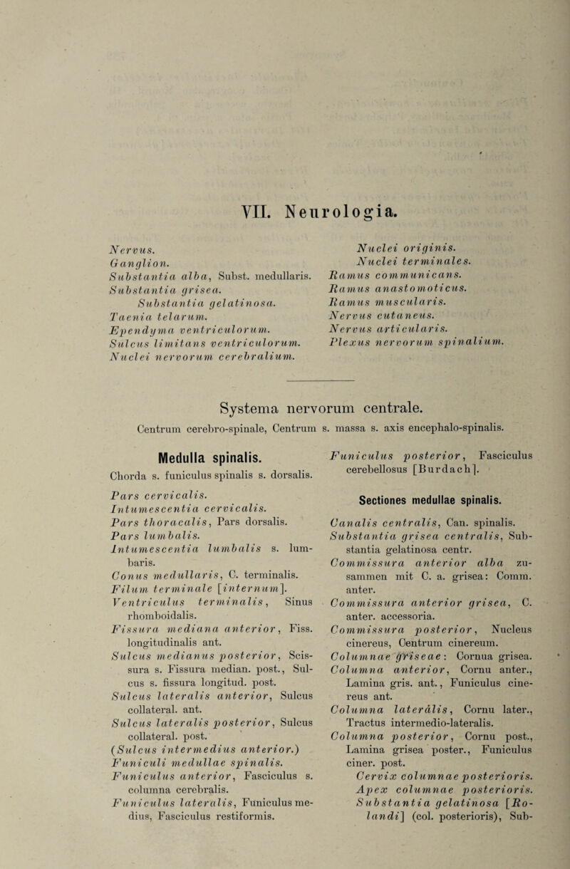 VIL Neurologia. Nervus. Ganglion. Substantia alba, Subst. medullaris. Substantia grisea. Substantia gelatinosa. Taenia t ela r um. Ependyma ventriculorum. Sulcus limitans ventriculorum. Nuclei nervorum cerebralium. Nuclei originis. Nuclei terminales. Ramus communicans. Ramus anastomoticus. Ramus muscularis. Nervus cutaneus. Nervus articularis. Plexus nervorum spinalium. Systema nervorum centrale. Centrum cerebro-spinale, Centrum s. massa s. axis encephalo-spinalis. Medulla spinalis. Cborda s. funiculus spinalis s. dorsalis. Pars cervicalis. Intumescentia cervicalis. Pars tlioracalis, Pars dorsalis. Pars lumbalis. Intumescentia lumbalis s. lum- baris. Conus medullaris, C. terminalis. Filum terminale [internum]. Ventriculus terminalis , Sinus rbomboidalis. Fissura mediana anterior, Fiss. longitudinalis ant. Sulcus medianus posterior, Scis- snra s. Fissura median, post., Sul¬ cus s. fissura longitud. post. Sulcus lateralis anterior, Sulcus collateral. ant. Sulcus lateralis posterior, Sulcus collateral. post. (Sulcus intermedius anterior.) Funiculi medullae spinalis. Funiculus anterior, Fasciculus s. columna cerebralis. Funiculus lateralis, Funiculusme- dius, Fasciculus restiformis. Funiculus posterior, Fasciculus cerebellosus [Burdach]. Sectiones medullae spinalis. Canalis centralis, Can. spinalis. Substantia grisea centralis, Sub¬ stantia gelatinosa centr. Commissura anterior alba zu¬ sammen mit C. a. grisea: Comm. anter. Commissura anterior grisea, C. anter. accessoria. Commissura posterior, Nucleus cinereus, Centrum cinereum. Columnae griseae : Cornua grisea. Columna anterior, Cornu anter., Lamina gris. ant., Funiculus cine¬ reus ant. Columna lateralis, Cornu later., Tractus intermedio-lateralis. Columna posterior, Cornu post., Lamina grisea poster., Funiculus einer, post. Cervix columnae posterioris. Apex columnae posterioris. Substantia gelatinosa [Ro- landi] (col. posterioris), Sub-