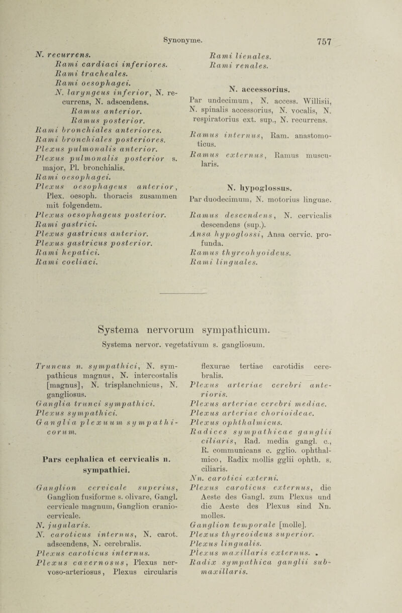 N. recurrens. Rami cardiaci inferiores. Rami tracheales. Rami oesophagei. N. laryngeus inferior, N. re¬ currens, N. adscendens. Ramus anterior. Ramus posterior. Rami bronchiales anteriores. Rami bronchiales posteriores. Plexus pulmonalis anterior. Plexus pulmonalis posterior s. major, PI. bronchialis. Rami oesophagei. Plexus oesophageus anterior, Plex. oesoph. tboracis zusammen mit folgendem. Plexus oesophageus posterior. Rami gastrici. Plexus gastricus anterior. Plexus gastricus posterior. Rami hepatici. Rami coeliaci. Rami lienales. Rami renales. N. accessorius. Par undecimum, N. access. Willisii, N. spinalis accessorius, N. vocalis, N. respiratorius ext. sup., N. recurrens. Ramus internus, Ram. anastomo- ticus. Ramus externus, Ramus muscu- laris. N. liypoglossus. Par duodecimum, N. motorius linguae. Ramus descendens, N. cervicalis descendens (sup.). Ansa hypoglossi, Ansa cervic. pro- funda. Ramus thyreoliyoideus. Rami linguales. Systema nervorum sympathicum. Systema nervor. vegetativum s. gangliosum. Truncus n. sympathici, N. sym- pathicus magnus, N. intercostalis [magnus], N. trisplanchnicus, N. gangliosus. Ganglia trunci sympathici. Plexus sympathici. Ganglia pl e xuum s y m p athi- cor u m. Pars cejdialica et cervicalis n. sympathici. Ganglion cervicale superius, Ganglion fusiforme s. olivare, Gangl. cervicale magnum, Ganglion cranio- cervicale. N. jugularis. N. caroticus internus, N. carot. adscendens, N. cerebralis. Plexus caroticus internus. Plexus cavernosus, Plexus ner- voso-arteriosus, Plexus circularis flexurae tertiae carotidis cere¬ bralis. Plexus arteriae cerebri ante¬ rior is. Plexus arteriae cerebri mediae. Plexus arteriae chorioideae. Plexus ophthalmicus. Radi c es sy mp at hi’ ca e g an gl ii ciliar is, Rad. media gangl. c., R. communicans c. gglio. ophthal- mico, Radix mollis gglii ophth. s. ciliar is. Nn. carotici externi. Plexus caroticus externus, die Aeste des Gangl. zum Plexus und die Aeste des Plexus sind Nn. molles. Ganglion temporale [molle]. Plexus thyreoideus superior. Plexus lingualis. Plexus maxillaris externus. • Radix sympathica ganglii sub- maxillaris.