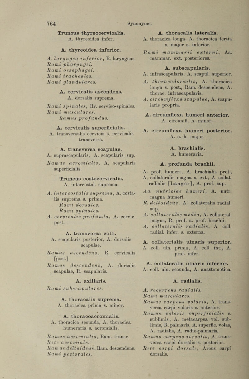 Truncus thyreocervicalis. A. thyreoidea infer. A. thyreoidea inferior. A. Iciryngea inferior, R. laryngeus. Rami pharyngei. Rami oesopliagei. Rami tracheales. Rami glanduläres. A. cervicalis ascendens. A. dorsalis suprema. Rami spinales, Rr. cervico-spinales. Rami musculares. Ramus profundus. A. cervicalis superficialis. A. transversalis cervicis s. cervicalis transversa. A. transversa scapulae. A. suprascapularis, A. scapularis sup, Ramus acromialis, A. scapularis superficialis. Truncus costocervicalis. A. intercostal. suprema. A. intercostalis suprema, A. costa- lis suprema s. prima. Rami dorsales. Rami spinales. A. cervicalis profunda, A. cervic. post. A. transversa colli. A. scapularis posterior, A. dorsalis scapulae. Ramus ascendens, R. cervicalis [post.]. Ramus descendens, A. dorsalis scapulae, R. scapularis. A. axillaris. Rami suhscapulares. A. thoraealis suprema. A. thoracica prima s. minor. A. thoraeoaeromialis. A. thoracica secunda, A. thoracica humeraria s. acromialis. Ramus acromialis, Ram. transv. Rete acromiale. Ramus deltoideus, Ram. descendens. Rami pectorales. A. thoraealis lateralis. A. thoracica longa, A. thoracica tertia s. major s. inferior. Rami mammarii externi, Aa. mammar. ext. posteriores. A. subscapularis. A. infrascapularis, A. scapul. superior. A. tlioracodorsalis, A. thoracica longa s. post., Ram. descendens, A. thorac. infrascapularis. A. circumflexa scapulae, A. scapu¬ laris propria. A. circumflexa humeri anterior. A. circumfl. h. minor. A. circumflexa humeri posterior. A. c. h. major. A. brachialis. A. humeraria. A. profunda brachii. A. prof. humeri, A. brachialis prof., A. collateralis magna s. ext., A. collat. radialis [Langer], A. prof. sup. Aa. nutriciae liumeri, A. nutr. magna humeri R. deltoideus, A. collateralis radial, sup. A. collateralis media, A. collateral. magna, R. prof. a. prof. brachii. A. collateralis radialis, A coli, radial, infer. s. externa. A. collaterialis ulnaris superior. A. coli. uln. prima, A. coli, int., A. prof. infer. A. collateralis ulnaris inferior. A. coli. uln. secunda, A. anastomotica. A. radialis. A. recurrens radialis. Rami musculares. Ramus carpeus volaris, A. trans¬ versa carpi volaris s. anterior. Ramus volaris superficialis s. sublimis, A. metacarpea vol. sub- limis, R. palmaris, A. superfic. volae, A. radialis, A. radio-palmaris. Ramus carpeus dorsalis, A. trans¬ versa carpi dorsalis s. posterior. Rete carpi dorsale, Arcus carpi dorsalis.