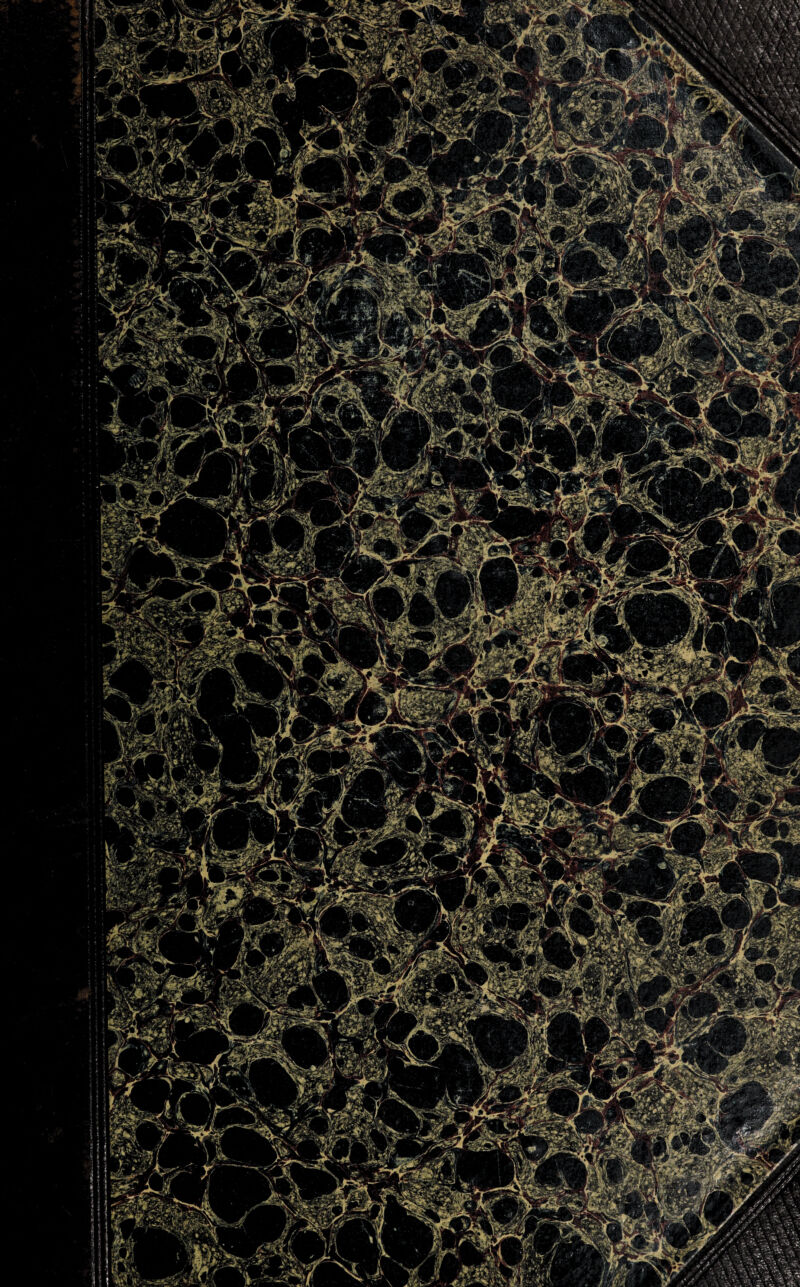 PT:- 4\v- • ’ L - I?/ ■'/ 1« £*^1§E: H ISp / W'5T /: ^ %& 9mfe#L .. /• ' ‘ 'i !Nr f, Jp / rr jH ^w~ \C äg|v|i jpl np