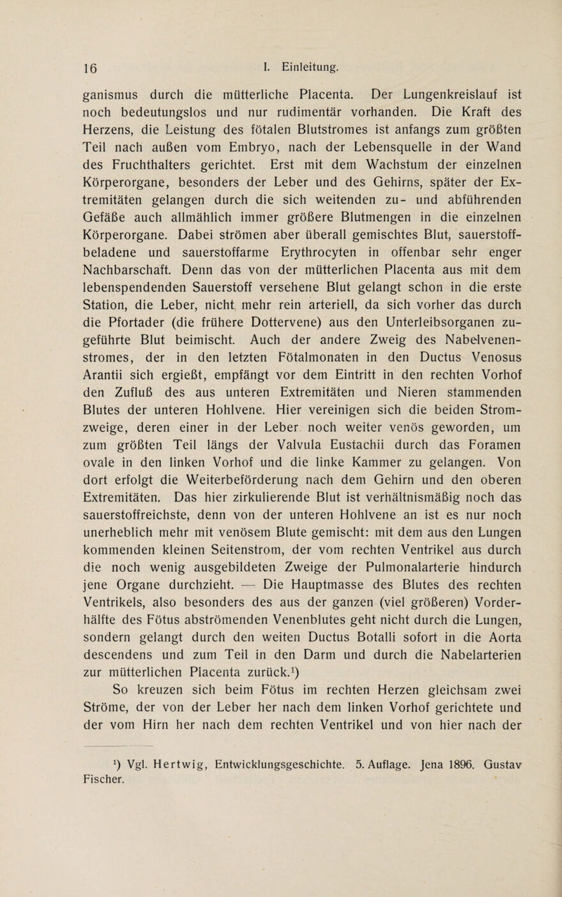 ganismus durch die mütterliche Placenta. Der Lungenkreislauf ist noch bedeutungslos und nur rudimentär vorhanden. Die Kraft des Herzens, die Leistung des fötalen Blutstromes ist anfangs zum größten Teil nach außen vom Embryo, nach der Lebensquelle in der Wand des Fruchthalters gerichtet. Erst mit dem Wachstum der einzelnen Körperorgane, besonders der Leber und des Gehirns, später der Ex¬ tremitäten gelangen durch die sich weitenden zu- und abführenden Gefäße auch allmählich immer größere Blutmengen in die einzelnen Körperorgane. Dabei strömen aber überall gemischtes Blut, sauerstoff¬ beladene und sauerstoffarme Erythrocyten in offenbar sehr enger Nachbarschaft. Denn das von der mütterlichen Placenta aus mit dem lebenspendenden Sauerstoff versehene Blut gelangt schon in die erste Station, die Leber, nicht mehr rein arteriell, da sich vorher das durch die Pfortader (die frühere Dottervene) aus den Unterleibsorganen zu¬ geführte Blut beimischt. Auch der andere Zweig des Nabelvenen¬ stromes, der in den letzten Fötalmonaten in den Ductus Venosus Arantii sich ergießt, empfängt vor dem Eintritt in den rechten Vorhof den Zufluß des aus unteren Extremitäten und Nieren stammenden Blutes der unteren Hohlvene. Hier vereinigen sich die beiden Strom¬ zweige, deren einer in der Leber noch weiter venös geworden, um zum größten Teil längs der Valvula Eustachii durch das Foramen ovale in den linken Vorhof und die linke Kammer zu gelangen. Von dort erfolgt die Weiterbeförderung nach dem Gehirn und den oberen Extremitäten. Das hier zirkulierende Blut ist verhältnismäßig noch das sauerstoffreichste, denn von der unteren Hohlvene an ist es nur noch unerheblich mehr mit venösem Blute gemischt: mit dem aus den Lungen kommenden kleinen Seitenstrom, der vom rechten Ventrikel aus durch die noch wenig ausgebildeten Zweige der Pulmonalarterie hindurch jene Organe durchzieht. — Die Hauptmasse des Blutes des rechten Ventrikels, also besonders des aus der ganzen (viel größeren) Vorder¬ hälfte des Fötus abströmenden Venenblutes geht nicht durch die Lungen, sondern gelangt durch den weiten Ductus Botalli sofort in die Aorta descendens und zum Teil in den Darm und durch die Nabelarterien zur mütterlichen Placenta zurück.1) So kreuzen sich beim Fötus im rechten Herzen gleichsam zwei Ströme, der von der Leber her nach dem linken Vorhof gerichtete und der vom Hirn her nach dem rechten Ventrikel und von hier nach der x) Vgl. Hertwig, Entwicklungsgeschichte. 5. Auflage. Jena 1896. Gustav Fischer.