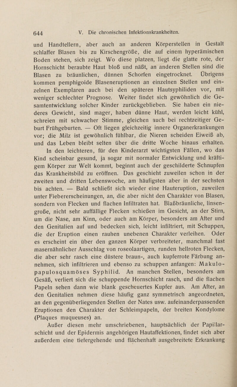 und Handtellern, aber auch an anderen Körperstellen in Gestalt schlaffer Blasen bis zu Kirschengröße, die auf einem hyperämischen Boden stehen, sich zeigt. Wo diese platzen, liegt die glatte rote, der Hornschicht beraubte Haut bloß und näßt, an anderen Stellen sind die Blasen zu bräunlichen, dünnen Schorfen eingetrocknet. Übrigens kommen pemphigoide Blaseneruptionen an einzelnen Stellen und ein¬ zelnen Exemplaren auch bei den späteren Hautsyphiliden vor, mit weniger schlechter Prognose. Weiter findet sich gewöhnlich die Ge¬ samtentwicklung solcher Kinder zurückgeblieben. Sie haben ein nie¬ deres Gewicht, sind mager, haben dünne Haut, werden leicht kühl, schreien mit schwacher Stimme, gleichen auch bei rechtzeitiger Ge¬ burt Frühgeburten. — Oft liegen gleichzeitig innere Organerkrankungen vor; die Milz ist gewöhnlich fühlbar, die Nieren scheiden Eiweiß ab, und das Leben bleibt selten über die dritte Woche hinaus erhalten. In den leichteren, für den Kinderarzt wichtigsten Fällen, wo das Kind scheinbar gesund, ja sogar mit normaler Entwicklung und kräfti¬ gem Körper zur Welt kommt, beginnt auch der geschilderte Schnupfen das Krankheitsbild zu eröffnen. Das geschieht zuweilen schon in der zweiten und dritten Lebenswoche, am häufigsten aber in der sechsten bis achten. — Bald schließt sich wieder eine Hauteruption, zuweilen unter Fiebererscheinungen, an, die aber nicht den Charakter von Blasen, sondern von Flecken und flachen Infiltraten hat. Blaßbräunliche, linsen¬ große, nicht sehr auffällige Flecken schießen im Gesicht, an der Stirn, um die Nase, am Kinn, oder auch am Körper, besonders am After und den Genitalien auf und bedecken sich, leicht infiltriert, mit Schuppen, die der Eruption einen rauhen unebenen Charakter verleihen. Oder es erscheint ein über den ganzen Körper verbreiteter, manchmal fast masernähnlicher Ausschlag von roseolaartigen, runden hellroten Flecken, die aber sehr rasch eine düstere braun-, auch kupferrote Färbung an¬ nehmen, sich infiltrieren und ebenso zu schuppen anfangen: Makulo- papulosquamöses Syphilid. An manchen Stellen, besonders am Gesäß, verliert sich die schuppende Hornschicht rasch, und die flachen Papeln sehen dann v/ie blank gescheuertes Kupfer aus. Am After, an den Genitalien nehmen diese häufig ganz symmetrisch angeordneten, an den gegenüberliegenden Stellen der Nates usw. aufeinanderpassenden Eruptionen den Charakter der Schleimpapeln, der breiten Kondylome (Plaques muqueuses) an. Außer diesen mehr umschriebenen, hauptsächlich der Papillar- schicht und der Epidermis angehörigen Hautaffektionen, findet sich aber außerdem eine tiefergehende und flächenhaft ausgebreitete Erkrankung