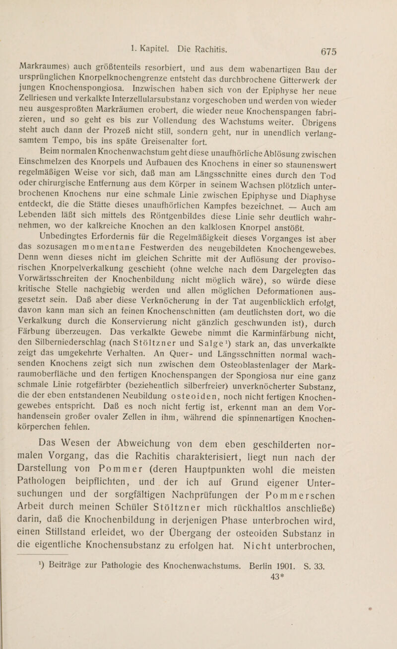 Markraumes) auch größtenteils resorbiert, und aus dem wabenartigen Bau der ursprünglichen Knorpelknochengrenze entsteht das durchbrochene Gitterwerk der jungen Knochenspongiosa. Inzwischen haben sich von der Epiphyse her neue Zelliiesen und verkalkte Interzellularsubstanz vorgeschoben und werden von wieder neu ausgesproßten Markräumen erobert, die wieder neue Knochenspangen fabri¬ zieren, und so geht es bis zur Vollendung des Wachstums weiter. Übrigens steht auch dann der Prozeß nicht still, sondern geht, nur in unendlich verlang¬ samtem Tempo, bis ins späte Greisenalter fort. Beim normalen Knochenwachstum geht diese unaufhörliche Ablösung zwischen Einschmelzen des Knorpels und Aufbauen des Knochens in einer so staunenswert regelmäßigen Weise vor sich, daß man am Längsschnitte eines durch den Tod oder chirurgische Entfernung aus dem Körper in seinem Wachsen plötzlich unter¬ brochenen Knochens nur eine schmale Linie zwischen Epiphyse und Diaphyse entdeckt, die die Stätte dieses unaufhörlichen Kampfes bezeichnet. — Auch am Lebenden läßt sich mittels des Röntgenbildes diese Linie sehr deutlich wahr¬ nehmen, wo der kalkreiche Knochen an den kalklosen Knorpel anstößt. Unbedingtes Erfordernis für die Regelmäßigkeit dieses Vorganges ist aber das sozusagen momentane Festwerden des neugebildeten Knochengewebes. Denn wenn dieses nicht im gleichen Schritte mit der Auflösung der proviso¬ rischen Knorpelverkalkung geschieht (ohne welche nach dem Dargelegten das Vorwärtsschreiten der Knochenbildung nicht möglich wäre), so würde diese kritische Stelle nachgiebig werden und allen möglichen Deformationen aus¬ gesetzt sein. Daß aber diese Verknöcherung in der Tat augenblicklich erfolgt, davon kann man sich an feinen Knochenschnitten (am deutlichsten dort, wo die Verkalkung durch die Konservierung nicht gänzlich geschwunden ist), durch Färbung überzeugen. Das verkalkte Gewebe nimmt die Karminfärbung nicht, den Silberniederschlag (nach Stöltzner und Salge1) stark an, das unverkalkte zeigt das umgekehrte Verhalten. An Quer- und Längsschnitten normal wach¬ senden Knochens zeigt sich nun zwischen dem Osteoblastenlager der Mark¬ raumoberfläche und den fertigen Knochenspangen der Spongiosa nur eine ganz schmale Linie rotgefärbter (beziehentlich silberfreier) unverknöcherter Substanz, die der eben entstandenen Neubildung osteoiden, noch nicht fertigen Knochen¬ gewebes entspricht. Daß es noch nicht fertig ist, erkennt man an dem Vor¬ handensein großer ovaler Zellen in ihm, während die spinnenartigen Knochen¬ körperchen fehlen. Das Wesen der Abweichung von dem eben geschilderten nor¬ malen Vorgang, das die Rachitis charakterisiert, liegt nun nach der Darstellung von Pommer (deren Hauptpunkten wohl die meisten Pathologen beipflichten, und der ich auf Grund eigener Unter¬ suchungen und der sorgfältigen Nachprüfungen der Pom mersehen Arbeit durch meinen Schüler Stöltzner mich rückhaltlos anschließe) darin, daß die Knochenbildung in derjenigen Phase unterbrochen wird, einen Stillstand erleidet, wo der Übergang der osteoiden Substanz in die eigentliche Knochensubstanz zu erfolgen hat. Nicht unterbrochen, x) Beiträge zur Pathologie des Knochenwachstums. Berlin 1901. S. 33. 43*