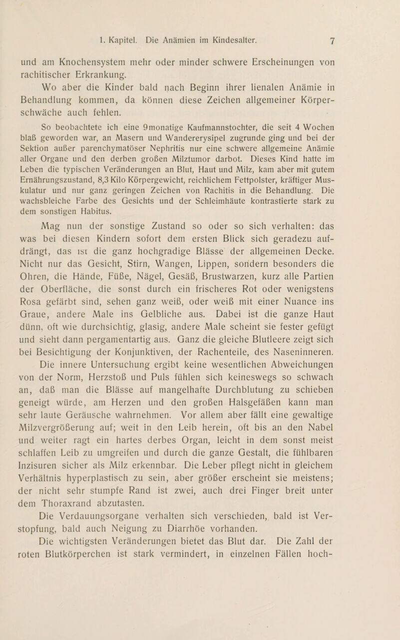 und am Knochensystem mehr oder minder schwere Erscheinungen von rachitischer Erkrankung. Wo aber die Kinder bald nach Beginn ihrer lienalen Anämie in Behandlung kommen, da können diese Zeichen allgemeiner Körper¬ schwäche auch fehlen. So beobachtete ich eine 9monatige Kaufmannstochter, die seit 4 Wochen blaß geworden war, an Masern und Wandererysipel zugrunde ging und bei der Sektion außer parenchymatöser Nephritis nur eine schwere allgemeine Anämie aller Organe und den derben großen Milztumor darbot. Dieses Kind hatte im Leben die typischen Veränderungen an Blut, Haut und Milz, kam aber mit gutem Ernährungszustand, 8,3 Kilo Körpergewicht, reichlichem Fettpolster, kräftiger Mus¬ kulatur und nur ganz geringen Zeichen von Rachitis in die Behandlung. Die wachsbleiche Farbe des Gesichts und der Schleimhäute kontrastierte stark zu dem sonstigen Habitus. Mag nun der sonstige Zustand so oder so sich verhalten: das was bei diesen Kindern sofort dem ersten Blick sich geradezu auf¬ drängt, das ist die ganz hochgradige Blässe der allgemeinen Decke. Nicht nur das Gesicht, Stirn, Wangen, Lippen, sondern besonders die Ohren, die Hände, Füße, Nägel, Gesäß, Brustwarzen, kurz alle Partien der Oberfläche, die sonst durch ein frischeres Rot oder wenigstens Rosa gefärbt sind, sehen ganz weiß, oder weiß mit einer Nuance ins Graue, andere Male ins Gelbliche aus. Dabei ist die ganze Haut dünn, oft wie durchsichtig, glasig, andere Male scheint sie fester gefügt und sieht dann pergamentartig aus. Ganz die gleiche Blutleere zeigt sich bei Besichtigung der Konjunktiven, der Rachenteile, des Naseninneren. Die innere Untersuchung ergibt keine wesentlichen Abweichungen von der Norm, Herzstoß und Puls fühlen sich keineswegs so schwach an, daß man die Blässe auf mangelhafte Durchblutung zu schieben geneigt würde, am Herzen und den großen Halsgefäßen kann man sehr laute Geräusche wahrnehmen. Vor allem aber fällt eine gewaltige Milzvergrößerung auf; weit in den Leib herein, oft bis an den Nabel und weiter ragt ein hartes derbes Organ, leicht in dem sonst meist schlaffen Leib zu umgreifen und durch die ganze Gestalt, die fühlbaren Inzisuren sicher als Milz erkennbar. Die Leber pflegt nicht in gleichem Verhältnis hyperplastisch zu sein, aber größer erscheint sie meistens; der nicht sehr stumpfe Rand ist zwei, auch drei Finger breit unter dem Thoraxrand abzutasten. Die Verdauungsorgane verhalten sich verschieden, bald ist Ver¬ stopfung, bald auch Neigung zu Diarrhöe vorhanden. Die wichtigsten Veränderungen bietet das Blut dar. Die Zahl der roten Blutkörperchen ist stark vermindert, in einzelnen Fällen hoch-