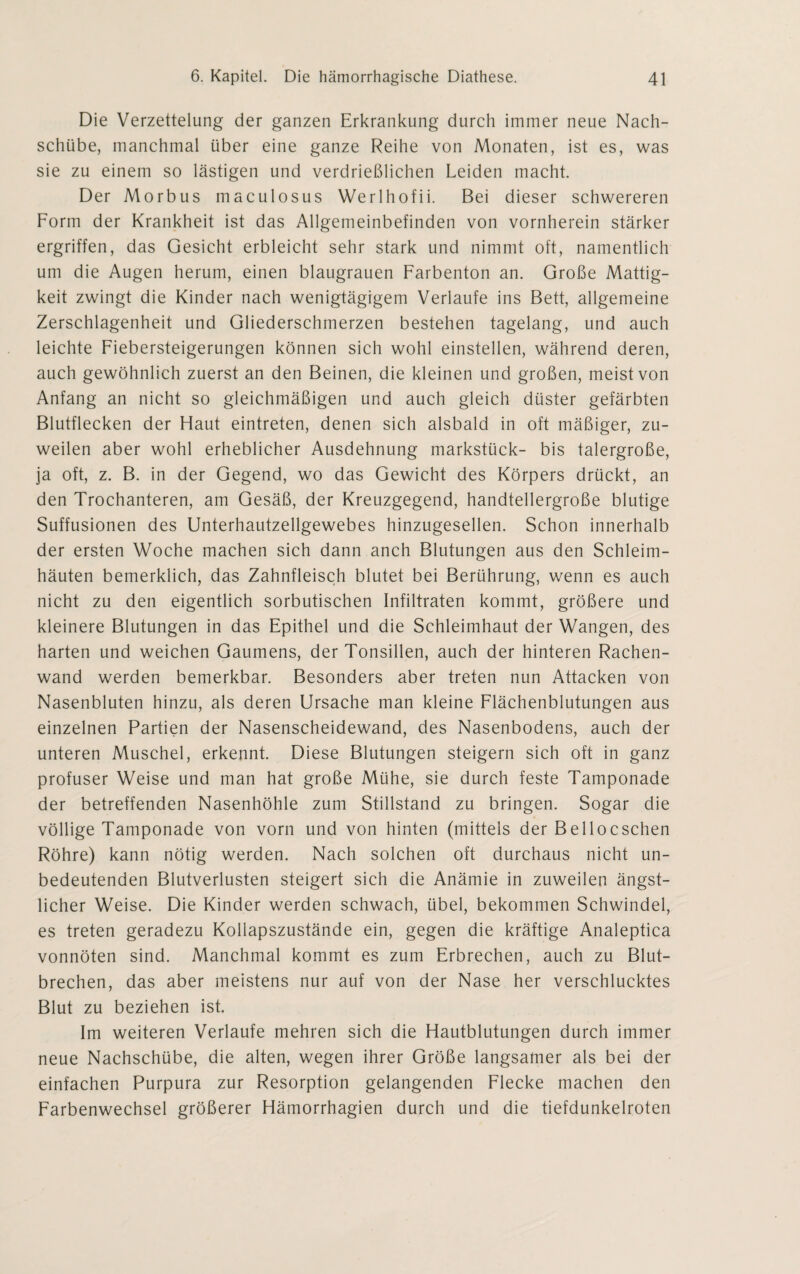 Die Verzettelung der ganzen Erkrankung durch immer neue Nach¬ schübe, manchmal über eine ganze Reihe von Monaten, ist es, was sie zu einem so lästigen und verdrießlichen Leiden macht. Der Morbus maculosus Werlhofii. Bei dieser schwereren Form der Krankheit ist das Allgemeinbefinden von vornherein stärker ergriffen, das Gesicht erbleicht sehr stark und nimmt oft, namentlich um die Augen herum, einen blaugrauen Farbenton an. Große Mattig¬ keit zwingt die Kinder nach wenigtägigem Verlaufe ins Bett, allgemeine Zerschlagenheit und Gliederschmerzen bestehen tagelang, und auch leichte Fiebersteigerungen können sich wohl einstellen, während deren, auch gewöhnlich zuerst an den Beinen, die kleinen und großen, meist von Anfang an nicht so gleichmäßigen und auch gleich düster gefärbten Blutflecken der Haut eintreten, denen sich alsbald in oft mäßiger, zu¬ weilen aber wohl erheblicher Ausdehnung markstück- bis talergroße, ja oft, z. B. in der Gegend, wo das Gewicht des Körpers drückt, an den Trochanteren, am Gesäß, der Kreuzgegend, handtellergroße blutige Suffusionen des Unterhautzellgewebes hinzugesellen. Schon innerhalb der ersten Woche machen sich dann anch Blutungen aus den Schleim¬ häuten bemerklich, das Zahnfleisch blutet bei Berührung, wenn es auch nicht zu den eigentlich sorbutischen Infiltraten kommt, größere und kleinere Blutungen in das Epithel und die Schleimhaut der Wangen, des harten und weichen Gaumens, der Tonsillen, auch der hinteren Rachen¬ wand werden bemerkbar. Besonders aber treten nun Attacken von Nasenbluten hinzu, als deren Ursache man kleine Flächenblutungen aus einzelnen Partien der Nasenscheidewand, des Nasenbodens, auch der unteren Muschel, erkennt. Diese Blutungen steigern sich oft in ganz profuser Weise und man hat große Mühe, sie durch feste Tamponade der betreffenden Nasenhöhle zum Stillstand zu bringen. Sogar die völlige Tamponade von vorn und von hinten (mittels der Bellocsehen Röhre) kann nötig werden. Nach solchen oft durchaus nicht un¬ bedeutenden Blutverlusten steigert sich die Anämie in zuweilen ängst¬ licher Weise. Die Kinder werden schwach, übel, bekommen Schwindel, es treten geradezu Kollapszustände ein, gegen die kräftige Analeptica vonnöten sind. Manchmal kommt es zum Erbrechen, auch zu Blut¬ brechen, das aber meistens nur auf von der Nase her verschlucktes Blut zu beziehen ist. Im weiteren Verlaufe mehren sich die Hautblutungen durch immer neue Nachschübe, die alten, wegen ihrer Größe langsamer als bei der einfachen Purpura zur Resorption gelangenden Flecke machen den Farbenwechsel größerer Hämorrhagien durch und die tiefdunkelroten