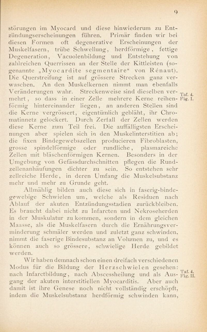 Q Störungen im Mvocard und diese hinwiederum zu Ent- o J Zündungserscheinungen führen. Primär finden wir bei diesen Formen oft degenerative Erscheinungen der Muskelfasern, trübe Schwellung, herdförmige, fettige Degeneration, Vacuolenbildung und Entstehung von zahlreichen Querrissen an der Stelle der Kittleisten (so¬ genannte „Myocardite segmentaire“ von Renaut). Die Querstreifung ist auf grössere Strecken ganz ver¬ waschen. An den Muskelkernen nimmt man ebenfalls Veränderungen wahr. Streckenweise sind dieselben ver- mehrt , so dass in einer Zelle mehrere Kerne reihen¬ förmig hintereinander liegen, an anderen Stellen sind die Kerne vergrössert, eigentümlich gebläht, ihr Chro¬ matinnetz gelockert. Durch Zerfall der Zellen werden diese Kerne zum Teil frei. Die auffälligsten Erschei- nungen aber spielen sich in den Muskelinterstitien ab; die fixen Bindegewebszellen producieren Fibroblasten, grosse spindelförmige oder rundliche , plasmareiche Zellen mit bläschenförmigen Kernen. Besonders in der Umgebung von Gefässdurchschnitten pflegen die Rund¬ zellenanhäufungen dichter zu sein. So entstehen sehr zellreiche Herde, in deren Umfang die Muskelsubstanz mehr und mehr zu Grunde geht. Allmählig bilden auch diese sich in faserig-binde¬ gewebige Schwielen um, welche als Residuen nach Ablauf der akuten Entzündungsstadien Zurückbleiben. Es braucht dabei nicht zu Infarcten und Nekroseherden in der Muskulatur zu kommen, sondern in dem gleichen M aasse, als die Muskelfasern durch die Ernährungsver¬ minderung schmäler werden und zuletzt ganz schwinden, nimmt die faserige Bindesubstanz an Volumen zu, und es können auch so grössere, schwielige Herde gebildet werden. Wir haben demnach schon einen dreifach verschiedenen Modus für die Bildung der Herzschwielen gesehen: o o nach Infarctbildung, nach Abscessheilung und als Aus¬ gang der akuten interstitiellen Myocarditis. Aber auch damit ist ihre Genese noch nicht vollständig erschöpft, indem die Muskelsubstanz herdförmig schwinden kann, Tat. 4. Pig. I. Tat. 4.