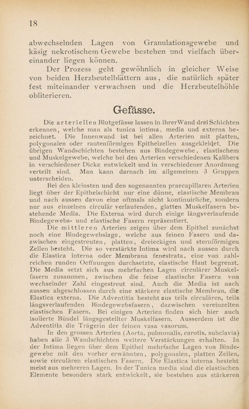 abwechselnden Lagen von Granulationsgewebe und käsig nekrotischem Gewebe bestehen und vielfach über¬ einander liegen können. Der Prozess geht gewöhnlich in gleicher Weise von beiden Herzbeutelblättern aus , die natürlich später fest miteinander verwachsen und die Herzbeutelhöhle obliterieren. Gefässe. Die arteriellen Blutgefässe lassen in ihrerWand drei Schichten erkennen, welche man als tunica intima, media und externa be¬ zeichnet. Die Innenwand ist bei allen Arterien mit platten, polygonalen oder rautenförmigen Epithelzelien ausgekleid.et. Die übrigen Wandschichten bestehen aus Bindegewebe, elastischem und Muskelgewebe, welche bei den Arterien verschiedenen Kalibers in verschiedener Dicke entwickelt und in verschiedener Anordnung verteilt sind. Man kann darnach im allgemeinen 3 Gruppen unterscheiden. Bei den kleinsten und den sogenannten praecapillaren Arterien liegt über der Epithelschicht nur eine dünne, elastische Membran und nach aussen davon eine oftmals nicht kontinuirliche, sondern nur aus einzelnen circular verlaufenden, glatten Muskelfasern be¬ stehende Media. Die Externa wird durch einige längsverlaufende Bindegewebs- und elastische Fasern repräsentiert. Die mittleren Arterien zeigen über dem Epithel zunächst noch eine Bindegewebslage, welche aus feinen Fasern und da¬ zwischen eingestreuten, platten, dreieckigen und sternförmigen Zellen besteht. Die so verstärkte Intima wird nach aussen durch die Elastica interna oder Membrana fenestrata, eine von zahl¬ reichen runden Oeffnungen durchsetzte, elastische Haut begrenzt. Die Media setzt sich aus mehrfachen Lagen circulärer Muskel¬ fasern zusammen, zwischen die feine elastische Fasern von wechselnder Zahl eingestreut sind. Auch die Media ist nach aussen abgeschlossen durch eine stärkere elastische Membran, die Elastica externa. Die Adventitia besteht aus teils circulären, teils längsverlaufenden Bindegewebsfasern , dazwischen vereinzelten elastischen Fasern. Bei einigen Arterien finden sich hier auch isolierte Bündel längsgestellter Muskelfasern. Ausserdem ist die Adventitia die Trägerin der feinen vasa vasorum. In den grossen Arterien (Aorta, pulmonalis, carotis, subclavia) haben alle 3 Wandschichten weitere Verstärkungen erhalten. In der Intima liegen über dem Epithel mehrfache Lagen von Binde¬ gewebe mit den vorher erwähnten, polygonalen, platten Zellen, sowie circulären elastischen Fasern. Die Elastica interna besteht meist aus mehreren Lagen. In der Tunica media sind die elastischen Elemente besonders stark entwickelt, sie bestehen aus stärkeren