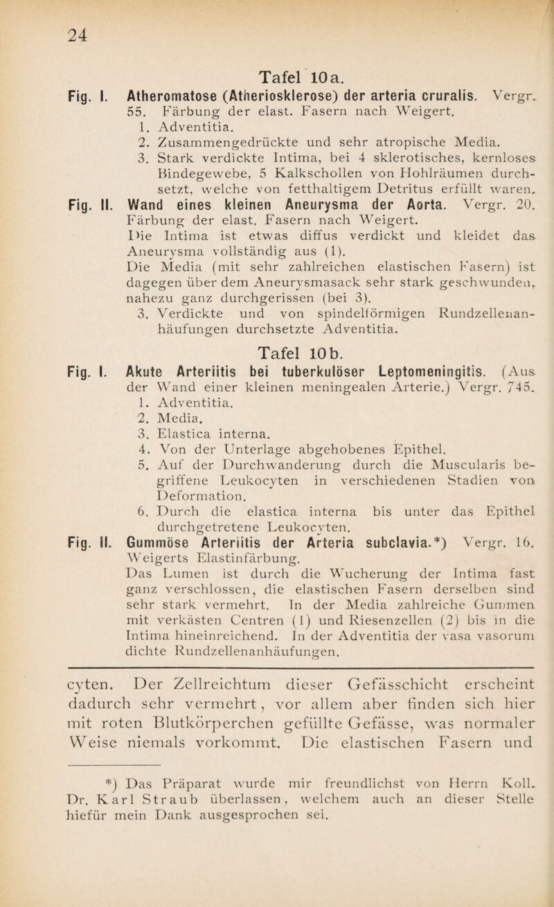Tafel 10 a. Fig. I. Atheromatose (Atheriosklerose) der arteria cruralis. Vergr. 55. Färbung der elast. Fasern nach Weigert. 1. Adventitia. 2. Zusammengedrückte und sehr atropische Media. 3. Stark verdickte Intima, bei 4 sklerotisches, kernloses- Bindegewebe, 5 Kalkschollen von Hohlräumen durch¬ setzt, welche von fetthaltigem Detritus erfüllt waren. Fig. II. Wand eines kleinen Aneurysma der Aorta. Vergr. 20. Färbung der elast. Fasern nach Weigert. Die Intima ist etwas diffus verdickt und kleidet das Aneurysma vollständig aus (1). Die Media (mit sehr zahlreichen elastischen Fasern) ist dagegen über dem Aneurysmasack sehr stark geschwunden,, nahezu ganz durchgerissen (bei 3). 3. Verdickte und von spindelförmigen Rundzellenan¬ häufungen durchsetzte Adventitia. Tafel 10 b. Fig. I. Akute Arteriitis bei tuberkulöser Leptomeningitis. (Aus der Wand einer kleinen meningealen Arterie.) Vergr. 745. 1. Adventitia. 2. Media. 3. Elastica interna. 4. Von der Unterlage abgehobenes Epithel. 5. Auf der Durchwanderung durch die Muscularis be¬ griffene Leukocyten in verschiedenen Stadien von Deformation. 6. Durch die elastica interna bis unter das Epithel durchgetretene Leukocyten. Fig. II. Gummöse Arteriitis der Arteria subclavia.* *) Vergr. 16. Weigerts Elastinfärbung. Das Lumen ist durch die Wucherung der Intima fast ganz verschlossen, die elastischen Fasern derselben sind sehr stark vermehrt. In der Media zahlreiche Gummen mit verkästen Centren (1) und Riesenzellen (2) bis in die Intima hineinreichend. In der Adventitia der vasa vasorum dichte Rundzellenanhäufungen. cyten. Der Zellreichtum dieser Gefässchicht erscheint dadurch sehr vermehrt, vor allem aber finden sich hier mit roten Blutkörperchen gefüllte Gefässe, was normaler Weise niemals vorkommt. Die elastischen Fasern und *) Das Präparat wurde mir freundlichst von Herrn Kolk Dr. Karl Straub überlassen, welchem auch an dieser Stelle hiefür mein Dank ausgesprochen sei.
