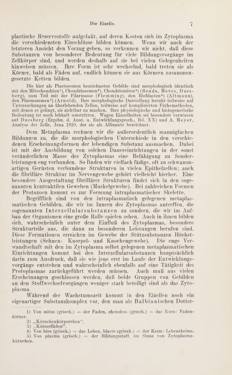 plastische Reservestoffe aufgefaßt, auf deren Kosten sich im Zytoplasma die verschiedensten Einschlüsse bilden können. Wenn wir auch der letzteren Ansicht den Vorzug geben, so verkennen wir nicht, daß diese Substanzen von besonderer Bedeutung für viele BildungsVorgänge im Zellkörper sind, und werden deshalb auf sie bei vielen Gelegenheiten hinweisen müssen. Ihre Form ist sehr wechselnd, bald treten sie als Körner, bald als Fäden auf, endlich können sie aus Körnern zusammen¬ gesetzte Ketten bilden. Die hier als Plastosomen bezeichneten Gebilde sind morphologisch identisch mit den Mitochondrien1), Chondriosomen2), Chondriomiten3) (Benda, Meves, Dues- berg), zum Teil mit der Filarmasse (Flemming), den Bioblasten4) (Altmann), den Plasmosomen5) (Arnold). Ihre morphologische Darstellung beruht teilweise auf Untersuchungen an überlebenden Zellen, teilweise auf komplizierten Färbemethoden, mit denen es gelingt, sie sichtbar zu machen. Ihre physiologische und histogenetische Bedeutung ist noch lebhaft umstritten. Wegen Einzelheiten sei besonders verwiesen auf Duesberg (Ergebn. d. Anat. u. Entwicklungsgesetz Bd. XX) und A. Meyer, Analyse der Zelle, Jena 1920, der sie als Allinante bezeichnet. Dem Metaplasma rechnen wir die außerordentlich mannigfachen Bildungen zu, die die morphologischen Unterschiede in den verschie¬ denen Erscheinungsformen der lebendigen Substanz ausmachen. Dabei ist mit der Ausbildung von solchen Dauereinrichtungen in der sonst veränderlichen Masse des Zytoplasmas eine Befähigung zu Sonder¬ leistungen eng verbunden. So finden wir vielfach fädige, oft zu schwamm¬ artigen Gerüsten verbundene Strukturen in vielen Epithelzellen; auch die fibrilläre Struktur im Nervengewebe gehört vielleicht hierher. Eine besondere Ausgestaltung fibrillärer Strukturen findet sich in den soge¬ nannten kontraktilen Geweben (Muskelgewebe). Bei zahlreichen Formen der Protozoen kommt es zur Formung intraplasmatischer Skelette. Begrifflich sind von den intraplasmatisch gelegenen metaplas- matischen Gebilden, die wir im Innern des Zytoplasmas antreffen, die sogenannten Int er zellular Substanzen zu sondern, die wir im Auf¬ bau der Organismen eine große Rolle spielen sehen. Auch in ihnen bilden sich, wahrscheinlich unter dem Einfluß des Zytoplasmas, besondere Strukturteile aus, die dann zu besonderen Leistungen berufen sind. Diese Formationen erreichen im Gewebe der Stützsubstanzen Höchst¬ leistungen (Sehnen- Knorpel- und Knochengewebe). Die enge Ver¬ wandtschaft mit den im Zytoplasma selbst gelegenen metaplasmatischen Einrichtungen kommt bei den Interzellularsubstanzen hauptsächlich darin zum Ausdruck, daß sie wie jene erst im Laufe der Entwicklungs¬ vorgänge entstehen und wahrscheinlich ebenfalls auf eine Tätigkeit des Protoplasmas zurückgeführt werden müssen. Auch muß aus vielen Erscheinungen geschlossen werden, daß beide Gruppen von Gebilden an den Stoffwechselvorgängen weniger stark beteiligt sind als das Zyto¬ plasma. Während der Wachstumszeit kommt in den Eizellen noch ein eigenartiger Substanzkomplex vor, den man als Baibianischen Dotter- 1) Von mitos (griech.) = der Faden, chondros (griech.) = das Korn: Faden¬ körner. 2) „Körnchenkörperchen“. 3) ,, Körnerfäden“. 4) Von bios (griech.) = das Leben, blaste (griech.) = der Keim: Lebenskeime. 5) Von plasma (griech.) = der Bildungsstoff, im Sinne von Zytoplasma¬ kör nchen.