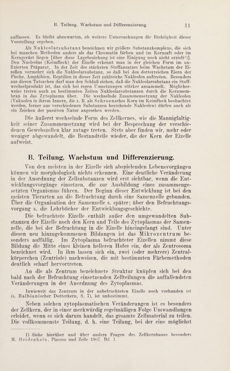 auffassen. Es bleibt abzuwarten, ob weitere Untersuchungen die Richtigkeit dieser Vorstellung ergeben. Als Nuldeolarsubstanz bezeichnen wir größere Substanzkomplexe, die sich bei manchen Methoden anders als das Chromatin färben und im Kernsaft oder im Kerngerüst liegen [über diese Lagebeziehung ist eine Einigung noch nicht erzielt1)]. Den Nucleolus (Keimfleck) der Eizelle erkennt man in der gleichen Form im un- fixierten Präparat. In der Zeit des stärksten Stoffansatzes beim Wachstum der Ei¬ zellen vermehrt sich die Nuldeolarsubstanz, so daß bei den dotterreichen Eiern der Fische, Amphibien, Reptilien in dieser Zeit zahlreiche Nukleolen auftreten. Besonders aus diesen Tatsachen darf man den Schluß ziehen, daß die Nukleolarsubstanz ein Stoff¬ wechselprodukt ist, das sich bei regen Umsetzungen stärker ansammelt. Möglicher¬ weise treten auch zu bestimmten Zeiten Nukleolarsubstanzen durch die Kernmem¬ bran in das Zytoplasma über. Die wechselnde Zusammensetzung der Nukleolen (Vakuolen in ihrem Innern, die z. B. als Schroensches Korn im Keimfleck beobachtet werden, ferner aus verschiedenen Substanzen bestehende Nukleolen) dürfen auch als ein Zeichen der passiven Natur angesehen werden. Die äußerst wechselnde Form des Zellkernes, wie die Mannigfaltig¬ keit seiner Zusammensetzung wird bei der Besprechung der verschie¬ denen Gewebszellen klar zutage treten. Stets aber finden wir, mehr oder weniger abgewandelt, die Bestandteile wieder, die der Kern der Eizelle auf weist. B. Teilung, Wachstum und Differenzierung. Von den meisten in der Eizelle sich abspielenden Lebensvorgängen können wir morphologisch nichts erkennen. Eine deutliche Veränderung in der Anordnung der Zellsubstanzen wird erst sichtbar, wenn die Ent¬ wicklungsvorgänge einsetzen, die zur Ausbildung eines zusammenge¬ setzten Organismus führen. Der Beginn dieser Entwicklung ist bei den meisten Tierarten an die Befruchtung durch eine Samenzelle gebunden. Über die Organisation der Samenzelle s. später; über den Befruchtungs¬ vorgang s. die Lehrbücher der Entwicklungsgeschichte. Die befruchtete Eizelle enthält außer den umgewandelten Sub¬ stanzen der Eizelle noch den Kern und Teile des Zytoplasmas der Samen¬ zelle, die bei der Befruchtung in die Eizelle hineingelangt sind. LTnter diesen neu hinzugekommenen Bildungen ist das Mikro Zentrum be¬ sonders auffällig. Im Zytoplasma befruchteter Eizellen nimmt diese Bildung die Mitte eines kleinen helleren Hofes ein, der als Zentrosoma bezeichnet wird. In ihm lassen sich ein, zwei (oder mehrere) Zentral¬ körperchen (Zentriole) nachweisen, die mit bestimmten Färbemethoden deutlich scharf hervortreten. An die als Zentrum bezeichnete Struktur knüpfen sich bei den bald nach der Befruchtung einsetzenden Zellteilungen die auffallendsten Veränderungen in der Anordnung des Zytoplasmas. Inwieweit das Zentrum in der unbefruchteten Eizelle noch vorhanden ist (s. Balbianischer Dotterkern, S. 7), ist unbestimmt. Neben solchen zytoplasmatischen Veränderungen ist es besonders der Zellkern, der in einer merkwürdig regelmäßigen Folge Umwandlungen erleidet, wenn es sich darum handelt, das gesamte Zellmaterial zu teilen. Die vollkommenste Teilung, d. h. eine Teilung, bei der eine möglichst 1) Siehe hierüber und über andere Fragen des Zellkerubaues besonders M. Heidenhain, Plasma und Zelle 1907, Bd. T.