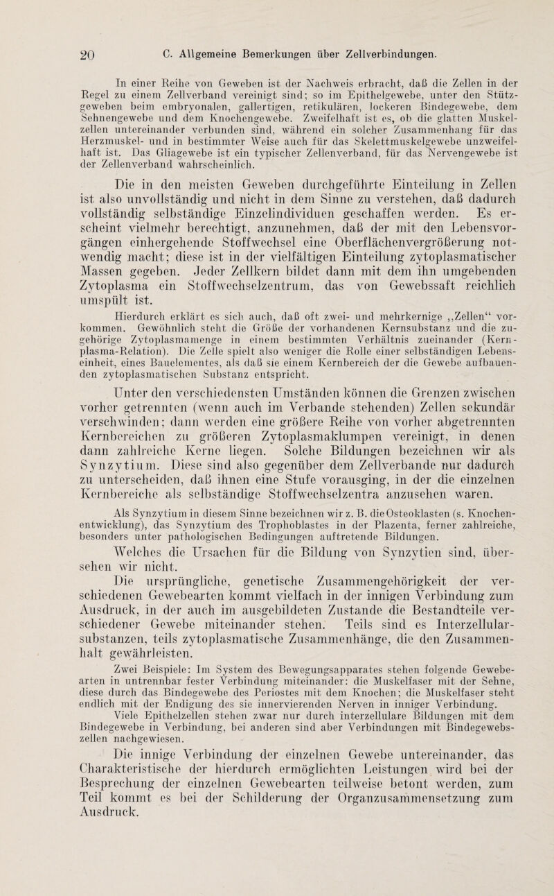 In einer Reihe von Geweben ist der Nachweis erbracht, daß die Zellen in der Regel zu einem Zellverband vereinigt sind; so im Epithelgewebe, unter den Stütz¬ geweben beim embryonalen, gallertigen, retikulären, lockeren Bindegewebe, dem Sehnengewebe und dem Knochengewebe. Zweifelhaft ist es, ob die glatten Muskel¬ zellen untereinander verbunden sind, während ein solcher Zusammenhang für das Herzmuskel- und in bestimmter Weise auch für das Skelettmuskelgewebe unzweifel¬ haft ist. Das Gliagewebe ist ein typischer Zellenverband, für das Nervengewebe ist der Zellenverband wahrscheinlich. Die in den meisten Geweben durchgeführte Einteilung in Zellen ist also unvollständig und nicht in dem Sinne zu verstehen, daß dadurch vollständig selbständige Einzelindividuen geschaffen werden. Es er¬ scheint vielmehr berechtigt, anzunehmen, daß der mit den Lebensvor¬ gängen einhergehende Stoffwechsel eine Oberflächenvergrößerung not¬ wendig macht; diese ist in der vielfältigen Einteilung zytoplasmatischer Massen gegeben. Jeder Zellkern bildet dann mit dem ihn umgebenden Zytoplasma ein Stoffwechselzentrum, das von Gewebssaft reichlich umspült ist. Hierdurch erklärt es sich auch, daß oft zwei- und mehrkernige „Zellen“ Vor¬ kommen. Gewöhnlich steht die Größe der vorhandenen Kernsubstanz und die zu¬ gehörige Zytoplasmamenge in einem bestimmten Verhältnis zueinander (Kern- plasma-Relation). Die Zelle spielt also weniger die Rolle einer selbständigen Lebens¬ einheit, eines Bauelementes, als daß sie einem Kernbereich der die Gewebe aufbauen- den zytoplasmatischen Substanz entspricht. Unter den verschiedensten Umständen können die Grenzen zwischen vorher getrennten (wenn auch im Verbände stehenden) Zellen sekundär verschwinden; dann werden eine größere Reihe von vorher abgetrennten Kernbereichen zu größeren Zytoplasmaklumpen vereinigt, in denen dann zahlreiche Kerne liegen. Solche Bildungen bezeichnen wir als Synzytium. Diese sind also gegenüber dem Zellverbande nur dadurch zu unterscheiden, daß ihnen eine Stufe vorausging, in der die einzelnen Kernbereiche als selbständige Stoffwechselzentra anzusehen waren. Als Synzytium in diesem Sinne bezeichnen wir z. B. die Osteoklasten (s. Knochen¬ entwicklung), das Synzytium des Trophoblastes in der Plazenta, ferner zahlreiche, besonders unter pathologischen Bedingungen auftretende Bildungen. Welches die Ursachen für die Bildung von Synzytien sind, über¬ sehen wir nicht. Die ursprüngliche, genetische Zusammengehörigkeit der ver¬ schiedenen Gewebearten kommt vielfach in der innigen Verbindung zum Ausdruck, in der auch im ausgebildeten Zustande die Bestandteile ver¬ schiedener Gewebe miteinander stehen. Teils sind es Interzellular¬ substanzen, teils zytoplasmatische Zusammenhänge, die den Zusammen¬ halt gewährleisten. Zwei Beispiele: Im System des Bewegungsapparates stehen folgende Gewebe¬ arten in untrennbar fester Verbindung miteinander: die Muskelfaser mit der Sehne, diese durch das Bindegewebe des Periostes mit dem Knochen; die Muskelfaser steht endlich mit der Endigung des sie innervierenden Nerven in inniger Verbindung. Viele Epithelzellen stehen zwar nur durch interzellulare Bildungen mit dem Bindegewebe in Verbindung, bei anderen sind aber Verbindungen mit Bindegewebs¬ zellen nachgewiesen. Die innige Verbindung der einzelnen Gewebe untereinander, das Charakteristische der hierdurch ermöglichten Leistungen wird bei der Besprechung der einzelnen Gewebearten teilweise betont werden, zum Teil kommt es bei der Schilderung der Organzusammensetzung zum Ausdruck.