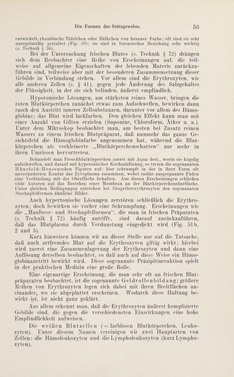 entwickelt-, rhombische Täfelchen oder Bälkchen von brauner Farbe; oft sind sie sehr unregelmäßig gestaltet (Fig. 59); sie sind in forensischer Beziehung sehr wichtig (s. Technik § 76). Bei der Untersuchung frischen Blutes (s. Technik § 72) drängen sich dem Beobachter eine Reihe von Erscheinungen auf, die teil¬ weise auf allgemeine Eigenschaften der lebenden Materie zurückzu¬ führen sind, teilweise aber mit der besonderen Zusammensetzung dieser Gebilde in Verbindung stehen. Vor allem sind die Erythrozyten, wie alle anderen Zellen (s. § 41), gegen jede Änderung des Salzgehaltes der Flüssigkeit, in der sie sich befinden, äußerst empfindlich. Hypotonische Lösungen, am stärksten reines Wasser, bringen die roten Blutkörperchen zunächst etwas zum Aufschwellen, bewirken dann rasch den Austritt innerer Zellsubstanzen, darunter vor allem des Hämo¬ globins; das Blut wird lackfarben. Den gleichen Effekt kann man mit einer Anzahl von Giften erzielen (Saponine, Chloroform, Äther u. a.). Unter dem Mikroskop beobachtet man, am besten bei Zusatz reinen Wassers zu einem frischen Blutpräparat, daß nunmehr das ganze Ge¬ sichtsfeld die Hämoglobinfarbe angenommen hat, während die Blut¬ körperchen als verkleinerte ,,Blutkörperchenschatten“ nur mehr in ihren Umrissen hervortreten. Behandelt man Froschblutkörperchen zuerst mit Aqua dest., worin sie kugelig aufschwellen, und darauf mit hypotonischer Kochsalzlösung, so treten die sogenannten Flünefeld-Hensenschen Figuren auf; hier schrumpft in der in ihrer Form oft unveränderten Kontur das Zytoplasma zusammen, wobei radiär ausgespannte Fäden eine Verbindung mit der Oberfläche behalten. Aus diesen Erscheinungen schließen viele Autoren auf das Bestehen einer Membran an der Blutkörperchenoberfläche. Unter gleichen Bedingungen entstehen bei Säugetiererythrozyten den sogenannten Stechapfelformen ähnliche Bilder. Auch hypertonische Lösungen zerstören schließlich die Erythro¬ zyten; doch bewirken sie vorher eine Schrumpfung. Erscheinungen wie die ,,Maulbeer- und Stechapfelformen“, die man in frischen Präparaten (s. Technik § 72) häufig antrifft, sind darauf zurückzuführen, daß das Blutplasma durch Verdunstung eingedickt wird (Fig. 51b, 2 und 3). Kurz hinweisen können wir an dieser Stelle nur auf die Tatsache, daß auch artfremdes Blut auf die Erythrozyten giftig wirkt; hierbei wird zuerst eine Zusammenlagerung der Erythrozyten und dann eine Auflösung derselben beobachtet, so daß auch auf diese Weise ein Hämo¬ globinaustritt bewirkt wird. Diese sogenannte Präzipitinreaktion spielt in der praktischen Medizin eine große Rolle. Eine eigenartige Erscheinung, die man sehr oft an frischen Blut- präparäten beobachtet, ist die sogenannte Geldrollenbildung; größere Reihen von Erythrozyten legen sich dabei mit ihren Breitflächen an¬ einander^ wo sie abgeplattet erscheinen. Wodurch diese Haftung be¬ wirkt ist, ist nicht ganz geklärt. Aus allem erkennt man, daß die Erythrozyten äußerst komplizierte Gebilde sind, die gegen die verschiedensten Einwirkungen eine hohe Empfindlichkeit aufweisen. Die weißen Blutzellen (= farblosen Blutkörperchen, Leuko¬ zyten). Unter diesem Namen vereinigen wir zwei Hauptarten von Zellen: die Hämoleukozyten und die Lympholeukozyten (kurz Lympho¬ zyten).