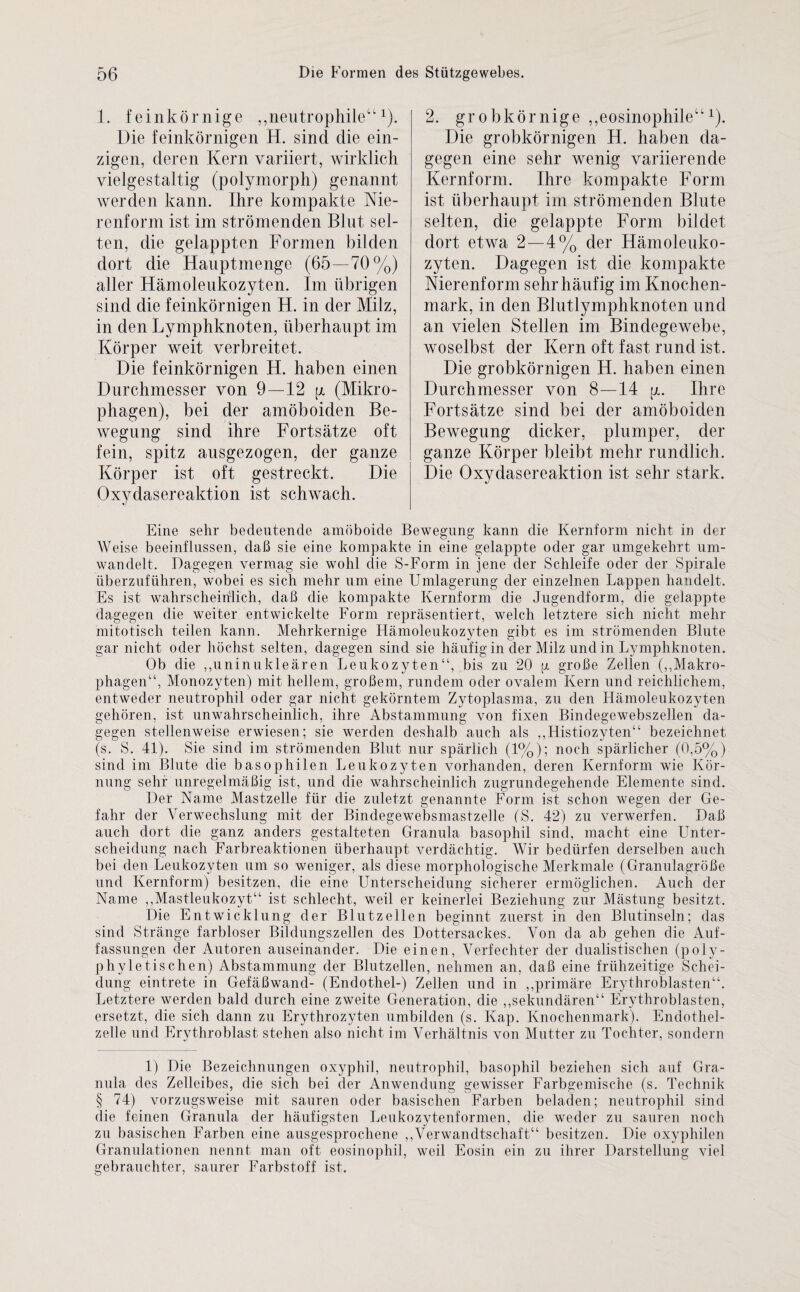 1. feinkörnige ,,neutrophile“ 1). Die feinkörnigen H. sind die ein¬ zigen, deren Kern variiert, wirklich vielgestaltig (polymorph) genannt werden kann. Ihre kompakte Nie- renform ist im strömenden Blut sel¬ ten, die gelappten Formen bilden dort die Hauptmenge (65—70%) aller Hämoleukozyten. Im übrigen sind die feinkörnigen H. in der Milz, in den Lymphknoten, überhaupt im Körper weit verbreitet. Die feinkörnigen H. haben einen Durchmesser von 9—12 p. (Mikro¬ phagen), bei der amöboiden Be¬ wegung sind ihre Fortsätze oft fein, spitz ausgezogen, der ganze Körper ist oft gestreckt. Die Oxydasereaktion ist schwach. 2. grobkörnige „eosinophile“1). Die grobkörnigen H. haben da¬ gegen eine sehr wenig variierende Kernform. Ihre kompakte Form ist überhaupt im strömenden Blute selten, die gelappte Form bildet dort etwa 2—4% der Hämoleuko¬ zyten. Dagegen ist die kompakte Nierenform sehr häufig im Knochen¬ mark, in den Blutlymphknoten und an vielen Stellen im Bindegewebe, woselbst der Kern oft fast rund ist. Die grobkörnigen H. haben einen Durchmesser von 8—14 p. Ihre Fortsätze sind bei der amöboiden Bewegung dicker, plumper, der ganze Körper bleibt mehr rundlich. Die Oxydasereaktion ist sehr stark. Eine sehr bedeutende amöboide Bewegung kann die Kernform nicht in der Weise beeinflussen, daß sie eine kompakte in eine gelappte oder gar umgekehrt um¬ wandelt. Dagegen vermag sie wohl die S-Form in jene der Schleife oder der Spirale überzuführen, wobei es sich mehr um eine Umlagerung der einzelnen Lappen handelt. Es ist wahrscheinlich, daß die kompakte Kernform die Jugendform, die gelappte dagegen die weiter entwickelte Form repräsentiert, welch letztere sich nicht mehr mitotisch teilen kann. Mehrkernige Hämoleukozyten gibt es im strömenden Blute gar nicht oder höchst selten, dagegen sind sie häufig in der Milz und in Lymphknoten. Ob die „uninukleären Leukozyten“, bis zu 20 p große Zellen („Makro¬ phagen“, Monozyten) mit hellem, großem, rundem oder ovalem Kern und reichlichem, entweder neutrophil oder gar nicht gekörntem Zytoplasma, zu den Hämoleukozyten gehören, ist unwahrscheinlich, ihre Abstammung von fixen Bindegewebszellen da¬ gegen stellenweise erwiesen; sie werden deshalb auch als „Histiozyten“ bezeichnet (s. S. 41). Sie sind im strömenden Blut nur spärlich (1%); noch spärlicher (0,5%) sind im Blute die basophilen Leukozyten vorhanden, deren Kernform wie Kör¬ nung sehr unregelmäßig ist, und die wahrscheinlich zugrundegehende Elemente sind. Der Name Mastzelle für die zuletzt genannte Form ist schon wegen der Ge¬ fahr der Verwechslung mit der Bindegewebsmastzelle (S. 42) zu verwerfen. Daß auch dort die ganz anders gestalteten Granula basophil sind, macht eine Unter¬ scheidung nach Farbreaktionen überhaupt verdächtig. Wir bedürfen derselben auch bei den Leukozyten um so weniger, als diese morphologische Merkmale (Granulagröße und Kernform) besitzen, die eine Unterscheidung sicherer ermöglichen. Auch der Name „Mastleukozyt“ ist schlecht, weil er keinerlei Beziehung zur Mästung besitzt. Die Entwicklung der Blutzellen beginnt zuerst in den Blutinseln; das sind Stränge farbloser Bildungszellen des Dottersackes. Von da ab gehen die Auf¬ fassungen der Autoren auseinander. Die einen, Verfechter der dualistischen (poly- phyletischen) Abstammung der Blutzellen, nehmen an, daß eine frühzeitige Schei¬ dung eintrete in Gefäßwand- (Endothel-) Zellen und in „primäre Erythroblasten“. Letztere werden bald durch eine zweite Generation, die „sekundären“ Erythroblasten, ersetzt, die sich dann zu Erythrozyten umbilden (s. Kap. Knochenmark). Endothel¬ zelle und Erythroblast stehen also nicht im Verhältnis von Mutter zu Tochter, sondern 1) Die Bezeichnungen oxyphil, neutrophil, basophil beziehen sich auf Gra¬ nula des Zelleibes, die sich bei der Anwendung gewisser Farbgemische (s. Technik § 74) vorzugsweise mit sauren oder basischen Farben beladen; neutrophil sind die feinen Granula der häufigsten Leukozytenformen, die weder zu sauren noch zu basischen Farben eine ausgesprochene „Verwandtschaft“ besitzen. Die oxyphilen Granulationen nennt man oft eosinophil, weil Eosin ein zu ihrer Darstellung viel gebrauchter, saurer Farbstoff ist.