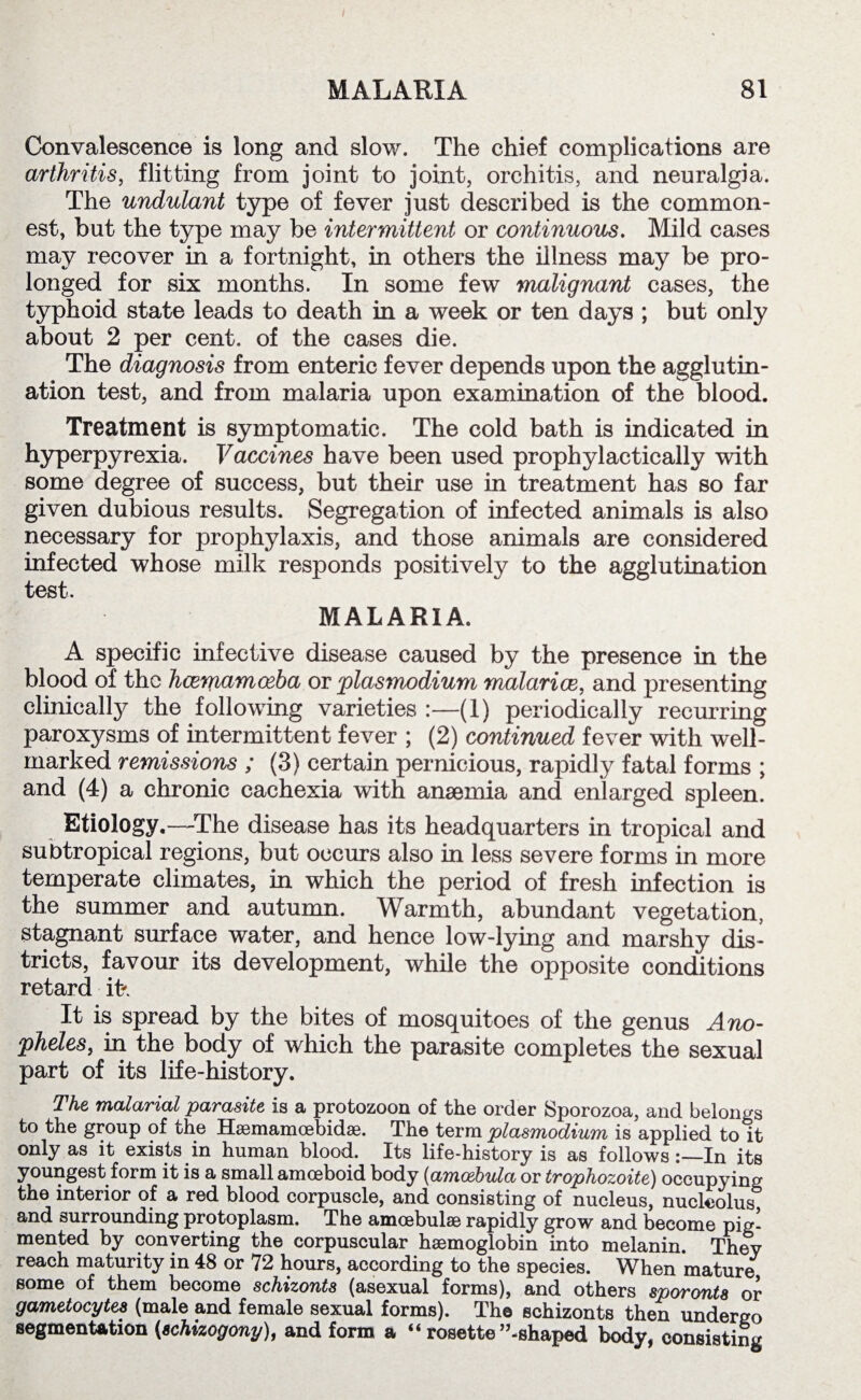 Convalescence is long and slow. The chief complications are arthritis, flitting from joint to joint, orchitis, and neuralgia. The undulant type of fever just described is the common¬ est, but the type may be intermittent or continuous. Mild cases may recover in a fortnight, in others the illness may be pro¬ longed for six months. In some few malignant cases, the typhoid state leads to death in a week or ten days ; but only about 2 per cent, of the cases die. The diagnosis from enteric fever depends upon the agglutin¬ ation test, and from malaria upon examination of the blood. Treatment is symptomatic. The cold bath is indicated in hyperpyrexia. Vaccines have been used prophylactically with some degree of success, but their use in treatment has so far given dubious results. Segregation of infected animals is also necessary for prophylaxis, and those animals are considered infected whose milk responds positively to the agglutination test. MALARIA. A specific infective disease caused by the presence in the blood of the hcemamceba or plasmodium malarice, and presenting clinically the following varieties :—(1) periodically recurring paroxysms of intermittent fever ; (2) continued fever with well- marked remissions ; (3) certain pernicious, rapidly fatal forms ; and (4) a chronic cachexia with anaemia and enlarged spleen. Etiology.—The disease has its headquarters in tropical and subtropical regions, but occurs also in less severe forms in more temperate climates, in which the period of fresh infection is the summer and autumn. Warmth, abundant vegetation, stagnant surface water, and hence low-lying and marshy dis¬ tricts, favour its development, while the opposite conditions retard it* It is spread by the bites of mosquitoes of the genus Ano¬ pheles, in the body of which the parasite completes the sexual part of its life-history. The malarial parasite is a protozoon of the order Sporozoa, and belongs to the group of the Hsemamoebidae. The term plasmodium is applied to it only as it exists in human blood. Its life-history is as followsIn its youngest form it is a small amoeboid body (amcebula or trophozoite) occupying the interior of a red blood corpuscle, and consisting of nucleus, nucleolus and surrounding protoplasm. The amcebulae rapidly grow and become pig¬ mented by converting the corpuscular haemoglobin into melanin. They reach maturity in 48 or 72 hours, according to the species. When mature some of them become schizonts (asexual forms), and others sporonta or gametocytea (male and female sexual forms). The schizonts then undergo segmentation (,schizogony), and form a “ rosette’’-shaped body, consisting
