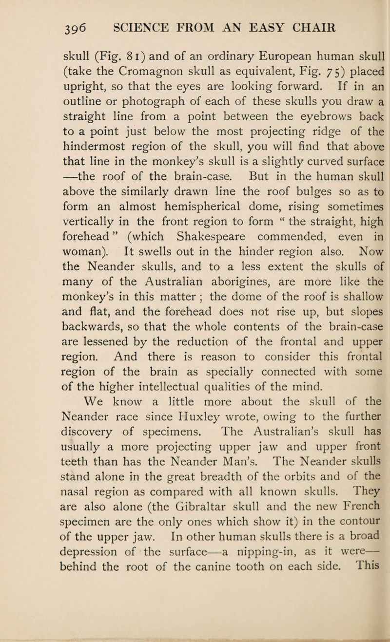 skull (Fig. 81) and of an ordinary European human skull (take the Cromagnon skull as equivalent, Fig. 75) placed upright, so that the eyes are looking forward. If in an outline or photograph of each of these skulls you draw a straight line from a point between the eyebrows back to a point just below the most projecting ridge of the hindermost region of the skull, you will find that above that line in the monkey’s skull is a slightly curved surface —the roof of the brain-case. But in the human skull above the similarly drawn line the roof bulges so as to form an almost hemispherical dome, rising sometimes vertically in the front region to form “ the straight, high forehead ” (which Shakespeare commended, even in woman). It swells out in the hinder region also. Now the Neander skulls, and to a less extent the skulls of many of the Australian aborigines, are more like the monkey’s in this matter ; the dome of the roof is shallow and flat, and the forehead does not rise up, but slopes backwards, so that the whole contents of the brain-case are lessened by the reduction of the frontal and upper region. And there is reason to consider this frontal region of the brain as specially connected with some of the higher intellectual qualities of the mind. We know a little more about the skull of the Neander race since Huxley wrote, owing to the further discovery of specimens. The Australian’s skull has usually a more projecting upper jaw and upper front teeth than has the Neander Man’s. The Neander skulls stand alone in the great breadth of the orbits and of the nasal region as compared with all known skulls. They are also alone (the Gibraltar skull and the new French specimen are the only ones which show it) in the contour of the upper jaw. In other human skulls there is a broad depression of the surface—a nipping-in, as it were— behind the root of the canine tooth on each side. This