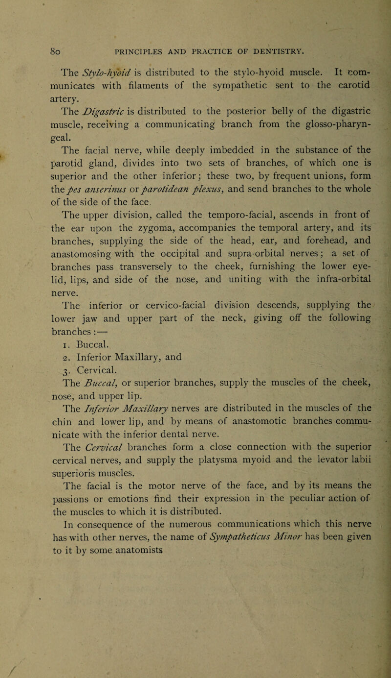 The Stylo-hyoid is distributed to the stylo-hyoid muscle. It com¬ municates with filaments of the sympathetic sent to the carotid artery. The Digastric is distributed to the posterior belly of the digastric muscle, receiving a communicating branch from the glosso-pharyn- geal. The facial nerve, while deeply imbedded in the substance of the parotid gland, divides into two sets of branches, of which one is superior and the other inferior; these two, by frequent unions, form thq pes anserinus orparotidean plexus, and send branches to the whole of the side of the face. The upper division, called the temporo-facial, ascends in front of the ear upon the zygoma, accompanies the temporal artery, and its branches, supplying the side of the head, ear, and forehead, and anastomosing with the occipital and supra-orbital nerves; a set of branches pass transversely to the cheek, furnishing the lower eye¬ lid, lips, and side of the nose, and uniting with the infra-orbital nerve. The inferior or cervico-facial division descends, supplying the lower jaw and upper part of the neck, giving off the following branches : — 1. Buccal. 2. Inferior Maxillary, and 3. Cervical. The Buccal, or superior branches, supply the muscles of the cheek, nose, and upper lip. The Inferior Maxillary nerves are distributed in the muscles of the chin and lower lip, and by means of anastomotic branches commu¬ nicate with the inferior dental nerve. The Cervical branches form a close connection with the superior cervical nerves, and supply the platysma myoid and the levator labii superioris muscles. The facial is the motor nerve of the face, and by its means the passions or emotions find their expression in the peculiar action of the muscles to which it is distributed. In consequence of the numerous communications which this nerve has with other nerves, the name of Sympatheticus Minor has been given to it by some anatomists