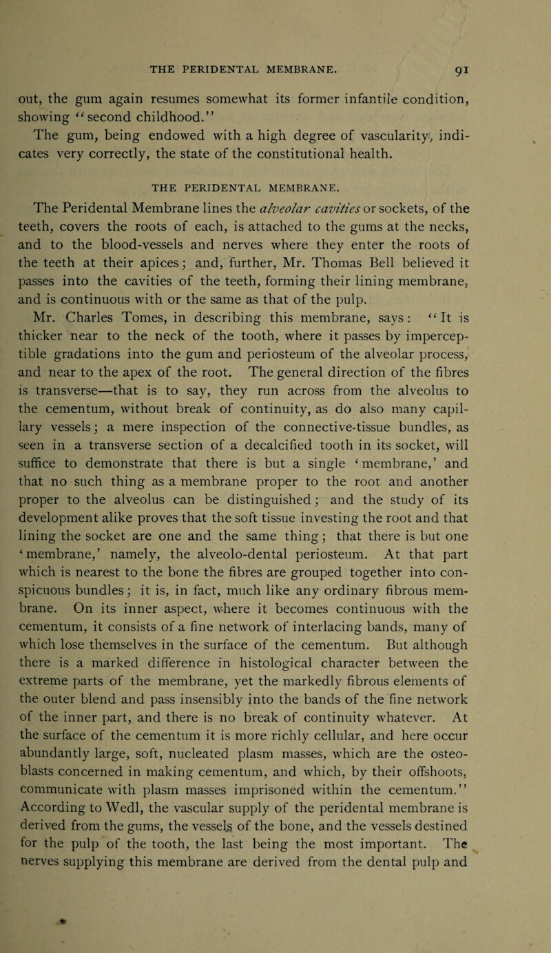 out, the gum again resumes somewhat its former infantile condition, showing “ second childhood.” The gum, being endowed with a high degree of vascularity, indi¬ cates very correctly, the state of the constitutional health. THE PERIDENTAL MEMBRANE. The Peridental Membrane lines the alveolar cavities or sockets, of the teeth, covers the roots of each, is attached to the gums at the necks, and to the blood-vessels and nerves where they enter the roots of the teeth at their apices; and, further, Mr. Thomas Bell believed it passes into the cavities of the teeth, forming their lining membrane, and is continuous with or the same as that of the pulp. Mr. Charles Tomes, in describing this membrane, says: “It is thicker near to the neck of the tooth, where it passes by impercep¬ tible gradations into the gum and periosteum of the alveolar process, and near to the apex of the root. The general direction of the fibres is transverse—that is to say, they run across from the alveolus to the cementum, without break of continuity, as do also many capil¬ lary vessels; a mere inspection of the connective-tissue bundles, as seen in a transverse section of a decalcified tooth in its socket, will suffice to demonstrate that there is but a single ‘ membrane,’ and that no such thing as a membrane proper to the root and another proper to the alveolus can be distinguished; and the study of its development alike proves that the soft tissue investing the root and that lining the socket are one and the same thing; that there is but one ‘membrane,’ namely, the alveolo-dental periosteum. At that part which is nearest to the bone the fibres are grouped together into con¬ spicuous bundles; it is, in fact, much like any ordinary fibrous mem¬ brane. On its inner aspect, where it becomes continuous with the cementum, it consists of a fine network of interlacing bands, many of which lose themselves in the surface of the cementum. But although there is a marked difference in histological character between the extreme parts of the membrane, yet the markedly fibrous elements of the outer blend and pass insensibly into the bands of the fine network of the inner part, and there is no break of continuity whatever. At the surface of the cementum it is more richly cellular, and here occur abundantly large, soft, nucleated plasm masses, which are the osteo¬ blasts concerned in making cementum, and which, by their offshoots, communicate with plasm masses imprisoned within the cementum.” According to Wedl, the vascular supply of the peridental membrane is derived from the gums, the vessels of the bone, and the vessels destined for the pulp of the tooth, the last being the most important. The nerves supplying this membrane are derived from the dental pulp and