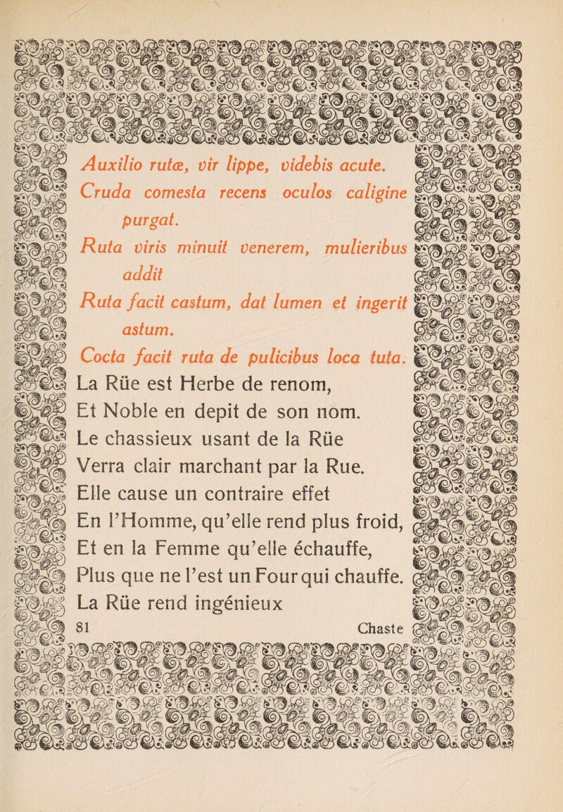 ***- y/spjj o& sm Auxilio rut<£, vir lippe, videbis acute. Cruda comesta recens oculos caligine pur gat. Ruta viris minuit venerem, mulieribus addit Ruta facit castum, dat lumen et ingerit astum. Coda facit ruta de pulicibus loca tuta. La Rue est Herbe de renom, Et Noble en depit de son nom. Le chassieux usant de la Rile Verra clair marchant par la Rue. Elle cause un contraire effet En FHomme, qu’elie rend plus froid, Et en la Femme qu’elie echauffe, Plus que ne l’est un Fourqui chauffe. La Rue rend ingenieux