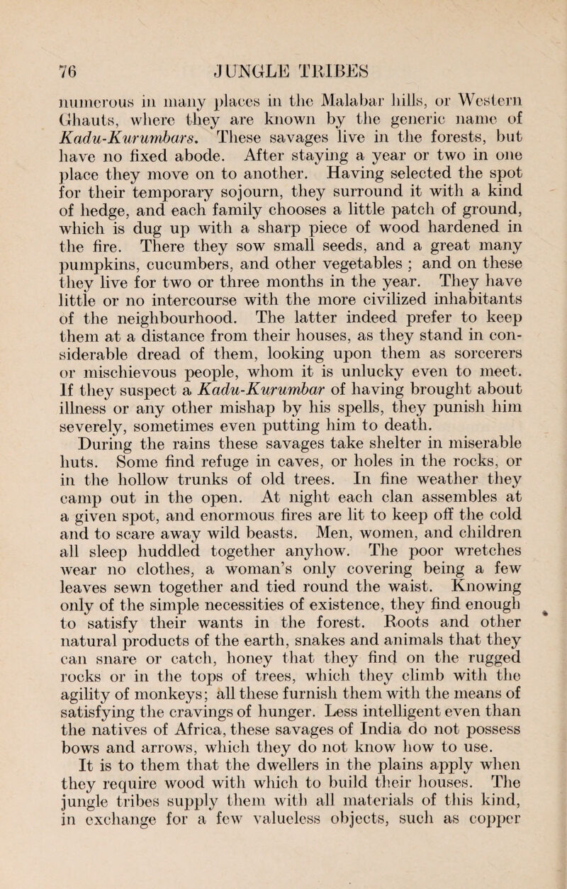numerous in many places in tlie Malabar hills, or Western Ghauts, where they are known by the generic name of Kadu-Kururnbars. These savages live in the forests, but have no fixed abode. After staying a year or two in one place they move on to another. Having selected the spot for their temporary sojourn, they surround it with a kind of hedge, and each family chooses a little patch of ground, which is dug up with a sharp piece of wood hardened in the fire. There they sow small seeds, and a great many pumpkins, cucumbers, and other vegetables ; and on these they live for two or three months in the year. They have little or no intercourse with the more civilized inhabitants of the neighbourhood. The latter indeed prefer to keep them at a distance from their houses, as they stand in con¬ siderable dread of them, looking upon them as sorcerers or mischievous people, whom it is unlucky even to meet. If they suspect a Kadu-Kurumbar of having brought about illness or any other mishap by his spells, they punish him severely, sometimes even putting him to death. During the rains these savages take shelter in miserable huts. Some find refuge in caves, or holes in the rocks, or in the hollow trunks of old trees. In fine weather they camp out in the open. At night each clan assembles at a given spot, and enormous fires are lit to keep off the cold and to scare away wild beasts. Men, women, and children all sleep huddled together anyhow. The poor wretches wear no clothes, a woman’s only covering being a few leaves sewn together and tied round the waist. Knowing only of the simple necessities of existence, they find enough to satisfy their wants in the forest. Roots and other natural products of the earth, snakes and animals that they can snare or catch, honey that they find on the rugged rocks or in the tops of trees, which they climb with the agility of monkeys ; all these furnish them with the means of satisfying the cravings of hunger. Less intelligent even than the natives of Africa, these savages of India do not possess bows and arrows, which they do not know how to use. It is to them that the dwellers in the plains apply when they require wood with which to build their houses. The jungle tribes supply them with all materials of this kind, in exchange for a few valueless objects, such as copper