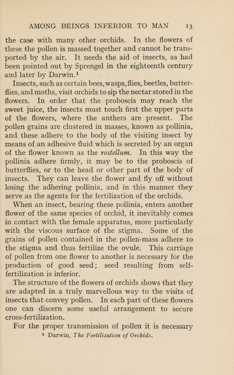 the case with many other orchids. In the flowers of these the pollen is massed together and cannot be trans¬ ported by the air. It needs the aid of insects, as had been pointed out by Sprengel in the eighteenth century and later by Darwin.1 Insects, such as certain bees, wasps, flies, beetles, butter¬ flies, and moths, visit orchids to sip the nectar stored in the flowers. In order that the proboscis may reach the sweet juice, the insects must touch first the upper parts of the flowers, where the anthers are present. The pollen grains are clustered in masses, known as pollinia, and these adhere to the body of the visiting insect by means of an adhesive fluid which is secreted by an organ of the flower known as the rostellum. In this way the pollinia adhere firmly, it may be to the proboscis of butterflies, or to the head or other part of the body of insects. They can leave the flower and fly off without losing the adhering pollinia, and in this manner they serve as the agents for the fertilization of the orchids. When an insect, bearing these pollinia, enters another flower of the same species of orchid, it inevitably comes in contact with the female apparatus, more particularly with the viscous surface of the stigma. Some of the grains of pollen contained in the pollen-mass adhere to the stigma and thus fertilize the ovule. This carriage of pollen from one flower to another is necessary for the production of good seed ; seed resulting from self- fertilization is inferior. The structure of the flowers of orchids shows that they are adapted in a truly marvellous way to the visits of insects that convey pollen. In each part of these flowers one can discern some useful arrangement to secure cross-fertilization. For the proper transmission of pollen it is necessary 1 Darwin, The Fertilization of Orchids.