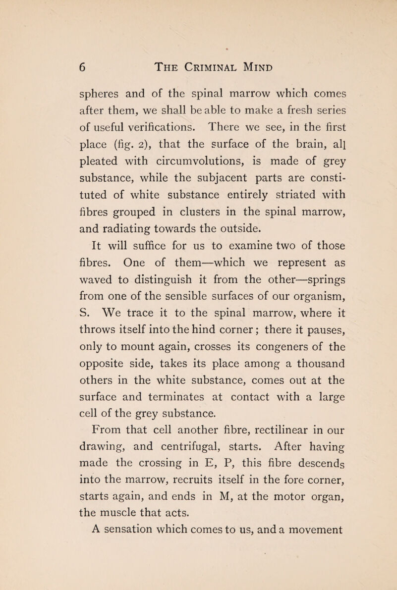 spheres and of the spinal marrow which comes after them, we shall be able to make a fresh series of useful verifications. There we see, in the first place (fig. 2), that the surface of the brain, all pleated with circumvolutions, is made of grey substance, while the subjacent parts are consti¬ tuted of white substance entirely striated with fibres grouped in clusters in the spinal marrow, and radiating towards the outside. It will suffice for us to examine two of those fibres. One of them—which we represent as waved to distinguish it from the other—springs from one of the sensible surfaces of our organism, S. We trace it to the spinal marrow, where it throws itself into the hind corner ; there it pauses, only to mount again, crosses its congeners of the opposite side, takes its place among a thousand others in the white substance, comes out at the surface and terminates at contact with a large cell of the grey substance. From that cell another fibre, rectilinear in our drawing, and centrifugal, starts. After having made the crossing in E, P, this fibre descends into the marrow, recruits itself in the fore corner, starts again, and ends in M, at the motor organ, the muscle that acts. A sensation which comes to us, and a movement