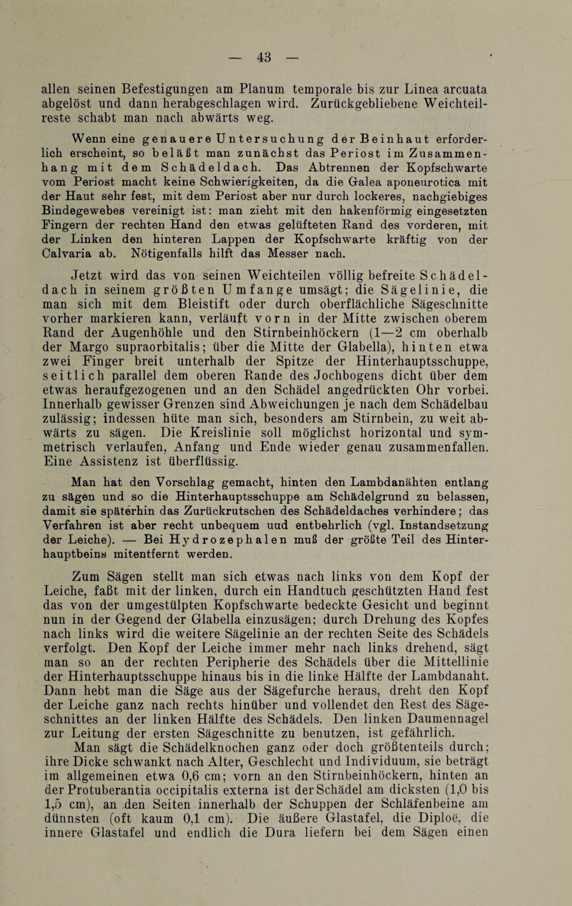 allen seinen Befestigungen am Planum temporale bis zur Linea arcuata abgelöst und dann lierabgesclilagen wird. Zurückgebliebene Weichteil¬ reste schabt man nach abwärts weg. Wenn eine genauere Untersuchung der Beinhaut erforder¬ lich erscheint, so beläßt man zunächst das Periost im Zusammen¬ hang mit dem Schädeldach. Das Abtrennen der Kopfschwarte vom Periost macht keine Schwierigkeiten, da die Gralea aponeurotica mit der Haut sehr fest, mit dem Periost aber nur durch lockeres, nachgiebiges Bindegewebes vereinigt ist: man zieht mit den hakenförmig eingesetzten Fingern der rechten Hand den etwas gelüfteten Band des vorderen, mit der Linken den hinteren Lappen der Kopfschwarte kräftig von der Calvaria ab. Nötigenfalls hilft das Messer nach. Jetzt wird das von seinen Weichteilen völlig befreite Schädel- dacli in seinem größten Umfange umsägt; die Sägelinie, die man sich mit dem Bleistift oder durch oberflächliche Sägeschnitte vorher markieren kann, verläuft vorn in der Mitte zwischen oberem Band der Augenhöhle und den Stirnbeinhöckern (1—2 cm oberhalb der Margo supraorbitalis; über die Mitte der Glabella), hinten etwa zwei Finger breit unterhalb der Spitze der Hinterhauptsschuppe, seitlich parallel dem oberen Rande des Jochbogens dicht über dem etwas heraufgezogenen und an den Schädel angedrückten Ohr vorbei. Innerhalb gewisser Grenzen sind Abweichungen je nach dem Schädelbau zulässig; indessen hüte man sich, besonders am Stirnbein, zu weit ab¬ wärts zu sägen. Die Kreislinie soll möglichst horizontal und sym¬ metrisch verlaufen, Anfang und Ende wieder genau zusammenfallen. Eine Assistenz ist überflüssig. Man hat den Vorschlag gemacht, hinten den Lambdanähten entlang zu sägen und so die Hinterhauptsschuppe am Schädelgrund zu belassen, damit sie späterhin das Zurückrutschen des Schädeldaches verhindere; das Verfahren ist aber recht unbequem und entbehrlich (vgl. Instandsetzung der Leiche). — Bei Hydrozephalen muß der größte Teil des Hinter¬ hauptbeins mitentfernt werden. Zum Sägen stellt man sich etwas nach links von dem Kopf der Leiche, faßt mit der linken, durch ein Handtuch geschützten Hand fest das von der umgestülpten Kopfschwarte bedeckte Gesicht und beginnt nun in der Gegend der Glabella einzusägen; durch Drehung des Kopfes nach links wird die weitere Sägelinie an der rechten Seite des Schädels verfolgt. Den Kopf der Leiche immer mehr nach links drehend, sägt man so an der rechten Peripherie des Schädels über die Mittellinie der Hinterhauptsschuppe hinaus bis in die linke Hälfte der Lambdanaht. Dann hebt man die Säge aus der Sägefurche heraus, dreht den Kopf der Leiche ganz nach rechts hinüber und vollendet den Rest des Säge¬ schnittes an der linken Hälfte des Schädels. Den linken Daumennagel zur Leitung der ersten Sägeschnitte zu benutzen, ist gefährlich. Man sägt die Schädelknochen ganz oder doch größtenteils durch; ihre Dicke schwankt nach Alter, Geschlecht und Individuum, sie beträgt im allgemeinen etwa 0,6 cm; vorn an den Stirnbeinhöckern, hinten an der Protuberantia occipitalis externa ist der Schädel am dicksten (1,0 bis 1,5 cm), an den Seiten innerhalb der Schuppen der Schläfenbeine am dünnsten (oft kaum 0,1 cm). Die äußere Glastafel, die Diploe, die innere Glastafel und endlich die Dura liefern bei dem Sägen einen